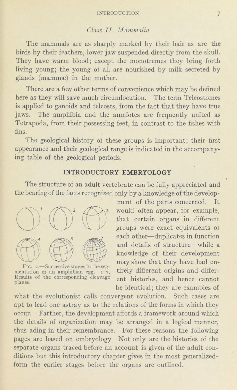 Class II. Mammalia The mammals are as sharply marked by their hair as are the birds by their feathers, lower jaw suspended directly from the skull. They have warm blood; except the monotremes they bring forth living young; the young of all are nourished by milk secreted by glands (mammae) in the mother. There are a few other terms of convenience which may be defined here as they will save much circumlocution. The term Teleostomes is applied to ganoids and teleosts, from the fact that they have true jaws. The amphibia and the amniotes are frequently united as Tetrapoda, from their possessing feet, in contrast to the fishes with fins. The geological history of these groups is important; their first appearance and their geological range is indicated in the accompany- ing table of the geological periods. INTRODUCTORY EMBRYOLOGY The structure of an adult vertebrate can be fully appreciated and the bearing of the facts recognized only by a knowledge of the develop- ment of the parts concerned. It would often appear, for example, that certain organs in different groups were exact equivalents of each other—duplicates in function and details of structure—while a knowledge of their development may show that they have had en- tirely different origins and differ- ent histories, and hence cannot be identical; they are examples of what the evolutionist calls convergent evolution. Such cases are apt to lead one astray as to the relations of the forms in which they occur. Farther, the development affords a framework around which the details of organization may be arranged in a logical manner, thus ading in their remembrance. For these reasons the following pages are based on embryology Not only are the histories of the separate organs traced before an account is given of the adult con- ditions but this introductory chapter gives in the most generalized- form the earlier stages before the organs are outlined. Fig. 2.—Successive stages in the seg- mentation of an amphibian egg. 1-7, Results of the corresponding cleavage planes.
