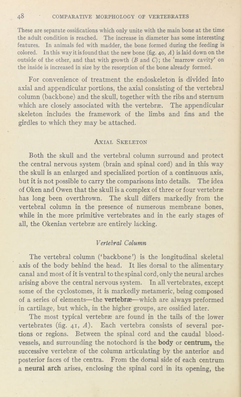These are separate ossifications which only unite with the main bone at the time the adult condition is reached. The increase in diameter has some interesting features.. In animals fed with madder, the bone formed during the feeding is colored. In this way it is found that the new bone (fig. 40, A) is laid down on the outside of the other, and that with growth (B and C); the ‘marrow cavity’ on the inside is increased in size by the resorption of the bone already formed. For convenience of treatment the endoskeleton is divided into axial and appendicular portions, the axial consisting of the vertebral column (backbone) and the skull, together with the ribs and sternum which are closely associated with the vertebrae. The appendicular skeleton includes the framework of the limbs and fins and the girdles to which they may be attached. Axial Skeleton Both the skull and the vertebral column surround and protect the central nervous system (brain and spinal cord) and in this way the skull is an enlarged and specialized portion of a continuous axis, but it is not possible to carry the comparisons into details. The idea of Oken and Owen that the skull is a complex of three or four vertebrae has long been overthrown. The skull differs markedly from the vertebral column in the presence of numerous membrane bones, while in the more primitive vertebrates and in the early stages of all, the Okenian vertebrae are entirely lacking. Vertebral Column The vertebral column (‘backbone’) is the longitudinal skeletal axis of the body behind the head. It lies dorsal to the alimentary canal and most of it is ventral to the spinal cord, only the neural arches arising above the central nervous system. In all vertebrates, except some of the cyclostomes, it is markedly metameric, being composed of a series of elements—the vertebrae—which are always preformed in cartilage, but which, in the higher groups, are ossified later. The most typical vertebrae are found in the tails of the lower vertebrates (fig. 41, A). Each vertebra consists of several por- tions or regions. Between the spinal cord and the caudal blood- vessels, and surrounding the notochord is the body or centrum, the successive vertebrae of the column articulating by the anterior and posterior faces of the centra. From the dorsal side of each centrum a neural arch arises, enclosing the spinal cord in its opening, the