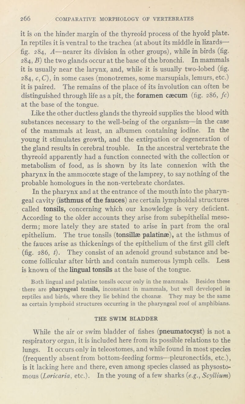 it is on the hinder margin of the thyreoid process of the hyoid plate. In reptiles it is ventral to the trachea (at about its middle in lizards— fig. 284, A—nearer its division in other groups), while in birds (fig. 284, B) the two glands occur at the base of the bronchi. In mammals it is usually near the larynx, and, while it is usually two-lobed (fig. 284, c,C), in some cases (monotremes, some marsupials, lemurs, etc.) it is paired. The remains of the place of its involution can often be distinguished through life as a pit, the foramen caecum (fig. 286, fc) at the base of the tongue. Like the other ductless glands the thyreoid supplies the blood with substances necessary to the well-being of the organism—in the case of the mammals at least, an albumen containing iodine. In the young it stimulates growth, and the extirpation or degeneration of the gland results in cerebral trouble. In the ancestral vertebrate the thyreoid apparently had a function connected with the collection or metabolism of food, as is shown by its late connexion with the pharynx in the ammoccete stage of the lamprey, to say nothing of the probable homologues in the non-vertebrate chordates. In the pharynx and at the entrance of the mouth into the pharyn- geal cavity (isthmus of the fauces) are certain lymphoidal structures called tonsils, concerning which our knowledge is very deficient. According to the older accounts they arise from subepithelial meso- derm; more lately they are stated to arise in part from the oral epithelium. The true tonsils (tonsillae palatinae), at the isthmus of the fauces arise as thickenings of the epithelium of the first gill cleft (fig. 286, t). They consist of an adenoid ground substance and be- come follicular after birth and contain numerous lymph cells. Less is known of the lingual tonsils at the base of the tongue. Both lingual and palatine tonsils occur only in the mammals. Besides these there are pharyngeal tonsils, inconstant in mammals, but well developed in reptiles and birds, where they lie behind the choanas They may be the same as certain lymphoid structures occurring in the pharyngeal roof of amphibians. THE SWIM BLADDER While the air or swim bladder of fishes (pneumatocyst) is not a respiratory organ, it is included here from its possible relations to the lungs. It occurs only in teleostomes, and while found in most species (frequently absent from bottom-feeding forms—pleuronectids, etc.), is it lacking here and there, even among species classed as physosto- mous (Loricaria, etc.). In the young of a few sharks (e.g.f Scyllium)