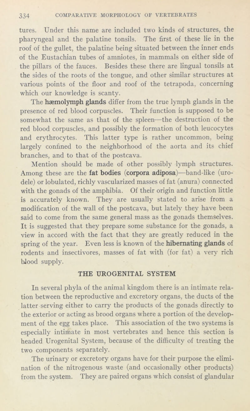 tures. Under this name are included two kinds of structures, the pharyngeal and the palatine tonsils. The first of these lie in the roof of the gullet, the palatine being situated between the inner ends of the Eustachian tubes of amniotes, in mammals on either side of the pillars of the fauces. Besides these there are lingual tonsils at the sides of the roots of the tongue, and other similar structures at various points of the floor and roof of the tetrapoda, concerning which our knowledge is scanty. The haemolymph glands differ from the true lymph glands in the presence of red blood corpuscles. Their function is supposed to be somewhat the same as that of the spleen—the destruction of the red blood corpuscles, and possibly the formation of both leucocytes and erythrocytes. This latter type is rather uncommon, being largely confined to the neighborhood of the aorta and its chief branches, and to that of the postcava. Mention should be made of other possibly lymph structures. Among these are the fat bodies (corpora adiposa)—band-like (uro- dele) or lobulated, richly vascularized masses of fat (anura) connected with the gonads of the amphibia. Of their origin and function little is accurately known. They are usually stated to arise from a modification of the wall of the postcava, but lately they have been said to come from the same general mass as the gonads themselves. It is suggested that they prepare some substance for the gonads, a view in accord with the fact that they are greatly reduced in the spring of the year. Even less is known of the hibernating glands of rodents and insectivores, masses of fat with (for fat) a very rich blood supply. THE UROGENITAL SYSTEM In several phyla of the animal kingdom there is an intimate rela- tion between the reproductive and excretory organs, the ducts of the latter serving either to carry the products of the gonads directly to the exterior or acting as brood organs where a portion of the develop- ment of the egg takes place. This association of the two systems is especially intimate in most vertebrates and hence this section is headed Urogenital System, because of the difficulty of treating the two components separately. The urinary or excretory organs have for their purpose the elimi- nation of the nitrogenous waste (and occasionally other products) from the system. They are paired organs which consist of glandular