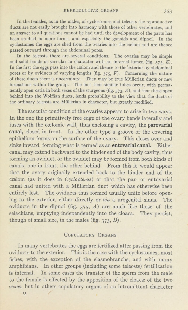 In the females, as in the males, of cyclostomes and teleosts the reproductive ducts are not easily brought into harmony with those of other vertebrates, and an answer to all questions cannot be had until the development of the parts has been studied in more forms, and especially the ganoids and dipnoi. In the cyclostomes the eggs are shed from the ovaries into the coelom and are thence passed outward through the abdominal pores. In the teleosts there are several conditions. The ovaries may be simple and solid bands or saccular in character with an internal lumen (fig. 375, E). In the first the eggs pass into the coelom and thence to the'exterior by abdominal pores or by oviducts of varying lengths (fig. 375, F). Concerning the nature of these ducts there is uncertainty. They may be true Mullerian ducts or new formations within the group. The fact that similar tubes occur, with perma- nently open ostia in both sexes of the sturgeons (fig. 373, A), and that these open behind into the Wolffian ducts, lends probability to the view that the ducts of the ordinary teleosts are Mullerian in character, but greatly modified. The saccular condition of the ovaries appears to arise in two ways. In the one the primitively free edge of the ovary bends laterally and fuses with the coelomic wall, thus enclosing a cavity, the parovarial canal, closed in front. In the other type a groove of the covering epithelium forms on the surface of the ovary. This closes over and sinks inward, forming what is termed as an entovarial canal. Either canal may extend backward to the hinder end of the body cavity, thus forming an oviduct, or the oviduct may be formed from both kinds of canals, one in front, the other behind. From this it would appear that the ovary originally extended back to the hinder end of the coelom (as it does in Cyclopterus) or that the par- or entovarial canal had united with a Mullerian duct which has otherwise been entirely lost. The oviducts thus formed usually unite before open- ing to the exterior, either directly or via a urogenital sinus. The oviducts in the dipnoi (fig. 375, A) are much like those of the selachians, emptying independently into the cloaca. They persist, though of small size, in the males (fig. 373, D). Copulatory Organs In many vertebrates the eggs are fertilized after passing from the oviducts to the exterior. This is the case with the cyclostomes, most fishes, with the exception of the elasmobranchs, and with many amphibians. In other groups (including some teleosts) fertilization is internal. In some cases the transfer of the sperm from the male to the female is effected by the apposition of the cloacae of the two sexes, but in others copulatory organs of an intromittent character 23