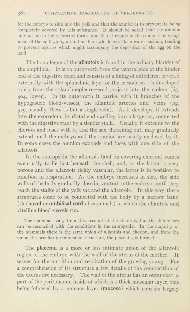 for the embryo to sink into the yolk and that the amnion is to prevent its being completely covered by this substance. It should be noted that the amnion only occurs in the terrestrial forms, and that it results in the complete envelop- ment of the embryo by a fluid medium which acts like a water cushion, tending to prevent injuries which might accompany the deposition of the egg on the land. The homologue of the allantois is found in the urinary bladder of the amphibia. It is an outgrowth from the ventral side of the hinder end of the digestive tract and consists of a lining of entoderm, covered externally with the splanchnic layer of the mesoderm—is developed solely from the splanchnopleure—and projects into the coelom (fig. 404, lower). In its outgrowth it carries with it branches of the hypogastric blood-vessels, the allantoic arteries and veins (fig. 329, usually there is but a single vein). As it develops, it extends into the exoccelom, its distal end swelling into a large sac, connected with the digestive tract by a slender stalk. Usually it extends to the chorion and fuses with it, and the sac, flattening out, may gradually extend until the embryo and the amnion are nearly enclosed by it. In some cases the amnion expands and fuses with one side of the allantois. In the sauropsida the allantois (and its covering chorion) comes eventually to lie just beneath the shell, and, as the latter is very porous and the allantois richly vascular, the latter is in position to function in respiration. As the embryo increases in size, the side walls of the body gradually close in, ventral to the embryo, until they reach the stalks of the yolk sac and the allantois. In this way these structures come to be connected with the body by a narrow band (the navel or umbilical cord of mammals) in which the allantoic and vitelline blood-vessels run. The mammals vary from this account of the allantois, but the differences can be reconciled with the conditions in the sauropsida. In the majority of the mammals there is the same union of allantois and chorion, and from the union the peculiarly mammalian structure, the placenta, is formed. The placenta is a more or less intimate union of the allantoic region of the embryo with the wall of the uterus of the mother. It serves for the nutrition and respiration of the growing young. For a comprehension of its structure a few details of the composition of the uterus are necessary. The wall of the uterus has an outer coat, a part of the peritoneum, inside of which is a thick muscular layer, this being followed by a mucous layer (mucosa) which consists largely