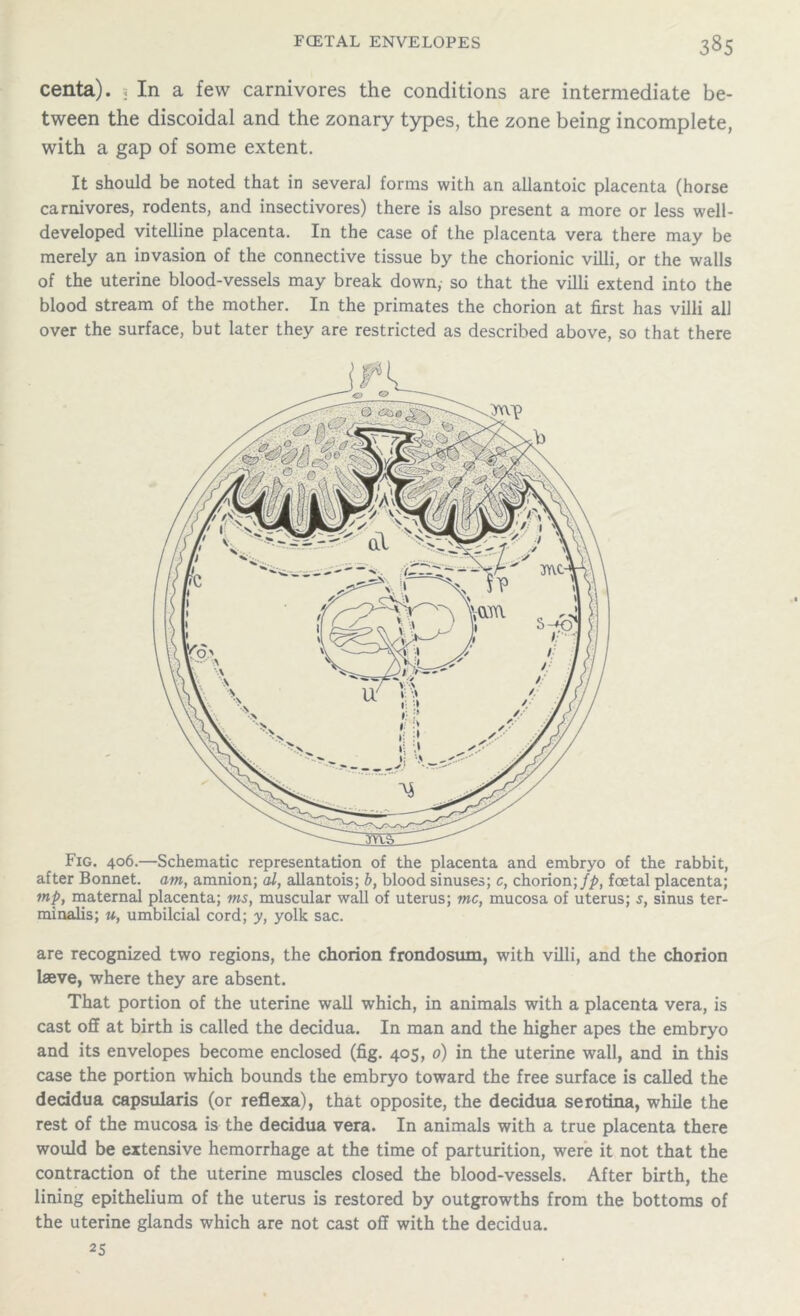 centa). ; In a few carnivores the conditions are intermediate be- tween the discoidal and the zonary types, the zone being incomplete, with a gap of some extent. It should be noted that in several forms with an allantoic placenta (horse carnivores, rodents, and insectivores) there is also present a more or less well- developed vitelline placenta. In the case of the placenta vera there may be merely an invasion of the connective tissue by the chorionic villi, or the walls of the uterine blood-vessels may break down, so that the villi extend into the blood stream of the mother. In the primates the chorion at first has villi all over the surface, but later they are restricted as described above, so that there are recognized two regions, the chorion frondosum, with villi, and the chorion laeve, where they are absent. That portion of the uterine wall which, in animals with a placenta vera, is cast off at birth is called the decidua. In man and the higher apes the embryo and its envelopes become enclosed (fig. 405, 0) in the uterine wall, and in this case the portion which bounds the embryo toward the free surface is called the decidua capsularis (or reflexa), that opposite, the decidua serotina, while the rest of the mucosa is the decidua vera. In animals with a true placenta there would be extensive hemorrhage at the time of parturition, were it not that the contraction of the uterine muscles closed the blood-vessels. After birth, the lining epithelium of the uterus is restored by outgrowths from the bottoms of the uterine glands which are not cast off with the decidua. 25