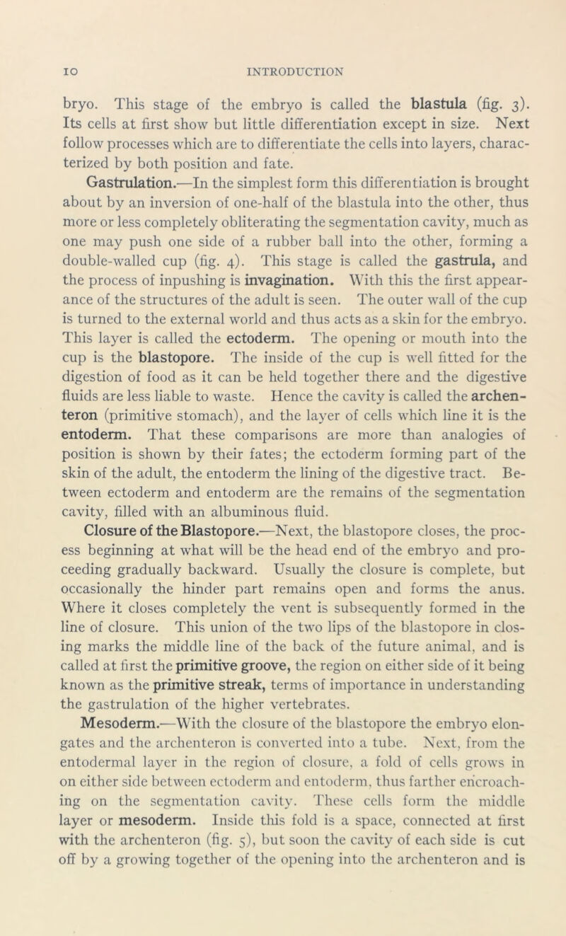 bryo. This stage of the embryo is called the blastula (fig. 3). Its cells at first show but little differentiation except in size. Next follow processes which are to differentiate the cells into layers, charac- terized by both position and fate. Gastrulation.—In the simplest form this differentiation is brought about by an inversion of one-half of the blastula into the other, thus more or less completely obliterating the segmentation cavity, much as one may push one side of a rubber ball into the other, forming a double-walled cup (fig. 4). This stage is called the gastrula, and the process of inpushing is invagination. With this the first appear- ance of the structures of the adult is seen. The outer wall of the cup is turned to the external world and thus acts as a skin for the embryo. This layer is called the ectoderm. The opening or mouth into the cup is the blastopore. The inside of the cup is well fitted for the digestion of food as it can be held together there and the digestive fluids are less liable to waste. Hence the cavity is called the archen- teron (primitive stomach), and the layer of cells which line it is the entoderm. That these comparisons are more than analogies of position is shown by their fates; the ectoderm forming part of the skin of the adult, the entoderm the lining of the digestive tract. Be- tween ectoderm and entoderm are the remains of the segmentation cavity, filled with an albuminous fluid. Closure of the Blastopore.—Next, the blastopore closes, the proc- ess beginning at what will be the head end of the embryo and pro- ceeding gradually backward. Usually the closure is complete, but occasionally the hinder part remains open and forms the anus. Where it closes completely the vent is subsequently formed in the line of closure. This union of the two lips of the blastopore in clos- ing marks the middle line of the back of the future animal, and is called at first the primitive groove, the region on either side of it being known as the primitive streak, terms of importance in understanding the gastrulation of the higher vertebrates. Mesoderm.—With the closure of the blastopore the embryo elon- gates and the archenteron is converted into a tube. Next, from the entodermal layer in the region of closure, a fold of cells grows in on either side between ectoderm and entoderm, thus farther encroach- ing on the segmentation cavity. These cells form the middle layer or mesoderm. Inside tins fold is a space, connected at first with the archenteron (fig. 5), but soon the cavity of each side is cut off by a growing together of the opening into the archenteron and is