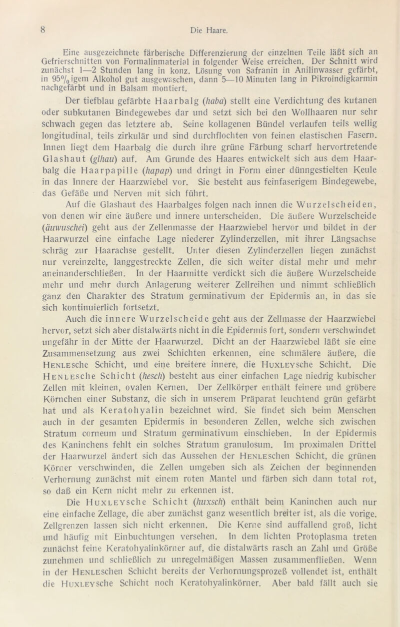 Eine ausgezeichnete färberische Differenzierung der einzelnen Teile läßt sich an Gefrierschnitten von Formalinmaterial in folgender Weise erreichen. Der Schnitt wird zunächst 1—2 Stunden lang in konz. Lösung von Safranin in Anilinwasser gefärbt, in 95% igein Alkohol gut ausgewaschen, dann 5—10 Minuten lang in Pikroindigkarmin nachgefärbt und in Balsam montiert. Der tiefblau gefärbte Haarbalg (haba) stellt eine Verdichtung des kutanen oder subkutanen Bindegewebes dar und setzt sich bei den Wollhaaren nur sehr schwach gegen das letztere ab. Seine kollagenen Bündel verlaufen teils wellig longitudinal, teils zirkulär und sind durchflochten von feinen elastischen Fasern. Innen liegt dem Haarbalg die durch ihre grüne Färbung scharf hervortretende Glashaut (glhau) auf. Am Grunde des Haares entwickelt sich aus dem Haar- balg die Haarpapille (hapap) und dringt in Form einer dünngestielten Keule in das Innere der Haarzwiebel vor. Sie besteht aus feinfaserigem Bindegewebe, das Gefäße und Nerven mit sich führt. Auf die Glashaut des Haarbalges folgen nach innen die Wurzelscheiden, von denen wir eine äußere und innere unterscheiden. Die äußere Wurzelscheide (äumischei) geht aus der Zellenmasse der Haarzwiebel hervor und bildet in der Haarwmrzel eine einfache Lage niederer Zylinderzellen, mit ihrer Längsachse schräg zur Haarachse gestellt. Unter diesen Zylinderzellen liegen zunächst nur vereinzelte, langgestreckte Zellen, die sich weiter distal mehr und mehr aneinanderschließen. In der Haarmitte verdickt sich die äußere Wurzelscheide mehr und mehr durch Anlagerung weiterer Zellreihen und nimmt schließlich ganz den Charakter des Stratum germinativum der Epidermis an, in das sie sich kontinuierlich fortsetzt. Auch die innere Wurzelscheide geht aus der Zellmasse der Haarzwiebel hervor, setzt sich aber distalw'ärts nicht in die Epidermis fort, sondern verschwandet ungefähr in der Mitte der Haarwurzel. Dicht an der Haarzwiebel läßt sie eine Zusammensetzung aus zwei Schichten erkennen, eine schmälere äußere, die HENLESche Schicht, und eine breitere innere, die HuxLEYSche Schicht. Die HenlEsche Schicht (hesch) besteht aus einer einfachen Lage niedrig kubischer Zellen mit kleinen, ovalen Kernen. Der Zellkörper enthält feinere und gröbere Körnchen einer Substanz, die sich in unserem Präparat leuchtend grün gefärbt hat und als Keratohyalin bezeichnet wird. Sie findet sich beim Menschen auch in der gesamten Epidermis in besonderen Zellen, welche sich zwischen Stratum corneum und Stratum germinativum einschieben. In der Epidermis des Kaninchens fehlt ein solches Stratum granulosum. Im proximalen Drittel der Haarwairzel ändert sich das Aussehen der HENLESchen Schicht, die grünen Körner verschwunden, die Zellen umgeben sich als Zeichen der beginnenden Verhornung zunächst mit einem roten Mantel und färben sich dann total rot, so daß ein Kern nicht mehr zu erkennen ist. Die HuxLEYSche Schicht (luixsch) enthält beim Kaninchen auch nur eine einfache Zellage, die aber zunächst ganz wesentlich breiter ist, als die vorige. Zellgrenzen lassen sich nicht erkennen. Die Kerne sind auffallend groß, licht und häufig mit Einbuchtungen versehen. In dem lichten Protoplasma treten zunächst feine Keratohyalinkörner auf, die distalwärts rasch an Zahl und Größe zunehmen und schließlich zu unregelmäßigen Massen zusammenfließen. Wenn in der HENLESchen Schicht bereits der Verhornungsprozeß vollendet ist, enthält die HuxLEYSche Schicht noch Keratohyalinkörner. Aber bald fällt auch sie