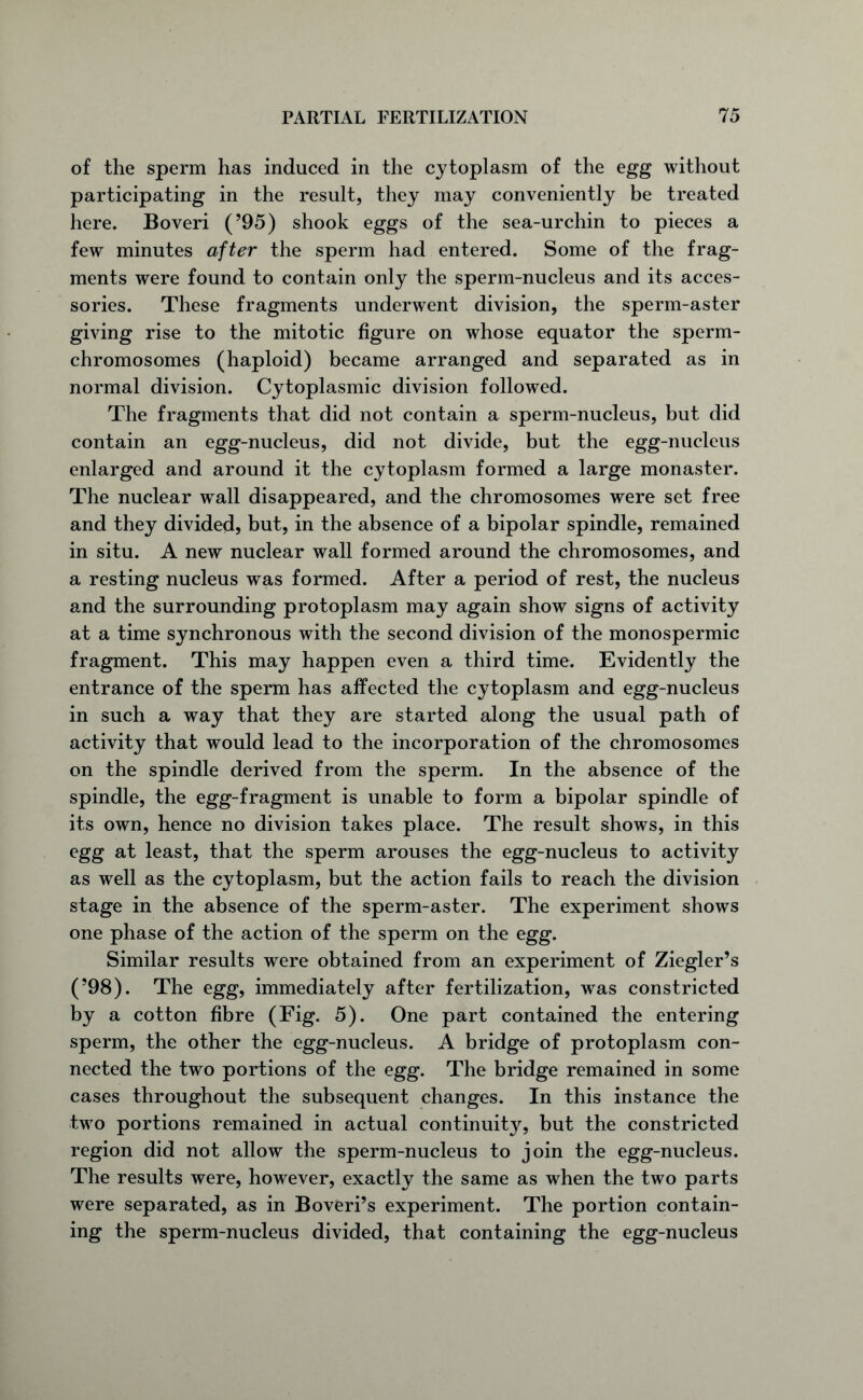 of the sperm has induced in the cytoplasm of the egg without participating in the result, they may conveniently be treated here. Boveri (’95) shook eggs of the sea-urchin to pieces a few minutes after the sperm had entered. Some of the frag- ments were found to contain only the sperm-nucleus and its acces- sories. These fragments underwent division, the sperm-aster giving rise to the mitotic figure on whose equator the sperm- chromosomes (haploid) became arranged and separated as in normal division. Cytoplasmic division followed. The fragments that did not contain a sperm-nucleus, but did contain an egg-nucleus, did not divide, but the egg-nucleus enlarged and around it the cytoplasm formed a large monaster. The nuclear wall disappeared, and the chromosomes were set free and they divided, but, in the absence of a bipolar spindle, remained in situ. A new nuclear wall formed around the chromosomes, and a resting nucleus was formed. After a period of rest, the nucleus and the surrounding protoplasm may again show signs of activity at a time synchronous with the second division of the monospermic fragment. This may happen even a third time. Evidently the entrance of the sperm has affected the cytoplasm and egg-nucleus in such a way that they are started along the usual path of activity that would lead to the incorporation of the chromosomes on the spindle derived from the sperm. In the absence of the spindle, the egg-fragment is unable to form a bipolar spindle of its own, hence no division takes place. The result shows, in this egg at least, that the sperm arouses the egg-nucleus to activity as well as the cytoplasm, but the action fails to reach the division stage in the absence of the sperm-aster. The experiment shows one phase of the action of the sperm on the egg. Similar results were obtained from an experiment of Ziegler’s (’98). The egg, immediately after fertilization, was constricted by a cotton fibre (Fig. 5). One part contained the entering sperm, the other the egg-nucleus. A bridge of protoplasm con- nected the two portions of the egg. The bridge remained in some cases throughout the subsequent changes. In this instance the two portions remained in actual continuit}^ but the constricted region did not allow the sperm-nucleus to join the egg-nucleus. The results were, however, exactly the same as when the two parts were separated, as in Boveri’s experiment. The portion contain- ing the sperm-nucleus divided, that containing the egg-nucleus