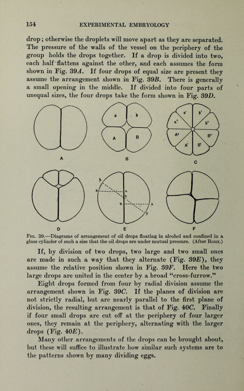 drop; otherwise the droplets will move apart as they are separated. The pressure of the walls of the vessel on the periphery of the group holds the drops together. If a drop is divided into two, each half flattens against the other, and each assumes the form shown in Fig. 31L4. If four drops of equal size are present they assume the arrangement shown in Fig. 39B. There is generally a small opening in the middle. If divided into four parts of unequal sizes, the four drops take the form shown in Fig. 39D. glass cylinder of such a size that the oil drops are under mutual pressure. (After Roux.) If, by division of two drops, two large and two small ones are made in such a way that they alternate (Fig. 39E)9 they assume the relative position shown in Fig. 39F. Here the two large drops are united in the center by a broad “cross-furrow.” Eight drops formed from four by radial division assume the arrangement shown in Fig. 39C. If the planes of division are not strictly radial, but are nearly parallel to the first plane of division, the resulting arrangement is that of Fig. 40C. Finally if four small drops are cut off at the periphery of four larger ones, they remain at the periphery, alternating with the larger drops (Fig. 40E). Many other arrangements of the drops can be brought about, but these will suffice to illustrate how similar such systems are to the patterns shown by many dividing eggs.