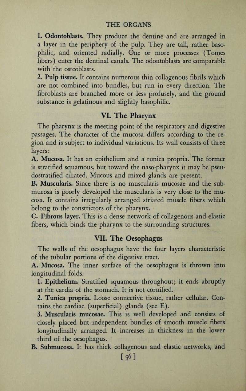1. Odontoblasts. They produce the dentine and are arranged in a layer in the periphery of the pulp. They are tall, rather baso- philic, and oriented radially. One or more processes (Tomes fibers) enter the dentinal canals. The odontoblasts are comparable with the osteoblasts. 2. Pulp tissue. It contains numerous thin collagenous fibrils which are not combined into bundles, but run in every direction. The fibroblasts are branched more or less profusely, and the ground substance is gelatinous and slightly basophilic. VI. The Pharynx The pharynx is the meeting point of the respiratory and digestive passages. The character of the mucosa differs according to the re- gion and is subject to individual variations. Its wall consists of three layers: A. Mucosa. It has an epithelium and a tunica propria. The former is stratified squamous, but toward the naso-pharynx it may be pseu- dostratified ciliated. Mucous and mixed glands are present. B. Muscularis. Since there is no muscularis mucosae and the sub- mucosa is poorly developed the muscularis is very close to the mu- cosa. It contains irregularly arranged striated muscle fibers which belong to the constrictors of the pharynx. C. Fibrous layer. This is a dense network of collagenous and elastic fibers, which binds the pharynx to the surrounding structures. VII. The Oesophagus The walls of the oesophagus have the four layers characteristic of the tubular portions of the digestive tract. A. Mucosa. The inner surface of the oesophagus is thrown into longitudinal folds. 1. Epithelium. Stratified squamous throughout; it ends abruptly at the cardia of the stomach. It is not cornified. 2. Tunica propria. Loose connective tissue, rather cellular. Con- tains the cardiac (superficial) glands (see E). 3. Muscularis mucosae. This is well developed and consists of closely placed but independent bundles of smooth muscle fibers longitudinally arranged. It increases in thickness in the lower third of the oesophagus. B. Submucosa. It has thick collagenous and elastic networks, and [56]