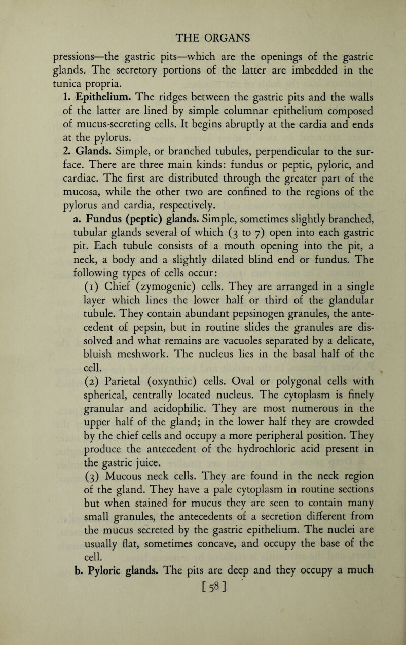 pressions—the gastric pits—which are the openings of the gastric glands. The secretory portions of the latter are imbedded in the tunica propria. 1. Epithelium. The ridges between the gastric pits and the walls of the latter are lined by simple columnar epithelium composed of mucus-secreting cells. It begins abruptly at the cardia and ends at the pylorus. 2. Glands. Simple, or branched tubules, perpendicular to the sur- face. There are three main kinds: fundus or peptic, pyloric, and cardiac. The first are distributed through the greater part of the mucosa, while the other two are confined to the regions of the pylorus and cardia, respectively. a. Fundus (peptic) glands. Simple, sometimes slightly branched, tubular glands several of which (3 to 7) open into each gastric pit. Each tubule consists of a mouth opening into the pit, a neck, a body and a slightly dilated blind end or fundus. The following types of cells occur: (1) Chief (zymogenic) cells. They are arranged in a single layer which lines the lower half or third of the glandular tubule. They contain abundant pepsinogen granules, the ante- cedent of pepsin, but in routine slides the granules are dis- solved and what remains are vacuoles separated by a delicate, bluish meshwork. The nucleus lies in the basal half of the cell. (2) Parietal (oxynthic) cells. Oval or polygonal cells with spherical, centrally located nucleus. The cytoplasm is finely granular and acidophilic. They are most numerous in the upper half of the gland; in the lower half they are crowded by the chief cells and occupy a more peripheral position. They produce the antecedent of the hydrochloric acid present in the gastric juice. (3) Mucous neck cells. They are found in the neck region of the gland. They have a pale cytoplasm in routine sections but when stained for mucus they are seen to contain many small granules, the antecedents of a secretion different from the mucus secreted by the gastric epithelium. The nuclei are usually flat, sometimes concave, and occupy the base of the cell. b. Pyloric glands. The pits are deep and they occupy a much [58]