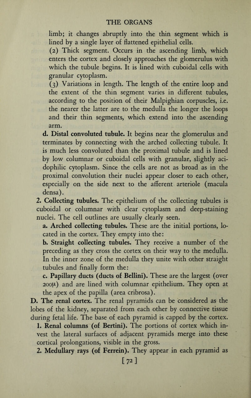 limb; it changes abruptly into the thin segment which is lined by a single layer of flattened epithelial cells. (2) Thick segment. Occurs in the ascending limb, which enters the cortex and closely approaches the glomerulus with which the tubule begins. It is lined with cuboidal cells with granular cytoplasm. (3) Variations in length. The length of the entire loop and the extent of the thin segment varies in different tubules, according to the position of their Malpighian corpuscles, i.e. the nearer the latter are to the medulla the longer the loops and their thin segments, which extend into the ascending arm. d. Distal convoluted tubule. It begins near the glomerulus and terminates by connecting with the arched collecting tubule. It is much less convoluted than the proximal tubule and is lined by low columnar or cuboidal cells with granular, slightly aci- dophilic cytoplasm. Since the cells are not as broad as in the proximal convolution their nuclei appear closer to each other, especially on the side next to the afferent arteriole (macula densa). 2. Collecting tubules. The epithelium of the collecting tubules is cuboidal or columnar with clear cytoplasm and deep-staining nuclei. The cell outlines are usually clearly seen. a. Arched collecting tubules. These are the initial portions, lo- cated in the cortex. They empty into the: b. Straight collecting tubules. They receive a number of the preceding as they cross the cortex on their way to the medulla. In the inner zone of the medulla they unite with other straight tubules and finally form the: c. Papillary ducts (ducts of Bellini). These are the largest (over 200p) and are lined with columnar epithelium. They open at the apex of the papilla (area cribrosa). D. The renal cortex. The renal pyramids can be considered as the lobes of the kidney, separated from each other by connective tissue during fetal life. The base of each pyramid is capped by the cortex. 1. Renal columns (of Bertini). The portions of cortex which in- vest the lateral surfaces of adjacent pyramids merge into these cortical prolongations, visible in the gross. 2. Medullary rays (of Ferrein). They appear in each pyramid as [72]