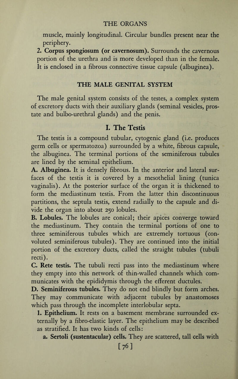 muscle, mainly longitudinal. Circular bundles present near the periphery. 2. Corpus spongiosum (or cavernosum). Surrounds the cavernous portion of the urethra and is more developed than in the female. It is enclosed in a fibrous connective tissue capsule (albuginea). THE MALE GENITAL SYSTEM The male genital system consists of the testes, a complex system of excretory ducts with their auxiliary glands (seminal vesicles, pros- tate and bulbo-urethral glands) and the penis. I. The Testis The testis is a compound tubular, cytogenic gland (i.e. produces germ cells or spermatozoa) surrounded by a white, fibrous capsule, the albuginea. The terminal portions of the seminiferous tubules are lined by the seminal epithelium. A. Albuginea. It is densely fibrous. In the anterior and lateral sur- faces of the testis it is covered by a mesothelial lining (tunica vaginalis). At the posterior surface of the organ it is thickened to form the mediastinum testis. From the latter thin discontinuous partitions, the septula testis, extend radially to the capsule and di- vide the organ into about 250 lobules. B. Lobules. The lobules are conical; their apices converge toward the mediastinum. They contain the terminal portions of one to three seminiferous tubules which are extremely tortuous (con- voluted seminiferous tubules). They are continued into the initial portion of the excretory ducts, called the straight tubules (tubuli recti). C. Rete testis. The tubuli recti pass into the mediastinum where they empty into this network of thin-walled channels which com- municates with the epididymis through the efferent ductules. D. Seminiferous tubules. They do not end blindly but form arches. They may communicate with adjacent tubules by anastomoses which pass through the incomplete interlobular septa. 1. Epithelium. It rests on a basement membrane surrounded ex- ternally by a fibro-elastic layer. The epithelium may be described as stratified. It has two kinds of cells: a. Sertoli (sustentacular) cells. They are scattered, tall cells with [76]