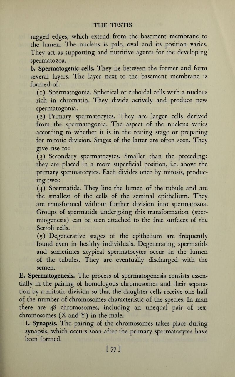 THE TESTIS ragged edges, which extend from the basement membrane to the lumen. The nucleus is pale, oval and its position varies. They act as supporting and nutritive agents for the developing spermatozoa. b. Spermatogenic cells. They lie between the former and form several layers. The layer next to the basement membrane is formed of: (1) Spermatogonia. Spherical or cuboidal cells with a nucleus rich in chromatin. They divide actively and produce new spermatogonia. (2) Primary spermatocytes. They are larger cells derived from the spermatogonia. The aspect of the nucleus varies according to whether it is in the resting stage or preparing for mitotic division. Stages of the latter are often seen. They give rise to: (3) Secondary spermatocytes. Smaller than the preceding; they are placed in a more superficial position, i.e. above the primary spermatocytes. Each divides once by mitosis, produc- ing two: (4) Spermatids. They line the lumen of the tubule and are the smallest of the cells of the seminal epithelium. They are transformed without further division into spermatozoa. Groups of spermatids undergoing this transformation (sper- miogenesis) can be seen attached to the free surfaces of the Sertoli cells. (5) Degenerative stages of the epithelium are frequently found even in healthy individuals. Degenerating spermatids and sometimes atypical spermatocytes occur in the lumen of the tubules. They are eventually discharged with the semen. E. Spermatogenesis. The process of spermatogenesis consists essen- tially in the pairing of homologous chromosomes and their separa- tion by a mitotic division so that the daughter cells receive one half of the number of chromosomes characteristic of the species. In man there are 48 chromosomes, including an unequal pair of sex- chromosomes (X and Y) in the male. 1. Synapsis. The pairing of the chromosomes takes place during synapsis, which occurs soon after the primary spermatocytes have been formed. [77]