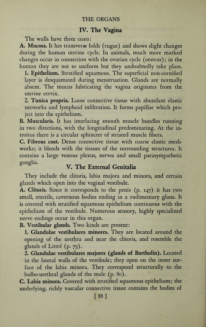 IV. The Vagina The walls have three coats: A. Mucosa. It has transverse folds (rugae) and shows slight changes during the human uterine cycle. In animals, much more marked changes occur in connection with the ovarian cycle (oestrus); in the human they are not so uniform but they undoubtedly take place. 1. Epithelium. Stratified squamous. The superficial non-cornified layer is desquamated during menstruation. Glands are normally absent. The mucus lubricating the vagina originates from the uterine cervix. 2. Tunica propria. Loose connective tissue with abundant elastic networks and lymphoid infiltration. It forms papillae which pro- ject into the epithelium. B. Muscularis. It has interlacing smooth muscle bundles running in two directions, with the longitudinal predominating. At the in- troitus there is a circular sphincter of striated muscle fibers. C. Fibrous coat. Dense connective tissue with coarse elastic mesh- works; it blends with the tissues of the surrounding structures. It contains a large venous plexus, nerves and small parasympathetic ganglia. V. The External Genitalia They include the clitoris, labia majora and minora, and certain glands which open into the vaginal vestibule. A. Clitoris. Since it corresponds to the penis (p. 147) it has two small, erectile, cavernous bodies ending in a rudimentary glans. It is covered with stratified squamous epithelium continuous with the epithelium of the vestibule. Numerous sensory, highly specialized nerve endings occur in this organ. B. Vestibular glands. Two kinds are present: 1. Glandulae vestibulares minores. They are located around the opening of the urethra and near the clitoris, and resemble the glands of Littre (p. 75). 2. Glandulae vestibulares majores (glands of Bartholin). Located in the lateral walls of the vestibule; they open on the inner sur- face of the labia minora. They correspond structurally to the bulbo-urethral glands of the male (p. 80). C. Labia minora. Covered with stratified squamous epithelium; the underlying, richly vascular connective tissue contains the bodies of [88]