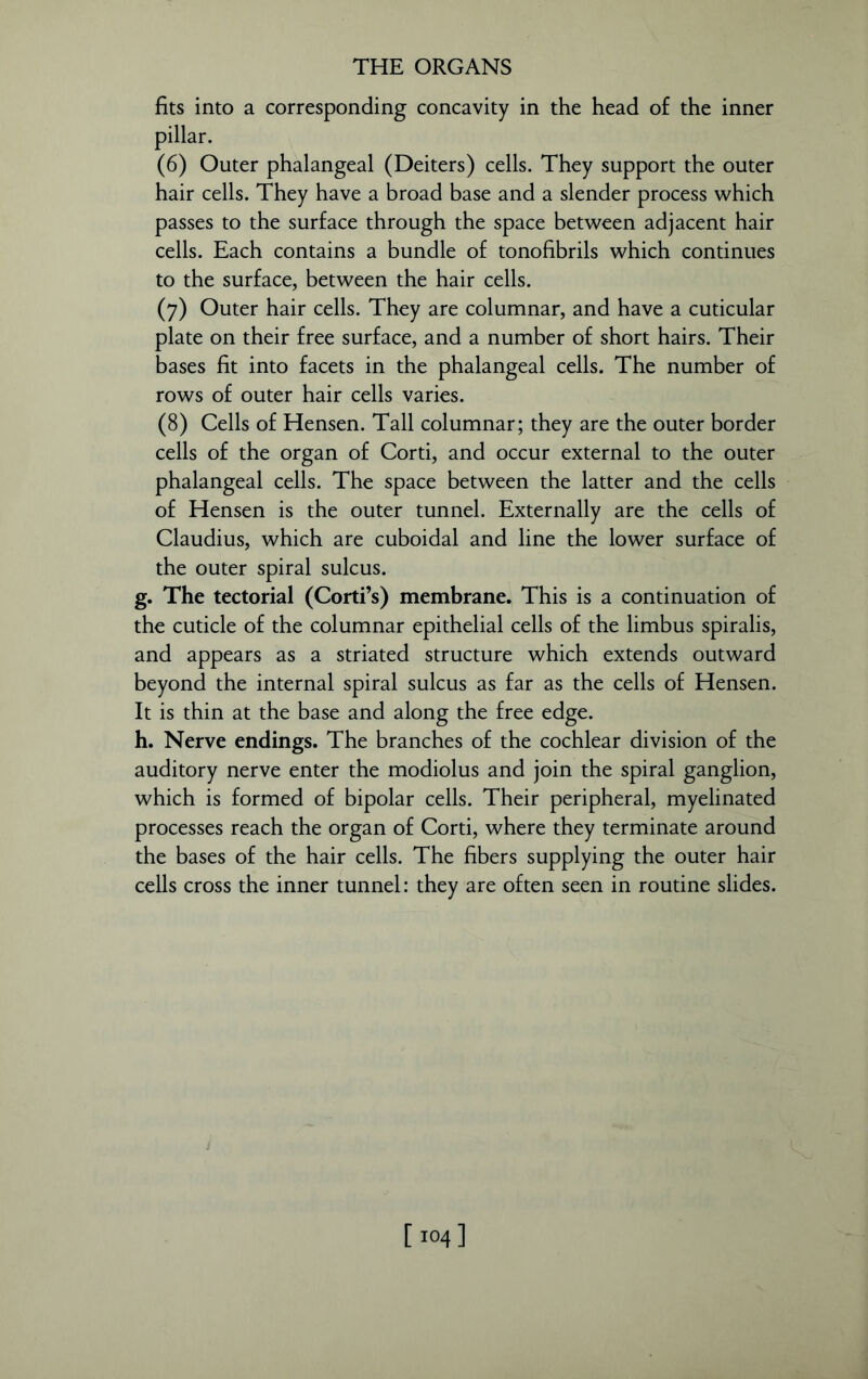fits into a corresponding concavity in the head of the inner pillar. (6) Outer phalangeal (Deiters) cells. They support the outer hair cells. They have a broad base and a slender process which passes to the surface through the space between adjacent hair cells. Each contains a bundle of tonofibrils which continues to the surface, between the hair cells. (7) Outer hair cells. They are columnar, and have a cuticular plate on their free surface, and a number of short hairs. Their bases fit into facets in the phalangeal cells. The number of rows of outer hair cells varies. (8) Cells of Hensen. Tall columnar; they are the outer border cells of the organ of Corti, and occur external to the outer phalangeal cells. The space between the latter and the cells of Hensen is the outer tunnel. Externally are the cells of Claudius, which are cuboidal and line the lower surface of the outer spiral sulcus. g. The tectorial (Corti’s) membrane. This is a continuation of the cuticle of the columnar epithelial cells of the limbus spiralis, and appears as a striated structure which extends outward beyond the internal spiral sulcus as far as the cells of Hensen. It is thin at the base and along the free edge. h. Nerve endings. The branches of the cochlear division of the auditory nerve enter the modiolus and join the spiral ganglion, which is formed of bipolar cells. Their peripheral, myelinated processes reach the organ of Corti, where they terminate around the bases of the hair cells. The fibers supplying the outer hair cells cross the inner tunnel: they are often seen in routine slides.
