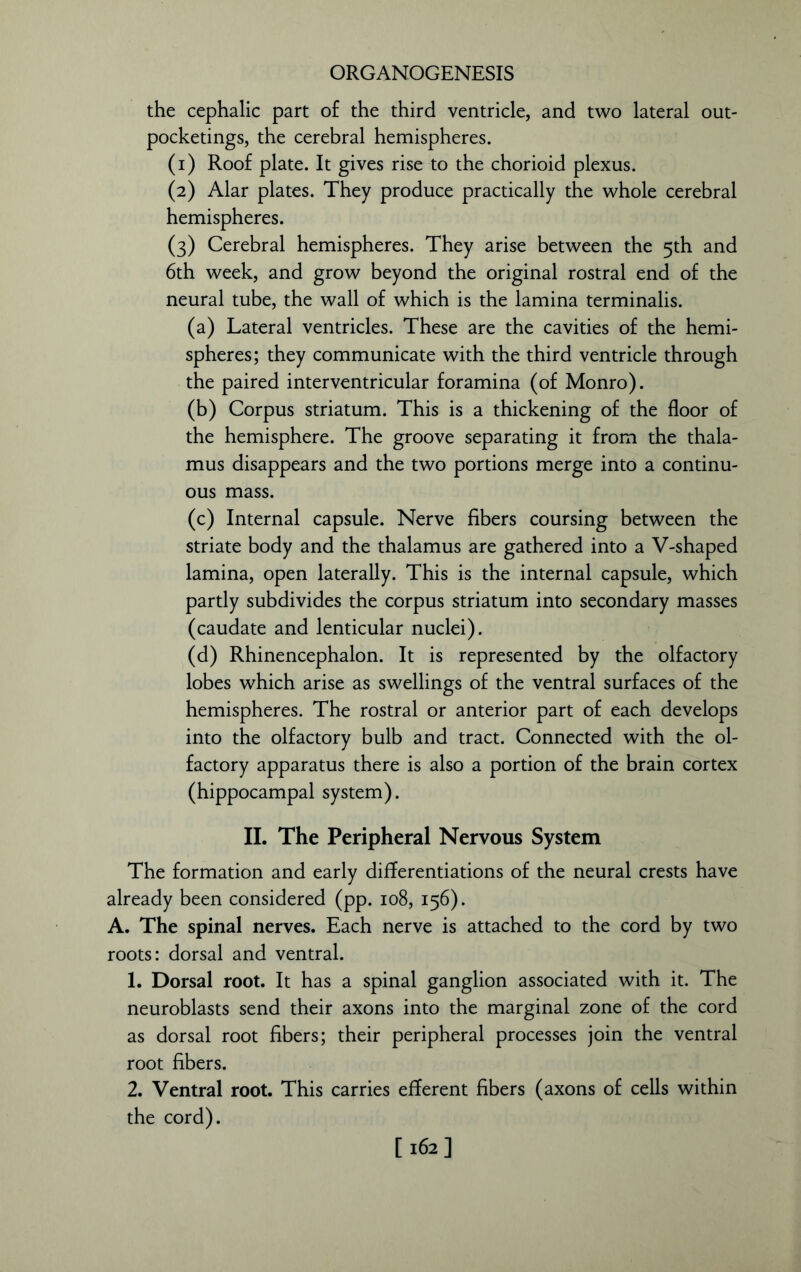 the cephalic part of the third ventricle, and two lateral out- pocketings, the cerebral hemispheres. (1) Roof plate. It gives rise to the chorioid plexus. (2) Alar plates. They produce practically the whole cerebral hemispheres. (3) Cerebral hemispheres. They arise between the 5th and 6th week, and grow beyond the original rostral end of the neural tube, the wall of which is the lamina terminalis. (a) Lateral ventricles. These are the cavities of the hemi- spheres; they communicate with the third ventricle through the paired interventricular foramina (of Monro). (b) Corpus striatum. This is a thickening of the floor of the hemisphere. The groove separating it from the thala- mus disappears and the two portions merge into a continu- ous mass. (c) Internal capsule. Nerve fibers coursing between the striate body and the thalamus are gathered into a V-shaped lamina, open laterally. This is the internal capsule, which partly subdivides the corpus striatum into secondary masses (caudate and lenticular nuclei). (d) Rhinencephalon. It is represented by the olfactory lobes which arise as swellings of the ventral surfaces of the hemispheres. The rostral or anterior part of each develops into the olfactory bulb and tract. Connected with the ol- factory apparatus there is also a portion of the brain cortex (hippocampal system). II. The Peripheral Nervous System The formation and early differentiations of the neural crests have already been considered (pp. 108, 156). A. The spinal nerves. Each nerve is attached to the cord by two roots: dorsal and ventral. 1. Dorsal root. It has a spinal ganglion associated with it. The neuroblasts send their axons into the marginal zone of the cord as dorsal root fibers; their peripheral processes join the ventral root fibers. 2. Ventral root. This carries efferent fibers (axons of cells within the cord). [162]