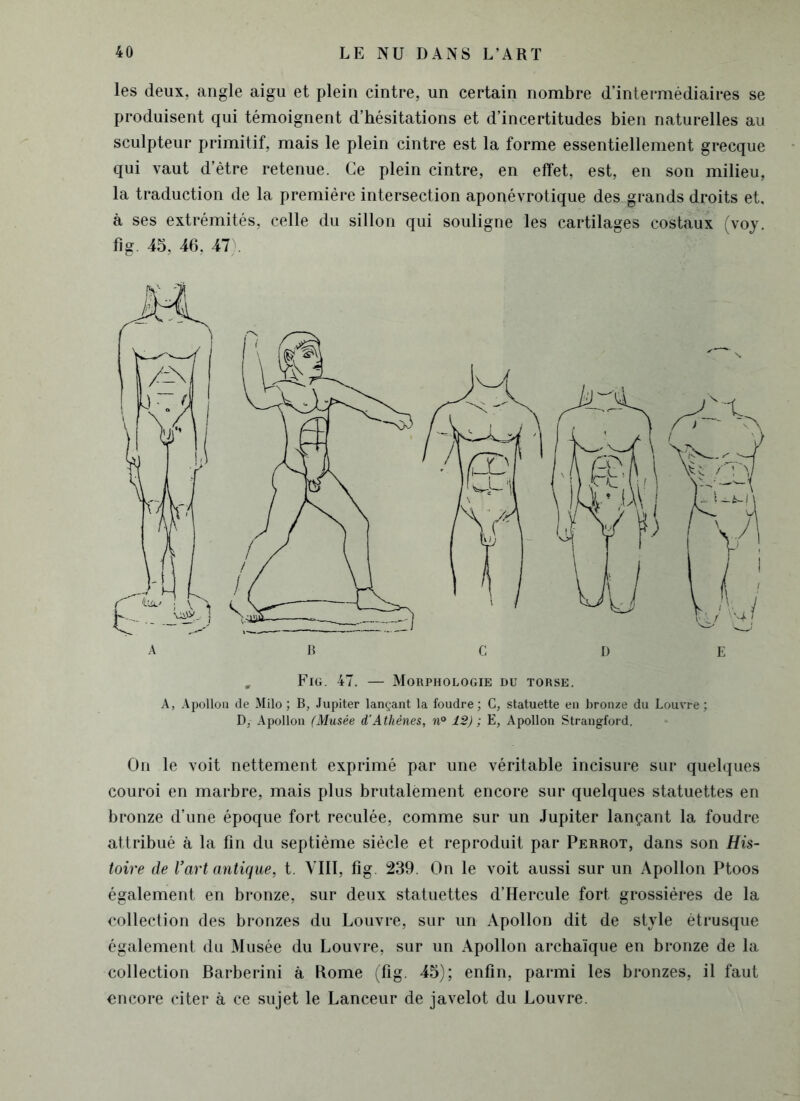 les deux, angle aigu et plein cintre, un certain nombre d’intermédiaires se produisent qui témoignent d’hésitations et d’incertitudes bien naturelles au sculpteur primitif, mais le plein cintre est la forme essentiellement grecque qui vaut d’être retenue. Ce plein cintre, en effet, est, en son milieu, la traduction de la première intersection aponévrotique des grands droits et, à ses extrémités, celle du sillon qui souligne les cartilages costaux (voy. fig. 45, 46. 47). Fig. 47. — Morphologie du torse. A, Apollon de Milo ; B, Jupiter lançant la foudre; C, statuette en bronze du Louvre; D, Apollon (Musée d’Athènes, n° 12) ; E, Apollon Strangford. On le voit nettement exprimé par une véritable incisure sur quelques couroi en marbre, mais plus brutalement encore sur quelques statuettes en bronze d’une époque fort reculée, comme sur un Jupiter lançant la foudre attribué à la fin du septième siècle et reproduit par Perrot, dans son His- toire de l’art antique, t. VIII, fig. 239. On le voit aussi sur un Apollon Ptoos également en bronze, sur deux statuettes d’Hercule fort grossières de la collection des bronzes du Louvre, sur un Apollon dit de style étrusque également du Musée du Louvre, sur un Apollon archaïque en bronze de la collection Barberini à Rome (fig. 45); enfin, parmi les bronzes, il faut encore citer à ce sujet le Lanceur de javelot du Louvre.