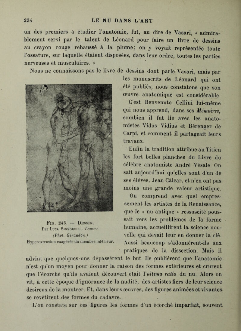 un des premiers à étudier l’anatomie, fut, au dire de Vasari, « admira- blement servi par le talent de Léonard pour faire un livre de dessins au crayon rouge rehaussé à la plume; on y voyait représentée toute l’ossature, sur laquelle étaient disposées, dans leur ordre, toutes les parties nerveuses et musculaires. » Nous ne connaissons pas le livre de dessins dont parle Vasari, mais par Fig. 245. — Dessin. Par Luca Signorelli. Louvre. (Phot. Giraudon.) Hyperextension exagérée du membre inférieur. advint que quelques-uns dépassèrent le but. Ils publièrent que l’anatomie n’est qu’un moyen pour donner la raison des formes extérieures et crurent que l’écorché qu’ils avaient découvert était ïultima ratio du nu. Alors on vit, à cette époque d’ignorance de la nudité, des artistes fiers de leur science désireux de la montrer. Et, dans leurs œuvres, des figures animées et vivantes se revêtirent des formes du cadavre. L’on constate sur ces figures les formes d’un écorché imparfait, souvent les manuscrits de Léonard qui ont été publiés, nous constatons que son œuvre anatomique est considérable. C’est Benvenuto Cellini lui-même qui nous apprend, dans ses Mémoires, combien il fut lié avec les anato- mistes Vidus Vidius et Bérenger de Carpi, et comment il partageait leurs travaux. Enfin la tradition attribue au Titien les fort belles planches du Livre du célèbre anatomiste André Vésale. On sait aujourd’hui qu’elles sont d’un de ses élèves, Jean Calcar, et n’en ont pas moins une grande valeur artistique. On comprend avec quel empres- sement les artistes de la Renaissance, que le « nu antique » ressuscité pous- sait vers les problèmes de la forme humaine, accueillirent la science nou- velle qui devait leur en donner la clé. Aussi beaucoup s’adonnèrent-ils aux pratiques de la dissection. Mais il