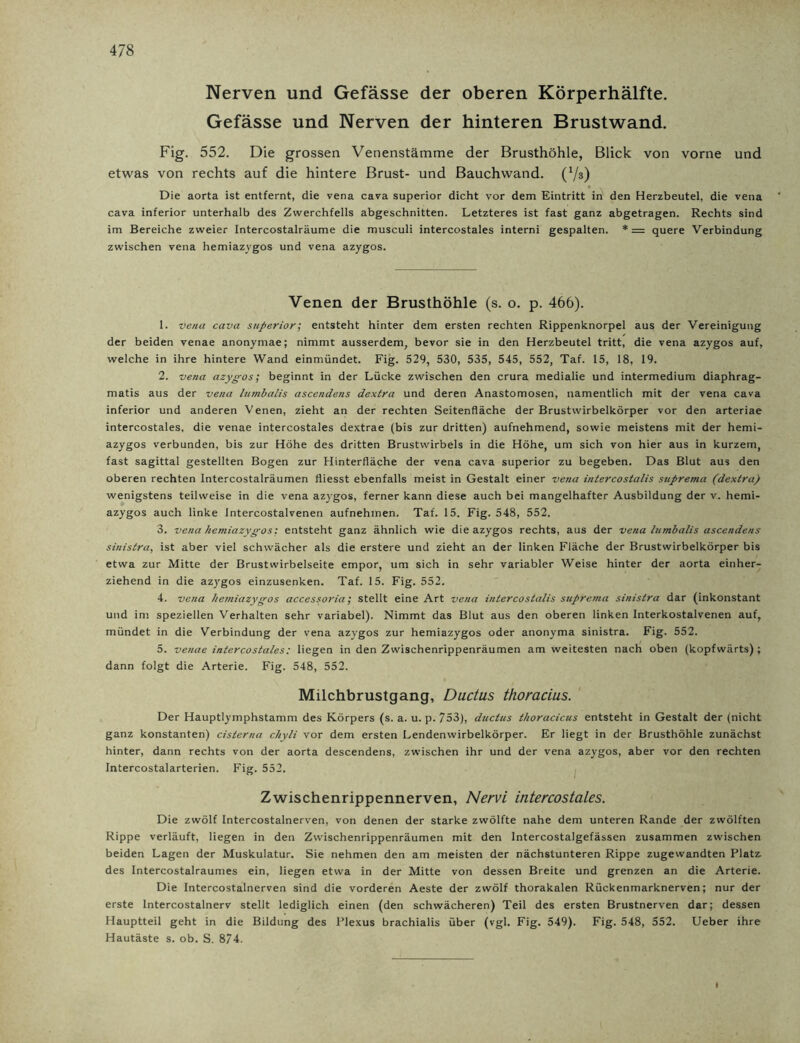 Nerven und Gefässe der oberen Körperhälfte. Gefässe und Nerven der hinteren Brustwand. Fig. 552. Die grossen Venenstämme der Brusthöhle, Blick von vorne und etwas von rechts auf die hintere Brust- und Bauchwand. (Vs) Die aorta ist entfernt, die vena cava superior dicht vor dem Eintritt in den Herzbeutel, die vena cava inferior unterhalb des Zwerchfells abgeschnitten. Letzteres ist fast ganz abgetragen. Rechts sind im Bereiche zweier Intercostalräume die musculi intercostales interni gespalten. * = quere Verbindung zwischen vena hemiazygos und vena azygos. Venen der Brusthöhle (s. o. p. 466). 1. vena cava superior; entsteht hinter dem ersten rechten Rippenknorpel aus der Vereinigung der beiden venae anonymae; nimmt ausserdem, bevor sie in den Herzbeutel tritt, die vena azygos auf, welche in ihre hintere Wand einmündet. Fig. 529, 530, 535, 545, 552, Taf. 15, 18, 19. 2. vena azygos; beginnt in der Lücke zwischen den crura medialie und intermedium diaphrag- matis aus der vena lumbalis ascendens dextra und deren Anastomosen, namentlich mit der vena cava inferior und anderen Venen, zieht an der rechten Seitenfläche der Brustwirbelkörper vor den arteriae intercostales, die venae intercostales dextrae (bis zur dritten) aufnehmend, sowie meistens mit der hemi- azygos verbunden, bis zur Höhe des dritten Brustwirbels in die Höhe, um sich von hier aus in kurzem, fast sagittal gestellten Bogen zur Hinterfläche der vena cava superior zu begeben. Das Blut aus den oberen rechten Intercostalräumen fliesst ebenfalls meist in Gestalt einer vena intercostalis stiprema (dextra) wenigstens teilweise in die vena azygos, ferner kann diese auch bei mangelhafter Ausbildung der v. hemi- azygos auch linke Intercostalvenen aufnehmen. Taf. 15. Fig. 548, 552. 3. vena hemiazygos: entsteht ganz ähnlich wie die azygos rechts, aus der vena lumbalis ascendens sinistra, ist aber viel schwächer als die erstere und zieht an der linken Fläche der Brustwirbelkörper bis etwa zur Mitte der Brustwirbelseite empor, um sich in sehr variabler Weise hinter der aorta einher- ziehend in die azygos einzusenken. Taf. 15. Fig. 552. 4. vena hemiazygos accessoria; stellt eine Art vena intercostalis stiprema sinistra dar (inkonstant und im speziellen Verhalten sehr variabel). Nimmt das Blut aus den oberen linken Interkostalvenen auf, mündet in die Verbindung der vena azjgos zur hemiazygos oder anonyma sinistra. Fig. 552. 5. venae intercostales: liegen in den Zwischenrippenräumen am weitesten nach oben (kopfwärts) ; dann folgt die Arterie. Fig. 548, 552. Milchbrustgang, Ductus thoracius. Der Hauptlymphstamm des Körpers (s. a. u. p. 753), ductus thoracicus entsteht in Gestalt der (nicht ganz konstanten) cisterna chyli vor dem ersten Lendenwirbelkörper. Er liegt in der Brusthöhle zunächst hinter, dann rechts von der aorta descendens, zwischen ihr und der vena azygos, aber vor den rechten Intercostalarterien. Fig. 552. Zwischenrippennerven, Nervi intercostales. Die zwölf Intercostalnerven, von denen der starke zwölfte nahe dem unteren Rande der zwölften Rippe verläuft, liegen in den Zwischenrippenräumen mit den Intercostalgefässen zusammen zwischen beiden Lagen der Muskulatur. Sie nehmen den am meisten der nächstunteren Rippe zugewandten Platz des Intercostalraumes ein, liegen etwa in der Mitte von dessen Breite und grenzen an die Arterie. Die Intercostalnerven sind die vorderen Aeste der zwölf thorakalen Rückenmarknerven; nur der erste Intercostalnerv stellt lediglich einen (den schwächeren) Teil des ersten Brustnerven dar; dessen Ilauptteil geht in die Bildung des Plexus brachialis über (vgl. Fig. 549). Fig. 548, 552. Ueber ihre Hautäste s. ob. S. 874. i