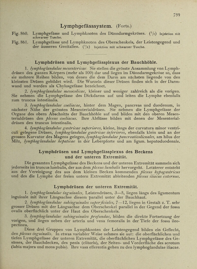 Lymphgefässsystem. (Forts.) Fig. 860. Lymphgefässe und Lymphknoten des Dünndarmgekröses. (72) Injektion mit schwarzer Tusche. Fig. 861. Lymphgefässe und Lymphknoten des Oberschenkels, der Leistengegend und der äusseren Genitalien. (72) Injektion mit schwarzer Tusche. Lymphdrüsen und Lymphgefässplexus der Bauchhöhle. 1. lymphoglandulae mesentericae Sie stellen die grösste Ansammlung von Lymph- drüsen des ganzen Körpers (mehr als 100) dar und liegen im Dünndarmgekröse so, dass sie mehrere Reihen bilden, von denen die dem Darm am nächsten liegende von den kleinsten Drüsen gebildet wird. Die Wurzeln dieser Drüsen finden sich in der Darm- wand und werden als Chylusgefässe bezeichnet. 2. lymphoglandulae mesocollcae, kleiner und weniger zahlreich als die vorigen. Sie nehmen die Lymphgefässe des Dickdarms auf und leiten die Lymphe ebenfalls zum truncus intestinalis. 3. lymphoglandulae coeliacae, hinter dem Magen, pancreas und duodenum, in nächster Nähe der grössten Mesenterialdrüsen. Sie nehmen die Lymphgefässe der Organe des obern Abschnitts der Bauchhöhle auf und bilden mit den oberen Mesen- terialdrüsen den plexus coeliacus. Ihre Abflüsse bilden mit denen der Mesenterial- drüsen den truncus intestinalis. 4. ly?nphoglandulae gastricae superiores, kleine, längs der curvatura minor ventri- culi gelegene Drüsen, lymphogla?idulae gastricae inferiores, ebenfalls klein und an der grossen Kurvatur des Magens gelegen, lymphoglandulaepancreaticolienales, am hilus der Milz, lymphoglandulae hepaticae in der Leberpforte und am ligam. hepatoduodenale. Lymphdrüsen und Lymphgefässplexus des Beckens und der unteren Extremität. Die gesamten Lymphgefässe des Beckens und der unteren Extremität sammeln sich jederseits im truncus lumbalis, der aus dem plexus lumbalis hervorgeht. Letzterer entsteht aus der Vereinigung des aus dem kleinen Becken kommenden plexus hypogastriciis und des die Lymphe der freien untern Extremität ableitenden plexus iliacus externus. Lymphdrüsen der unteren Extremität. 1. lymphoglandulae inguinales, Leistendrüsen, 3—5, liegen längs des ligamentum inguinale mit ihrer Längsachse diesem parallel unter der Bauchhaut. 2. lymphoglandulae subinguinales superficiales, 7—12, liegen in Gestalt z. T. sehr grosser Drüsen mit der Längsachse dem Oberschenkel parallel in der Gegend der fossa ovalis oberflächlich unter der Haut des Oberschenkels. 3. lymphoglandidae subinguinales profundae, bilden die direkte Fortsetzung der vorigen, und liegen neben der arteria und vena femoralis in der Tiefe der fossa ileo- pectinea. Diese drei Gruppen von Lymphknoten der Leistengegend bilden ein Geflecht, den plexus inguinalis. In etwas variabler Weise nehmen sie aut: die oberflächlichen und tiefen Lymphgefässe der unteren Extremität, die oberflächlichen Lymphgefässe des Ge- sässes, der Bauchdecken, des penis (clitoris), der Seiten- und Vorderfläche des scrotum (labia majora und mons pubis). Ihre vasa efferentia gehen zu den lymphoglandulae iliacae.