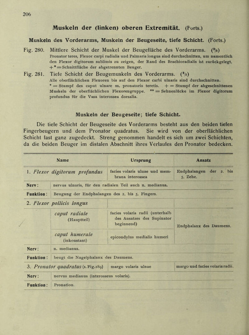 Muskeln der (linken) oberen Extremität. (Furts.) Muskeln des Vorderarms, Muskeln der Beugeseite, tiefe Schicht. (Forts.) Fig. 280. Mittlere Schicht der Muskel der Beugefläche des Vorderarms. (2/s) Pronator teres, Flexor carpi radialis und Palmaris longus sind durchschnitten, um namentlich den Flexor digitorum sublimis zu zeigen, der Rand des Brachioradialis ist zurückgelegt. -|- * = Schnittfläche der abgetrennten Beuger. Fig. 281. Tiefe Schicht der Beugemuskeln des Vorderarms. (2/3) Alle oberflächlichen Flexoren bis auf den Flexor carbi ulnaris sind durchschnitten. * = Stumpf des caput ulnare m. pronatoris teretis. + = Stumpf der abgeschnittenen Muskeln der oberflächlichen Flexoren gruppe. ** = Sehnenlücke im Flexor digitorum profundus für die Vasa interossea dorsalia. Muskeln der Beugeseite; tiefe Schicht. Die tiefe Schicht der Beugeseite des Vorderarms besteht aus den beiden tiefen Fingerbeugern und dem Pronator quadratus. Sie wird von der oberflächlichen Schicht fast ganz zugedeckt. Streng genommen handelt es sich um zwei Schichten, da die beiden Beuger im distalen Abschnitt ihres Verlaufes den Pronator bedecken. Name Ursprung Ansatz 1. Flexor digitorum profundus facies volaris ulnae und mem- brana interossea Endphalangen der 2. bis 5. Zehe. Nerv: nervus ulnaris, für den radialen Teil auch n. medianus. Funktion: Beugung der Endphalangen des 2. bis 5. Fingers. 2. Flexor pollicis longus caput radiale (Hauptteil) facies volaris radii (unterhalb des Ansatzes des Supinator beginnend) Endphalanx des Daumens. caput humerale (inkonstant) epicondylus medialis humeri Nerv: n. medianus. Funktion: beugt die Nagelphalanx des Daumens. 3. Pronator quadratus (s.Fig.289) margo volaris ulnae margo und facies volaris radii. Nerv: nervus medianus (interosseus volaris).