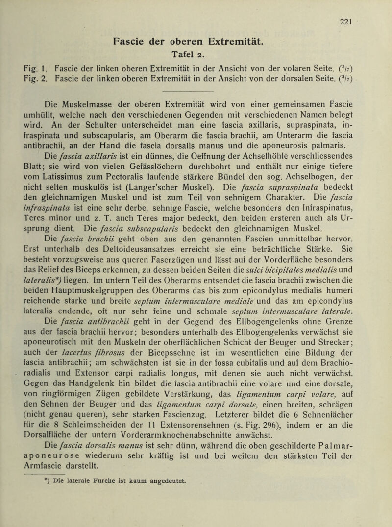 Fascie der oberen Extremität. Tafel 2. Fig. 1. Fascie der linken oberen Extremität in der Ansicht von der volaren Seite. (3/i) Fig. 2. Fascie der linken oberen Extremität in der Ansicht von der dorsalen Seite. (*h) Die Muskelmasse der oberen Extremität wird von einer gemeinsamen Fascie umhüllt, welche nach den verschiedenen Gegenden mit verschiedenen Namen belegt wird. An der Schulter unterscheidet man eine fascia axillaris, supraspinata, in- fraspinata und subscapularis, am Oberarm die fascia brachii, am Unterarm die fascia antibrachii, an der Hand die fascia dorsalis manus und die aponeurosis palmaris. Die fascia axillaris ist ein dünnes, die Oeffnung der Achselhöhle verschliessendes Blatt; sie wird von vielen Gefässlöchern durchbohrt und enthält nur einige tiefere vom Latissimus zum Pectoralis laufende stärkere Bündel den sog. Achselbogen, der nicht selten muskulös ist (Langer’scher Muskel). Die fascia supraspinata bedeckt den gleichnamigen Muskel und ist zum Teil von sehnigem Charakter. Die fascia infraspinata ist eine sehr derbe, sehnige Fascie, welche besonders den Infraspinatus, Teres minor und z. T. auch Teres major bedeckt, den beiden ersteren auch als Ur- sprung dient. Die fascia subscapularis bedeckt den gleichnamigen Muskel. Die fascia brachii geht oben aus den genannten Fascien unmittelbar hervor. Erst unterhalb des Deltoideusansatzes erreicht sie eine beträchtliche Stärke. Sie besteht vorzugsweise aus queren Faserzügen und lässt auf der Vorderfläche besonders das Relief des Biceps erkennen, zu dessen beiden Seiten die sulci bicipitales medialis und lateralis*) liegen. Im untern Teil des Oberarms entsendet die fascia brachii zwischen die beiden Hauptmuskelgruppen des Oberarms das bis zum epicondylus medialis humeri reichende starke und breite septum intermusculare mediale und das am epicondylus lateralis endende, oft nur sehr feine und schmale septum intermusculare laterale. Die fascia antibrachii geht in der Gegend des Ellbogengelenks ohne Grenze aus der fascia brachii hervor; besonders unterhalb des Ellbogengelenks verwächst sie aponeurotisch mit den Muskeln der oberflächlichen Schicht der Beuger und Strecker; auch der lacertus fibrosus der Bicepssehne ist im wesentlichen eine Bildung der fascia antibrachii; am schwächsten ist sie in der fossa cubitalis und auf dem Brachio- radialis und Extensor carpi radialis longus, mit denen sie auch nicht verwächst. Gegen das Handgelenk hin bildet die fascia antibrachii eine volare und eine dorsale, von ringförmigen Zügen gebildete Verstärkung, das ligamentum carpi volare, auf den Sehnen der Beuger und das ligamentum carpi dorsale, einen breiten, schrägen (nicht genau queren), sehr starken Fascienzug. Letzterer bildet die 6 Sehnenfächer für die 8 Schleimscheiden der 11 Extensorensehnen (s. Fig. 296), indem er an die Dorsalfläche der untern Vorderarmknochenabschnitte anwächst. Die fascia dorsalis manus ist sehr dünn, während die oben geschilderte Palmar- aponeurose wiederum sehr kräftig ist und bei weitem den stärksten Teil der Armfascie darstellt. *) Die laterale Furche ist kaum angedeutet.