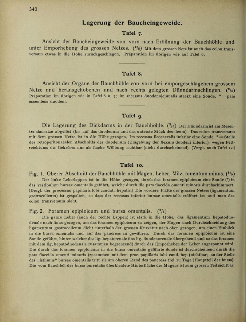 340 Lagerung der Baucheingeweide. Tafel 7. Ansicht der Baucheingeweide von vorn nach Eröffnung der Bauchhöhle und unter Emporhebung des grossen Netzes. (2/s) Mit dem grossen Netz ist auch das colon trans- versum etwas in die Höhe zurückgeschlagen. Präparation im übrigen wie auf Tafel 6. Tafel 8. Ansicht der Organe der Bauchhöhle von vorn bei emporgeschlagenem grossem Netze und herausgehobenen und nach rechts gelegten Dünndarmschlingen. (*/s) Präparation im übrigen wie in Tafel 6 u. 7; im recessus duodenojejunalis steckt eine Sonde. * = pars ascendens duodeni. Tafel g. Die Lagerung des Dickdarms in der Bauchhöhle. (*/ö) Der Dünndarm ist am Mesen- terialansatze abgelöst (bis auf das duodenum und das unterste Stück des ileum). Das colon transversum mit dem grossen Netze ist in die Höhe gezogen. Im recessus ileocaecalis inferior eine Sonde. * = Stelle des retroperitonaealen Abschnitts des duodenum (Umgebung der flexura duodeni inferior), wegen Fett- reichtums des Gekröses nur als flache Wölbung sichtbar (nicht durchscheinend). (Vergl. auch Tafel 12.) Tafel 10. Fig. 1. Oberer Abschnitt der Bauchhöhle mit Magen, Leber, Milz, omentum minus. (2/s) Der linke Leberlappen ist in die Höhe gezogen, durch das foramen epiploicum eine Sonde (*) in das vestibulum bursae omentalis geführt, welche durch die pars flaccida omenti minoris durchschimmert. (Desgl. der processus papillaris lobi caudati hepatis.) Die vordere Platte des grossen Netzes (ligamentum gastrocolicum) ist gespalten, so dass der recessus inferior bursae omentalis eröffnet ist und man das colon transversum sieht. Fig. 2. Foramen epiploicum und bursa omentalis. (2/s) Die ganze Leber (auch der rechte Lappen) ist stark in die Höhe, das ligamentum hepatoduo- denale nach links gezogen, um das foramen epiploicum zu zeigen, der Magen nach Durchschneidung des ligamentum gastrocolicum dicht unterhalb der grossen Kurvatur nach oben gezogen, um einen Einblick in die bursa omentalis und auf das pancreas zu gewähren. Durch das foramen epiploicum ist eine Sonde geführt, hinter welcher das lig. hepatorenale (ins lig. duodenorenale übergehend und so das foramen mit dem lig. hepatoduodenale zusammen begrenzend) durch das Emporheben der Leber angespannt wird. Die durch das foramen epiploicum in die bursa omentalis geführte Sonde ist durchscheinend durch die pars flaccida omenti minoris (zusammen mit dem proc. papillaris lobi caud. hep.) sichtbar; an der Stelle des „isthmus“ bursae omentalis tritt sie am oberen Rand des pancreas frei zu Tage (Hauptteil der bursa). Die vom Bauchfell der bursa omentalis überkleidete Hinterfläche des Magens ist zum grossen Teil sichtbar.