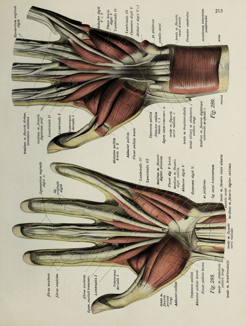 TS 5Sl •§'£ c. tS *C> <3 .«o •