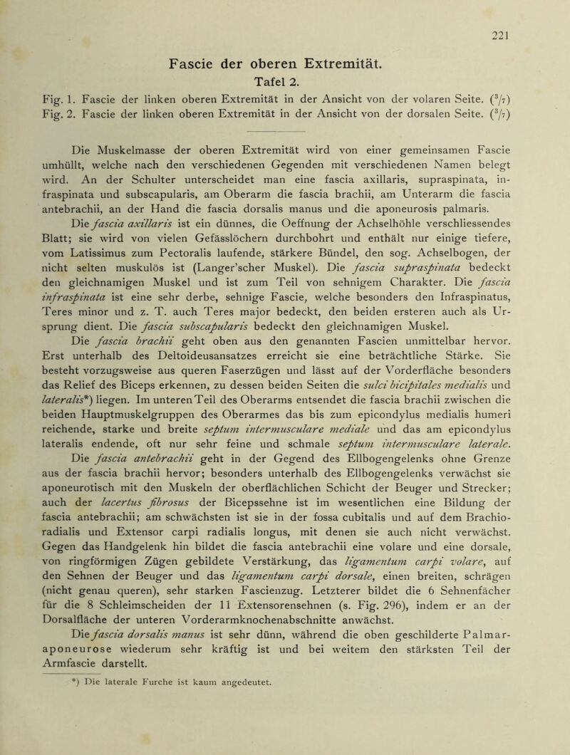 Fascie der oberen Extremität. Tafel 2. Fig. 1. Fascie der linken oberen Extremität in der Ansicht von der volaren Seite. (3/t) Fig. 2. Fascie der linken oberen Extremität in der Ansicht von der dorsalen Seite. (3/t) Die Muskelmasse der oberen Extremität wird von einer gemeinsamen Fascie umhüllt, welche nach den verschiedenen Gegenden mit verschiedenen Namen belegt wird. An der Schulter unterscheidet man eine fascia axillaris, supraspinata, in- fraspinata und subscapularis, am Oberarm die fascia brachii, am Unterarm die fascia antebrachii, an der Hand die fascia dorsalis manus und die aponeurosis palmaris. Die fascia axillaris ist ein dünnes, die Oeffnung der Achselhöhle verschliessendes Blatt; sie wird von vielen Gefässlöchern durchbohrt und enthält nur einige tiefere, vom Latissimus zum Pectoralis laufende, stärkere Bündel, den sog. Achselbogen, der nicht selten muskulös ist (Langer’scher Muskel). Die fascia supraspinata bedeckt den gleichnamigen Muskel und ist zum Teil von sehnigem Charakter. Die fascia infraspinata ist eine sehr derbe, sehnige Fascie, welche besonders den Infraspinatus, Teres minor und z. T. auch Teres major bedeckt, den beiden ersteren auch als Ur- sprung dient. Die fascia subscapularis bedeckt den gleichnamigen Muskel. Die fascia brachii geht oben aus den genannten Fascien unmittelbar hervor. Erst unterhalb des Deltoideusansatzes erreicht sie eine beträchtliche Stärke. Sie besteht vorzugsweise aus queren Faserzügen und lässt auf der Vorderfläche besonders das Relief des Biceps erkennen, zu dessen beiden Seiten die sulcibicipitales medialis und lateralis*) liegen. Im unteren Teil des Oberarms entsendet die fascia brachii zwischen die beiden Hauptmuskelgruppen des Oberarmes das bis zum epicondylus medialis humeri reichende, starke und breite septum intermusculare mediale und das am epicondylus lateralis endende, oft nur sehr feine und schmale septum intermusculare laterale. Die fascia antebrachii geht in der Gegend des Ellbogengelenks ohne Grenze aus der fascia brachii hervor; besonders unterhalb des Ellbogengelenks verwächst sie aponeurotisch mit den Muskeln der oberflächlichen Schicht der Beuger und Strecker; auch der lacertus fibrosus der Bicepssehne ist im wesentlichen eine Bildung der fascia antebrachii; am schwächsten ist sie in der fossa cubitalis und auf dem Brachio- radialis und Extensor carpi radialis longus, mit denen sie auch nicht verwächst. Gegen das Handgelenk hin bildet die fascia antebrachii eine volare und eine dorsale, von ringförmigen Zügen gebildete Verstärkung, das ligamentum carpi volare, auf den Sehnen der Beuger und das ligamentum carpi dorsale, einen breiten, schrägen (nicht genau queren), sehr starken Fascienzug. Letzterer bildet die 6 Sehnenfächer für die 8 Schleimscheiden der 11 Extensorensehnen (s. Fig. 296), indem er an der Dorsalfläche der unteren Vorderarmknochenabschnitte anwächst. Die fascia dorsalis manus ist sehr dünn, während die oben geschilderte Palmar- aponeurose wiederum sehr kräftig ist und bei weitem den stärksten Teil der Armfascie darstellt. *) Die laterale Furche ist kaum angedeutet.
