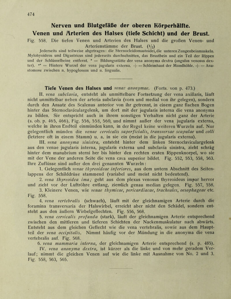 Nerven und Blutgefäße der oberen Körperhälfte. Venen und Arterien des Halses (tiefe Schicht) und der Brust. Fig. 558. Die tiefen Venen und Arterien des Halses und die großen Venen- und Arterienstämme der Brust. (1/2) Jederseits sind teilweise abgetragen: die Sternocleidomastoidei,die unteren Zungenbeinmuskeln. Mylohyoideus und Digastricus sind jederseits durchschnitten, das Brustbein und ein Teil der Rippen und der Schlüsselbeine entfernt. * = Bildungsstätte der vena anonyma dextra (angulus venosus dex- ter). ** = Hintere Wurzel der vena jugularis externa, -f- = Schleimhaut der Mundhöhle. -[-= Ana- stomose zwischen n. hypoglossus und n. lingualis. Tiefe Venen des Halses und venae anonymae. (Forts, von p. 473.) II. vena subclavia, entsteht als unmittelbare Fortsetzung der vena axillaris, läuft nicht unmittelbar neben der arteria subclavia (vorn und medial von ihr gelegen), sondern durch den Ansatz des Scalenus anterior von ihr getrennt, in einem ganz flachen Bogen hinter das Sternoclaviculargelenk, um dort mit der jugularis interna die vena anonyma zu bilden. Sie entspricht auch in ihrem sonstigen Verhalten nicht ganz der Arterie (s. ob. p. 465, 466), Fig. 556, 558, 560, und nimmt außer der vena jugularis externa, welche in ihren Endteil einmünden kann, in der Regel keine weiteren Wurzeln auf. Nur gelegentlich münden die venae cervicalis superficialis, transversae scapulae und colli (letztere oft in einem Stamm) u. a. in sie ein (meist in die jugularis externa). III. vena anonyma sinistra, entsteht hinter dem linken Sternoclaviculargelenk aus den venae jugularis interna, jugularis externa und subclavia sinistra, zieht schräg hinter dem manubrium sterni her bis hinter den rechten ersten Rippenknorpel, wo sie mit der Vene der anderen Seite die vena cava superior bildet. Fig. 552, 553, 558, 563. Ihre Zuflüsse sind außer den drei genannten Wurzeln: 1. Gelegentlich venae thyreoideae inferiores, aus dem untern Abschnitt des Seiten- lappens der Schilddrüse stammend (variabel und meist nicht bedeutend). 2. vena thyreoidea inia; geht aus dem plexus venosus thyreoideus impar hervor und zieht vor der Luftröhre entlang, ziemlich genau median gelegen. Fig. 557, 558. 3. Kleinere Venen, wie venae thymicae, pericardiacae, tracheales, oesophageae etc. Fig. 558. 4. vena vertebralis (schwach), läuft mit der gleichnamigen Arterie durch die foramina transversaria der Halswirbel, erreicht aber nicht den Schädel, sondern ent- steht aus den äußern Wirbelgeflechten. Fig. 556, 568. 5. vena cervicalis profunda (stark), läuft der gleichnamigen Arterie entsprechend zwischen den mittleren und tieferen Schichten der Nackenmuskulatur nach abwärts. Entsteht aus dem gleichen Geflecht wie die vena vertebralis, sowie aus dem Haupt- teil der vena occipitalis. Nimmt häufig vor der Mündung in die anonyma die vena vertebralis auf. Fig. 568. 6. vena mammaria interna, der gleichnamigen Arterie entsprechend (s. p. 485). IV. vena anonyma dextra, ist kürzer als die linke und von mehr geradem Ver- lauf; nimmt die gleichen Venen auf wie die linke mit Ausnahme von No. 2 und 3. Fig. 558, 563, 565.