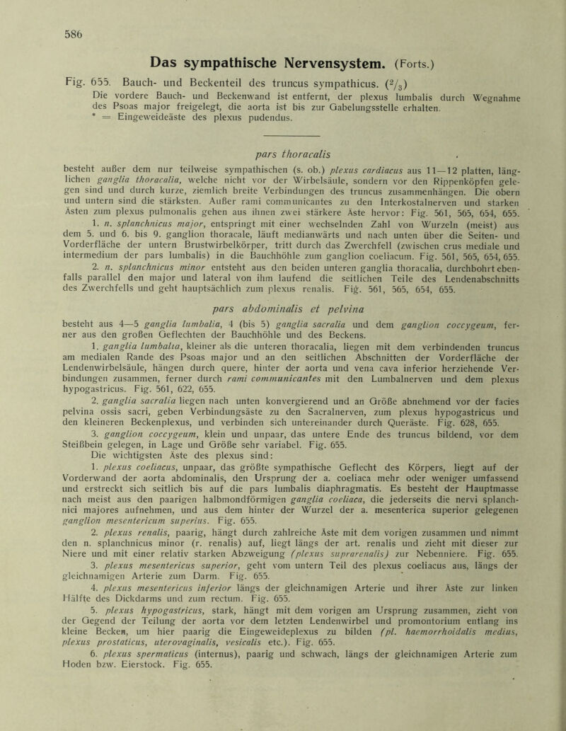 Das sympathische Nervensystem. (Forts.) Fig. 655. Bauch- und Beckenteil des truncus sympathicus. (2/3) Die vordere Bauch- und Beckenwand ist entfernt, der plexus lumbalis durch Wegnahme des Psoas major freigelegt, die aorta ist bis zur Gabelungsstelle erhalten. * = Eingeweideäste des plexus pudendus. pars thoracalis besteht außer dem nur teilweise sympathischen (s. ob.) plexus cardiacus aus 11 — 12 platten, läng- lichen ganglia thoracalia, welche nicht vor der Wirbelsäule, sondern vor den Rippenköpfen gele- gen sind und durch kurze, ziemlich breite Verbindungen des truncus Zusammenhängen. Die obern und untern sind die stärksten. Außer rami communicantes zu den Interkostalnerven und starken Ästen zum plexus pulmonalis gehen aus ihnen zwei stärkere Äste hervor: Fig. 561, 565, 654, 655. 1. n. splanchnicus major, entspringt mit einer wechselnden Zahl von Wurzeln (meist) aus dem 5. und 6. bis 9. ganglion thoracale, läuft medianwärts und nach unten über die Seiten- und Vorderfläche der untern Brustwirbelkörper, tritt durch das Zwerchfell (zwischen crus mediale und intermedium der pars lumbalis) in die Bauchhöhle zum ganglion coeliacum. Fig. 561, 565, 654,655. 2. n. splanchnicus minor entsteht aus den beiden unteren ganglia thoracalia, durchbohrt eben- falls parallel den major und lateral von ihm laufend die seitlichen Teile des Lendenabschnitts des Zwerchfells und geht hauptsächlich zum plexus renalis. Fig. 561, 565, 654, 655. pars abdominalis et pelvina besteht aus 4—5 ganglia lumbalia, 4 (bis 5) ganglia sacralia und dem ganglion coccygeum, fer- ner aus den großen Geflechten der Bauchhöhle und des Beckens. 1. ganglia lumbalia, kleiner als die unteren thoracalia, liegen mit dem verbindenden truncus am medialen Rande des Psoas major und an den seitlichen Abschnitten der Vorderfläche der Lendenwirbelsäule, hängen durch quere, hinter der aorta und vena cava inferior herziehende Ver- bindungen zusammen, ferner durch rami communicantes mit den Lumbalnerven und dem plexus hypogastricus. Fig. 561, 622, 655. 2. ganglia sacralia liegen nach unten konvergierend und an Größe abnehmend vor der facies pelvina ossis sacri, geben Verbindungsäste zu den Sacralnerven, zum plexus hypogastricus und den kleineren Beckenplexus, und verbinden sich untereinander durch Queräste. Fig. 628, 655. 3- ganglion coccygeum, klein und unpaar, das untere Ende des truncus bildend, vor dem Steißbein gelegen, in Lage und Größe sehr variabel. Fig. 655. Die wichtigsten Äste des plexus sind: 1. plexus coeliacus, unpaar, das größte sympathische Geflecht des Körpers, liegt auf der Vorderwand der aorta abdominalis, den Ursprung der a. coeliaca mehr oder weniger umfassend und erstreckt sich seitlich bis auf die pars lumbalis diaphragmatis. Es besteht der Hauptmasse nach meist aus den paarigen halbmondförmigen ganglia coeliaca, die jederseits die nervi splanch- nici majores aufnehmen, und aus dem hinter der Wurzel der a. mesenterica superior gelegenen ganglion mesentericum superius. Fig. 655. 2. plexus renalis, paarig, hängt durch zahlreiche Äste mit dem vorigen zusammen und nimmt den n. splanchnicus minor (r. renalis) auf, liegt längs der art. renalis und zieht mit dieser zur Niere und mit einer relativ starken Abzweigung (plexus suprarenalis) zur Nebenniere. Fig. 655. 3. plexus mesentericus superior, geht vom untern Teil des plexus coeliacus aus, längs der gleichnamigen Arterie zum Darm. Fig. 655. 4. plexus mesentericus inferior längs der gleichnamigen Arterie und ihrer Äste zur linken Hälfte des Dickdarms und zum rectum. Fig. 655. 5. plexus hypogastricus, stark, hängt mit dem vorigen am Ursprung zusammen, zieht von der Gegend der Teilung der aorta vor dem letzten Lendenwirbel und promontorium entlang ins kleine Becken, um hier paarig die Eingeweideplexus zu bilden (pl. haemorrhoidalis mcdius, plexus prostaticus, uterovaginalis, vesicalis etc.). Fig. 655. 6. plexus spermaticus (internus), paarig und schwach, längs der gleichnamigen Arterie zum Hoden bzw. Eierstock. Fig. 655.