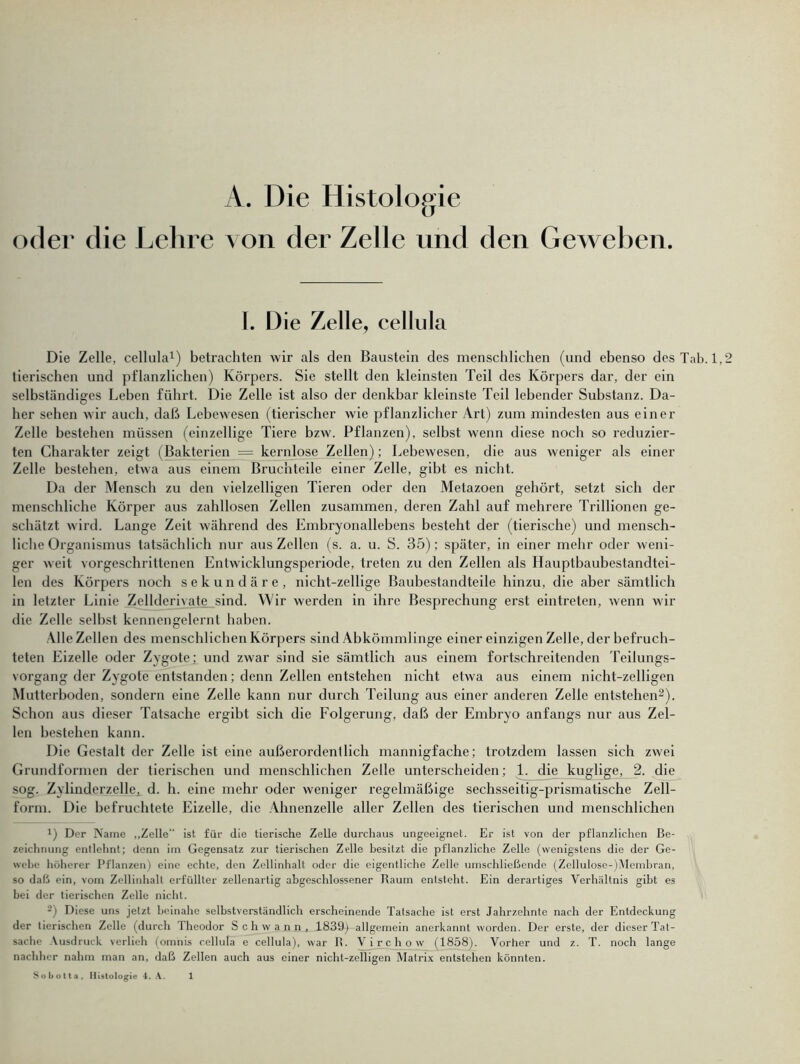 A. Die Histologie oder die Lehre von der Zelle und den Geweben. I. Die Zelle, cellula Die Zelle, cellula1) betrachten wir als den Baustein des menschlichen (und ebenso des Tab. 1,2 tierischen und pflanzlichen) Körpers. Sie stellt den kleinsten Teil des Körpers dar, der ein selbständiges Leben führt. Die Zelle ist also der denkbar kleinste Teil lebender Substanz. Da- her sehen wir auch, daß Lebewesen (tierischer wie pflanzlicher Art) zum mindesten aus einer Zelle bestehen müssen (einzellige Tiere bzw. Pflanzen), selbst wenn diese noch so reduzier- ten Charakter zeigt (Bakterien = kernlose Zellen); Lebewesen, die aus weniger als einer Zelle bestehen, etwa aus einem Bruchteile einer Zelle, gibt es nicht. Da der Mensch zu den vielzelligen Tieren oder den Metazoen gehört, setzt sich der menschliche Körper aus zahllosen Zellen zusammen, deren Zahl auf mehrere Trillionen ge- schätzt wird. Lange Zeit während des Embryonallebens besteht der (tierische) und mensch- liche Organismus tatsächlich nur aus Zellen (s. a. u. S. 35); später, in einer mehr oder weni- ger weit vorgeschrittenen Entwicklungsperiode, treten zu den Zellen als Hauptbaubestandtei- len des Körpers noch sekundäre, nicht-zeilige Baubestandteile hinzu, die aber sämtlich in letzter Linie Zellderivate sind. Wir werden in ihre Besprechung erst ein treten, wenn wir die Zelle selbst kennengelernt haben. Alle Zellen des menschlichen Körpers sind Abkömmlinge einer einzigen Zelle, der befruch- teten Eizelle oder Zygote; und zwar sind sie sämtlich aus einem fortschreitenden Teilungs- vorgang der Zygote entstanden; denn Zellen entstehen nicht etwa aus einem nicht-zeiligen Mutterboden, sondern eine Zelle kann nur durch Teilung aus einer anderen Zelle entstehen2). Schon aus dieser Tatsache ergibt sich die Folgerung, daß der Embryo anfangs nur aus Zel- len bestehen kann. Die Gestalt der Zelle ist eine außerordentlich mannigfache; trotzdem lassen sich zwei Grundformen der tierischen und menschlichen Zelle unterscheiden; 1. die kuglige,_2. die sog. Zylinderzelle, d. h. eine mehr oder weniger regelmäßige sechsseitig-prismatische Zell- form. Die befruchtete Eizelle, die Ahnenzelle aller Zellen des tierischen und menschlichen !) Der Name „Zelle ist für die tierische Zelle durchaus ungeeignet. Er ist von der pflanzlichen Be- zeichnung entlehnt; denn im Gegensatz zur tierischen Zelle besitzt die pflanzliche Zelle (wenigstens die der Ge- webe höherer Pflanzen) eine echte, den Zellinhalt oder die eigentliche Zelle umschließende (Zellulose-)Mcmbran, so daß ein, vom Zellinhalt erfüllter zellenartig abgeschlossener Raum entsteht. Ein derartiges Verhältnis gibt es bei der tierischen Zelle nicht. 2) Diese uns jetzt beinahe selbstverständlich erscheinende Tatsache ist erst Jahrzehnte nach der Entdeckung der tierischen Zelle (durch 1 heodor Schwann, 1839) allgemein anerkannt worden. Der erste, der dieser Tat- sache Ausdruck verlieh (omnis cellula e cellula), war R. Virchow (1858). Vorher und z. T. noch lange nachher nahm man an, daß Zellen auch aus einer nicht-zeiligen Matrix entstehen könnten.