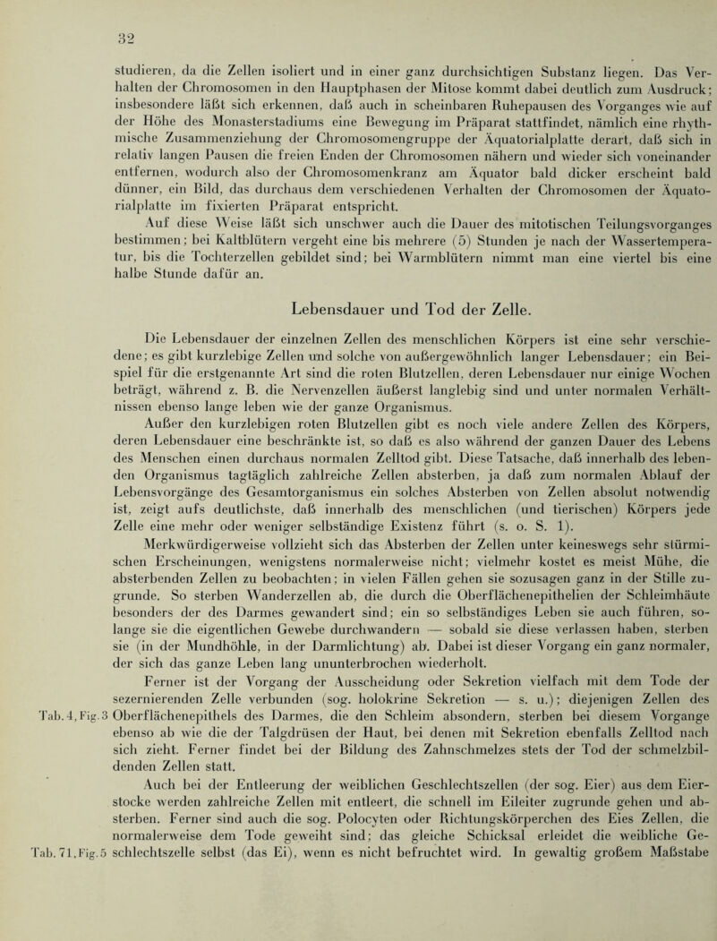 halten der Chromosomen in den Hauptphasen der Mitose kommt dabei deutlich zum Ausdruck; insbesondere läßt sich erkennen, daß auch in scheinbaren Ruhepausen des Vorganges wie auf der Höhe des Monasterstadiums eine Bewegung im Präparat stattfindet, nämlich eine rhyth- mische Zusammenziehung der Chromosomengruppe der Äquatorialplatte derart, daß sich in relativ langen Pausen die freien Enden der Chromosomen nähern und wieder sich voneinander entfernen, wodurch also der Chromosomenkranz am Äquator bald dicker erscheint bald dünner, ein Bild, das durchaus dem verschiedenen Verhalten der Chromosomen der Äquato- rialplatte im fixierten Präparat entspricht. Auf diese Weise läßt sich unschwer auch die Dauer des mitotischen Teilungsvorganges bestimmen; bei Kaltblütern vergeht eine bis mehrere (5) Stunden je nach der Wassertempera- tur, bis die Tochterzellen gebildet sind; bei Warmblütern nimmt man eine viertel bis eine halbe Stunde dafür an. Lebensdauer und Tod der Zelle. Die Lebensdauer der einzelnen Zellen des menschlichen Körpers ist eine sehr verschie- dene; es gibt kurzlebige Zellen und solche von außergewöhnlich langer Lebensdauer; ein Bei- spiel für die erstgenannte Art sind die roten Blutzellen, deren Lebensdauer nur einige Wochen beträgt, während z. B. die Nervenzellen äußerst langlebig sind und unter normalen Verhält- nissen ebenso lange leben wie der ganze Organismus. Außer den kurzlebigen roten Blutzellen gibt es noch viele andere Zellen des Körpers, deren Lebensdauer eine beschränkte ist, so daß es also während der ganzen Dauer des Lebens des Menschen einen durchaus normalen Zelltod gibt. Diese Tatsache, daß innerhalb des leben- den Organismus tagtäglich zahlreiche Zellen absterben, ja daß zum normalen Ablauf der Lebensvorgänge des Gesamtorganismus ein solches Absterben von Zellen absolut notwendig ist, zeigt aufs deutlichste, daß innerhalb des menschlichen (und tierischen) Körpers jede Zelle eine mehr oder weniger selbständige Existenz führt (s. o. S. 1). Merkwürdigerweise vollzieht sich das Absterben der Zellen unter keineswegs sehr stürmi- schen Erscheinungen, wenigstens normalerweise nicht; vielmehr kostet es meist Mühe, die absterbenden Zellen zu beobachten; in vielen Fällen gehen sie sozusagen ganz in der Stille zu- grunde. So sterben Wanderzellen ab, die durch die Oberflächenepithelien der Schleimhäute besonders der des Darmes gewandert sind; ein so selbständiges Leben sie auch führen, so- lange sie die eigentlichen Gewebe durchwandern — sobald sie diese verlassen haben, sterben sie (in der Mundhöhle, in der Darmlichtung) ab. Dabei ist dieser Vorgang ein ganz normaler, der sich das ganze Leben lang ununterbrochen wiederholt. Ferner ist der Vorgang der Ausscheidung oder Sekretion vielfach mit dem Tode der sezernierenden Zelle verbunden (sog. holokrine Sekretion — s. u.); diejenigen Zellen des Tab. 4, Fig.3 Oberflächenepithels des Darmes, die den Schleim absondern, sterben bei diesem Vorgänge ebenso ab wie die der Talgdrüsen der Haut, bei denen mit Sekretion ebenfalls Zelltod nach sich zieht. Ferner findet bei der Bildung des Zahnschmelzes stets der Tod der schmelzbil- denden Zellen statt. Auch bei der Entleerung der weiblichen Geschlechtszellen (der sog. Eier) aus dem Eier- stocke werden zahlreiche Zellen mit entleert, die schnell im Eileiter zugrunde gehen und ab- sterben. Ferner sind auch die sog. Polocyten oder Richtungskörperchen des Eies Zellen, die normalerweise dem Tode geweiht sind; das gleiche Schicksal erleidet die weibliche Ge- Tab.71,Fig.5 schlechtszelle selbst (das Ei), wenn es nicht befruchtet wird. In gewaltig großem Maßstabe