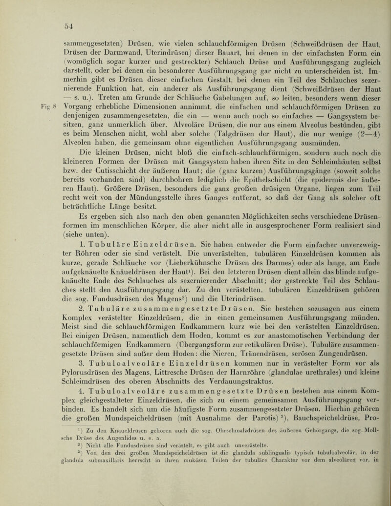 sammeijgesetzten) Drüsen, wie vielen schlauchförmigen Drüsen (Schweißdrüsen der Haut, Drüsen der Darmwand, Uterindrüsen) dieser Bauart, bei denen in der einfachsten Form ein (womöglich sogar kurzer und gestreckter) Schlauch Drüse und Ausführungsgang zugleich darstellt, oder bei denen ein besonderer Ausführungsgang gar nicht zu untei’scheiden ist. Im- merhin gibt es Drüsen dieser einfachen Gestalt, bei denen ein Teil des Schlauches sezer- nierende Funktion hat, ein anderer als Ausführungsgang dient (Schweißdrüsen der Haut — s. u.). Treten am Grunde der Schläuche Gabelungen auf, so leiten, besonders wenn dieser Fig. 8 Vorgang erhebliche Dimensionen annimmt, die einfachen und schlauchförmigen Drüsen zu denjenigen zusammengesetzten, die ein — wenn auch noch so einfaches — Gangsystem be- sitzen, ganz unmerklich über. Alveoläre Drüsen, die nur aus einem Alveolus bestünden, gibt es beim Menschen nicht, wohl aber solche (Talgdrüsen der Haut), die nur wenige (2—4) Alveolen haben, die gemeinsam ohne eigentlichen Ausführungsgang ausmünden. Die kleinen Drüsen, nicht bloß die einfach-schlauchförmigen, sondern auch noch die kleineren Formen der Drüsen mit Gangsystem haben ihren Sitz in den Schleimhäuten selbst bzw. der Cutisschicht der äußeren Haut; die (ganz kurzen) Ausführungsgänge (soweit solche bereits vorhanden sind) durchbohren lediglich die Epithelschicht (die epidermis der äuße- ren Haut). Größere Drüsen, besonders die ganz großen drüsigen Organe, liegen zum Teil recht weit von der Mündungsstelle ihres Ganges entfernt, so daß der Gang als solcher oft beträchtliche Länge besitzt. Es ergeben sich also nach den oben genannten Möglichkeiten sechs verschiedene Drüsen- formen im menschlichen Körper, die aber nicht alle in ausgesprochener Form realisiert sind (siehe unten). 1. Tubuläre Einzeldrüsen. Sie haben entweder die Form einfacher unverzweig- ter Röhren oder sie sind verästelt. Die unverästelten, tubulären Einzeldrüsen kommen als kurze, gerade Schläuche vor (Lieberkühnschc Drüsen des Darmes) oder als lange, am Ende aufgeknäuelte Knäueldrüsen der Haut1). Bei den letzteren Drüsen dient allein das blinde aufge- knäuelte Ende des Schlauches als sezernierender Abschnitt; der gestreckte Teil des Schlau- ches stellt den Ausführungsgang dar. Zu den verästelten, tubulären Einzeldrüsen gehören die sog. Fundusdrüsen des Magens2) und die Uterindrüsen. 2. Tubuläre zusammengesetzte Drüsen. Sie bestehen sozusagen aus einem Komplex verästelter Einzeldrüsen, die in einen gemeinsamen Ausführungsgang münden. Meist sind die schlauchförmigen Endkammern kurz wie bei den verästelten Einzeldrüsen. Bei einigen Drüsen, namentlich dem Hoden, kommt es zur anastomotischen Verbindung der schlauchförmigen Endkammern (Übergangsform zur retikulären Drüse). Tubuläre zusammen- gesetzte Drüsen sind außer dem Hoden: die Nieren, Tränendrüsen, serösen Zungendrüsen. 3. Tubuloalveoläre Einzeldrüsen kommen nur in verästelter Form vor als Pylorusdrüsen des Magens, Littresche Drüsen der Harnröhre (glandulae urethrales) und kleine Schleimdrüsen des oberen Abschnitts des Verdauungstraktus. 4. Tubuloalveoläre zusammengesetzte Drüsen bestehen aus einem Kom- plex gleichgestalteter Einzeldrüsen, die sich zu einem gemeinsamen Ausführungsgang ver- binden. Es handelt sich um die häufigste Form zusammengesetzter Drüsen. Hierhin gehören die großen Mundspeicheldrüsen (mit Ausnahme der Parotis) 3), Bauchspeicheldrüse, Pro- U Zu den Knäueldrüsen gehören auch die sog. Ohrschmalzdrüsen des äußeren Gehörgangs, die sog. Moll- sche Drüse des Augenlides u. e. a. 2) Nicht alle Fundusdrüsen sind verästelt, es gibt auch unverästelte. 3) Von den drei großen Mundspeicheldrüsen ist die glandula sublingualis typisch tubuloalveolär, in der glandula submaxillaris herrscht in ihren mukösen Teilen der tubuläre Charakter vor dem alveolären vor, in