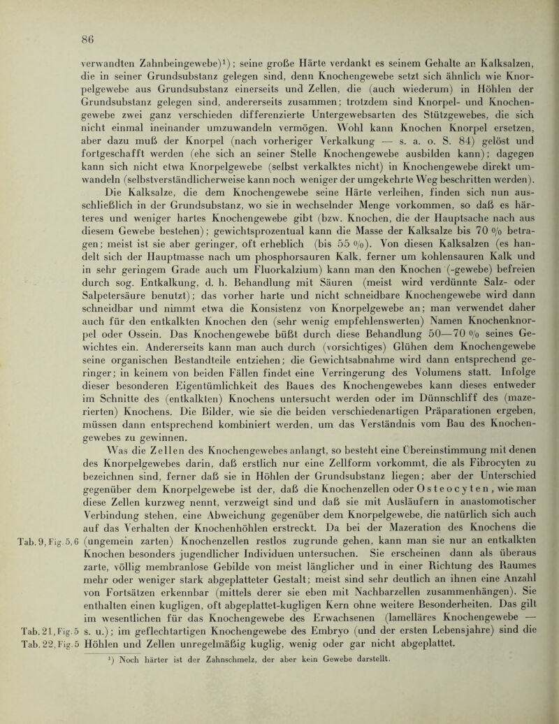 verwandten Zahnbeingewebe)1); seine große Härte verdankt es seinem Gehalte an Kalksalzen, die in seiner Grundsubstanz gelegen sind, denn Knochengewebe setzt sich ähnlich wie Knor- pelgewebe aus Grundsubstanz einerseits und Zellen, die (auch wiederum) in Höhlen der Grundsubstanz gelegen sind, andererseits zusammen; trotzdem sind Knorpel- und Knochen- gewebe zwei ganz verschieden differenzierte Untergewebsarten des Stützgewebes, die sich nicht einmal ineinander umzuwandeln vermögen. Wohl kann Knochen Knorpel ersetzen, aber dazu muß der Knorpel (nach vorheriger Verkalkung — s. a. o. S. 84) gelöst und fortgeschafft werden (ehe sich an seiner Stelle Knochengewebe ausbilden kann); dagegen kann sich nicht etwa Knorpelgewebe (selbst verkalktes nicht) in Knochengewebe direkt um- wandeln (selbstverständlicherweise kann noch weniger der umgekehrte Weg beschritten werden). Die Kalksalze, die dem Knochengewebe seine Härte verleihen, finden sich nun aus- schließlich in der Grundsubstanz, wo sie in wechselnder Menge Vorkommen, so daß es här- teres und weniger hartes Knochengewebe gibt (bzw. Knochen, die der Hauptsache nach aus diesem Gewebe bestehen); gewichtsprozentual kann die Masse der Kalksalze bis 70 o/o betra- gen; meist ist sie aber geringer, oft erheblich (bis 55 o/0). Von diesen Kalksalzen (es han- delt sich der Hauptmasse nach um phosphorsauren Kalk, ferner um kohlensauren Kalk und in sehr geringem Grade auch um Fluorkalzium) kann man den Knochen (-gewebe) befreien durch sog. Entkalkung, d. h. Behandlung mit Säuren (meist wird verdünnte Salz- oder Salpetersäure benutzt); das vorher harte und nicht schneidbare Knochengewebe wird dann schneidbar und nimmt etwa die Konsistenz von Knorpelgewebe an; man verwendet daher auch für den entkalkten Knochen den (sehr wenig empfehlenswerten) Namen Knochenknor- pel oder Ossein. Das Knochengewebe büßt durch diese Behandlung 50—70 o/0 seines Ge- wichtes ein. Andererseits kann man auch durch (vorsichtiges) Glühen dem Knochengewebe seine organischen Bestandteile entziehen; die Gewichtsabnahme wird dann entsprechend ge- ringer; in keinem von beiden Fällen findet eine Verringerung des Volumens statt. Infolge dieser besonderen Eigentümlichkeit des Baues des Knochengewebes kann dieses entweder im Schnitte des (entkalkten) Knochens untersucht werden oder im Dünnschliff des (maze- rierten) Knochens. Die Bilder, wie sie die beiden verschiedenartigen Präparationen ergeben, müssen dann entsprechend kombiniert werden, um das Verständnis vom Bau des Knochen- gewebes zu gewinnen. Was die Zellen des Knochengewebes anlangt, so besteht eine Übereinstimmung mit denen des Knorpelgewebes darin, daß erstlich nur eine Zellform vorkommt, die als Fibrocyten zu bezeichnen sind, ferner daß sie in Höhlen der Grundsubstanz liegen; aber der Unterschied gegenüber dem Knorpelgewebe ist der, daß die Knochenzellen oder Osteocyten, wie man diese Zellen kurzweg nennt, verzweigt sind und daß sie mit Ausläufern in anastomotischer Verbindung stehen, eine Abweichung gegenüber dem Knorpelgewebe, die natürlich sich auch auf das Verhalten der Knochenhöhlen erstreckt. Da bei der Mazeration des Knochens die Tab.9,Fig.5,6 (ungemein zarten) Knochenzellen restlos zugrunde gehen, kann man sie nur an entkalkten Knochen besonders jugendlicher Individuen untersuchen. Sie erscheinen dann als überaus zarte, völlig membranlose Gebilde von meist länglicher und in einer Bichtung des Raumes mehr oder weniger stark abgeplatteter Gestalt; meist sind sehr deutlich an ihnen eine Anzahl von Fortsätzen erkennbar (mittels derer sie eben mit Nachbarzellen Zusammenhängen). Sie enthalten einen kugligen, oft abgeplattet-kugligen Kern ohne weitere Besonderheiten. Das gilt im wesentlichen für das Knochengewebe des Erwachsenen (lamelläres Knochengewebe — Tab. 21,Fig.5 s. u.); im geflechtartigen Knochengewebe des Embryo (und der ersten Lebensjahre) sind die Tab.22.Fig.5 Höhlen und Zellen unregelmäßig kuglig, wenig oder gar nicht abgeplattet. 1) Noch härter ist der Zahnschmelz, der aber kein Gewebe darstellt.