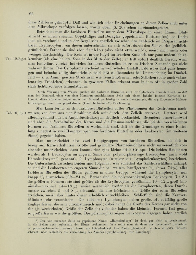 diese Zellform geknüpft. Daß und wie sich beide Erscheinungen an diesen Zellen auch unter dem Mikroskope verfolgen lassen, wurde oben (S. 20) schon auseinandergesetzt. Betrachtet man die farblosen Blutzellen unter dem Mikroskope in einer dünnen Blut- schicht (in einem zwischen Objektträger und Deckglas gequetschten Blutstropfen), so findet man sie vereinzelt und in der Begel sehr spärlich zwischen den zahlreich im Präparat sicht- baren Erythrocyten; von diesen unterscheiden sie sich sofort durch den Mangel der (gelblich- grünlichen) Farbe; sie sind eben farblos (also nicht etwa weiß!), meist auch mehr oder weniger durchsichtig. Der Kern ist in der Regel im frischen Zustande nur ganz undeutlich er- Tab. 10,Fig.2 kennbar (als eine hellere Zone in der Mitte der Zelle); er tritt sofort deutlich hervor, wenn man Essigsäure zusetzt; bei vielen farblosen Blutzellen ist er im frischen Zustande gar nicht wahrzunehmen. Das Cytoplasma erscheint in wechselnder Gestalt; bald ist es fast ganz homo- gen und beinahe völlig durchsichtig, bald läßt es (besonders bei Untersuchung im Dunkel- feld — s. u. Anm.) gewisse Strukturen wie feinste Körnchen oder Stäbchen (oder auch vakuo- lenartige Tröpfchen) erkennen, in gewissen Fällen erkennt man in ihm oft in großer Zahl stark lichtbrechende Granulationen. Durch Wirkung von Wasser quellen die farblosen Blutzellen auf; ihr Cytoplasma verändert sich, so daß man den Eindruck einer von einer Membran umschlossenen Zelle mit einem Inhalte feinster Körnchen be- kommt; diese Körnchen zeigen unter dem Mikroskope häufig tanzende Bewegungen, die sog. Brownsche Moleku- larbewegung, eine rein physikalische (keine biologische!!) Erscheinung. Man kann ferner an den farblosen Blutzellen außer Plastosomcn das Centrosoma nach- Tab. 10, Fig. 4 weisen, von dem aus eine Strahlung sich weit durch den Zelleib erstreckt. Letztere wird allerdings meist nur bei Amphibienleukocyten deutlich beobachtet. Besonders bemerkenswert sind aber die Verhältnisse des Kerns und die Plasmaeinschlüsse, die bei den verschiedenen Formen von farblosen Blutzellcn so wechselnde sind, daß sie die Grundlage zu einer Eintei- lung zunächst in zwei Hauptgruppen von farblosen Blutzellen oder Leukocyten (im weiteren Sinne) gegeben haben. Man unterscheidet also zwei Hauptgruppen von farblosen Blutzellen, die sich in bezug auf Kernverhältnisse, Größe und granuläre Plasmaeinschlüsse nicht unwesentlich von- einander unterscheiden; dazu kommt eine ganz kleine dritte Gruppe. Die beiden Hauptarten werden als 1. Leukocyten im engeren Sinne oder polymorphkernige Leukocyten (auch wohl Hämoleukocyten1 *) genannt), 2. Lymphocyten (weniger gut: Lympholeukocyten) bezeichnet. Die Unterschiede zwischen beiden sind folgende: was zunächst das Zahlenverhältnis anlangt, so sind die Leukocyten im engeren Sinne die bei weitem häufigeren; 3/4 (etwa 74o/o) aller farblosen Blutzellen des Blutes gehören in diese Gruppe, während die Lymphocyten nur knapp x/4 ausmachen (22—24 o/o). Ferner sind die polymorphkernigen Leukocyten (i. e. S.) die größeren Formen; sie sind größer als die Erythrocyten, gewöhnlich 10—12 p groß (mi- nimal—maximal 14—18 p), meist wesentlich größer als die Lymphocyten, deren Durch- messer zwischen 5 und 8 p schwankt, die also höchstens die Größe der roten Blutzellen erreichen, meist aber hinter dieser erheblich Zurückbleiben. Schließlich sind die Kernver- hältnisse sehr verschieden. Die (kleinen) Lymphocyten haben große, oft auffällig große kuglige Kerne, die sehr chromatinreich sind; dabei hängt die Größe des Kernes gar nicht von der (ja wechselnden) Größe der Zelle ah; vielmehr haben die kleinsten Formen fast genau so große Kerne wie die größten. Die polymorphkernigen Leukocyten dagegen haben erstlich 1) Der von mancher Seite so gepriesene Name: „Ilümoleukocyt“ ist doch gar nicht so bezeichnend, da die Zellen auch außerhalb des Blutes Vorkommen. Wie sollte man sie denn dort benennen? Jedenfalls ist polymorphkerniger Leukocyt besser als Ilämoleukocyt. Der Name „Leukocyt ist eben in jeder Hinsicht schlecht; noch schlechter die Verwendung des Namens Lympholeukocyt für Lymphocyt.