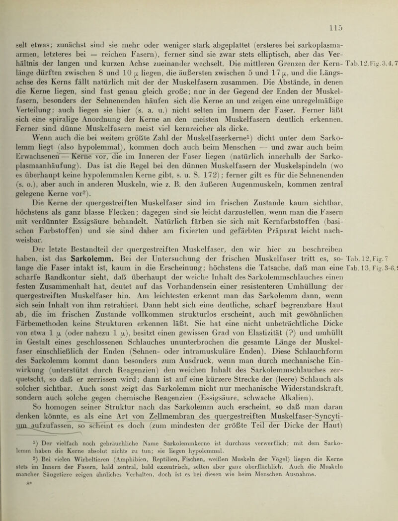 seit etwas; zunächst sind sie mehr oder weniger stark abgeplattet (ersteres bei sarkoplasma- armen, letzteres bei = reichen Fasern), ferner sind sie zwar stets elliptisch, aber das Ver- hältnis der langen und kurzen Achse zueinander wechselt. Die mittleren Grenzen der Kern- Tab. 12.Fig.3.4,7 länge dürften zwischen 8 und 10 p liegen, die äußersten zwischen 5 und 17 p, und die Längs- achse des Kerns fällt natürlich mit der der Muskelfasern zusammen. Die Abstände, in denen die Kerne liegen, sind fast genau gleich große; nur in der Gegend der Enden der Muskel- fasern, besonders der Sehnenenden häufen sich die Kerne an und zeigen eine unregelmäßige Verteilung; auch liegen sie hier (s. a. u.) nicht selten im Innern der Faser. Ferner läßt sich eine spiralige Anordnung der Kerne an den meisten Muskelfasern deutlich erkennen. Ferner sind dünne Muskelfasern meist viel kernreicher als dicke. Wenn auch die bei weitem größte Zahl der Muskelfaserkerne1) dicht unter dem Sarko- lemm liegt (also hypolemmal), kommen doch auch beim Menschen — und zwar auch beim Erwachsenen-— Kerne” vor, die im Inneren der Faser liegen (natürlich innerhalb der Sarko- plasmaanhäufung). Das ist die Regel bei den dünnen Muskelfasern der Muskelspindeln (wo es überhaupt keine hypolemmalen Kerne gibt, s. u. S. 172); ferner gilt es für die Sehnenenden (s. o.), aber auch in anderen Muskeln, wie z. B. den äußeren Augenmuskeln, kommen zentral gelegene Kerne vor2). Die Kerne der quergestreiften Muskelfaser sind im frischen Zustande kaum sichtbar, höchstens als ganz blasse Flecken; dagegen sind sie leicht darzustellen, wenn man die Fasern mit verdünnter Essigsäure behandelt. Natürlich färben sie sich mit Kernfarbstoffen (basi- schen Farbstoffen) und sie sind daher am fixierten und gefärbten Präparat leicht nach- weisbar. Der letzte Bestandteil der quergestreiften Muskelfaser, den wir hier zu beschreiben haben, ist das Sarkolemm. Bei der Untersuchung der frischen Muskelfaser tritt es, so-Tab. 12, Fi  lange die Faser intakt ist, kaum in die Erscheinung; höchstens die Tatsache, daß man eine Tab. 13.Fi scharfe Bandkontur sieht, daß überhaupt der weiche Inhalt des Sarkolemmschlauches einen festen Zusammenhalt hat, deutet auf das Vorhandensein einer resistenteren Umhüllung der quergestreiften Muskelfaser hin. Am leichtesten erkennt man das Sarkolemm dann, wenn sich sein Inhalt von ihm retrahiert. Dann hebt sich eine deutliche, scharf begrenzbare Haut ab, die im frischen Zustande vollkommen strukturlos erscheint, auch mit gewöhnlichen Färbemethoden keine Strukturen erkennen läßt. Sie hat eine nicht unbeträchtliche Dicke von etwa 1 p (oder nahezu 1 p), besitzt einen gewissen Grad von Elastizität (?) und umhüllt in Gestalt eines geschlossenen Schlauches ununterbrochen die gesamte Länge der Muskel- faser einschließlich der Enden (Sehnen- oder intramuskuläre Enden). Diese Schlauchform des Sarkolemm kommt dann besonders zum Ausdruck, wenn man durch mechanische Ein- wirkung (unterstützt durch Reagenzien) den weichen Inhalt des Sarkolemmschlauches zer- quetscht, so daß er zerrissen wird; dann ist auf eine kürzere Strecke der (leere) Schlauch als solcher sichtbar. Auch sonst zeigt das Sarkolemm nicht nur mechanische Widerstandskraft, sondern auch solche gegen chemische Reagenzien (Essigsäure, schwache Alkalien). So homogen seiner Struktur nach das Sarkolemm auch erscheint, so daß man daran denken könnte, es als eine Art von Zellmembran des quergestreiften Muskelfaser-Syncyti- _aufzufassen, so scheint es doch (zum mindesten der größte Teil der Dicke der Haut) x) Der vielfach noch gebräuchliche Name Sarkolemmkerne ist durchaus verwerflich; mit dem Sarko- lemm haben die Kerne absolut nichts zu tun; sie liegen hypolemmal. 2) Bei vielen Wirbeltieren (Amphibien, Reptilien, Fischen, weißen Muskeln der Vögel) liegen die Kerne stets im Innern der Fasern, bald zentral, bald exzentrisch, selten aber ganz oberflächlich. Auch die Muskeln mancher Säugetiere zeigen ähnliches Verhalten, doch ist es bei diesen wie beim Menschen Ausnahme. 8* bo bo