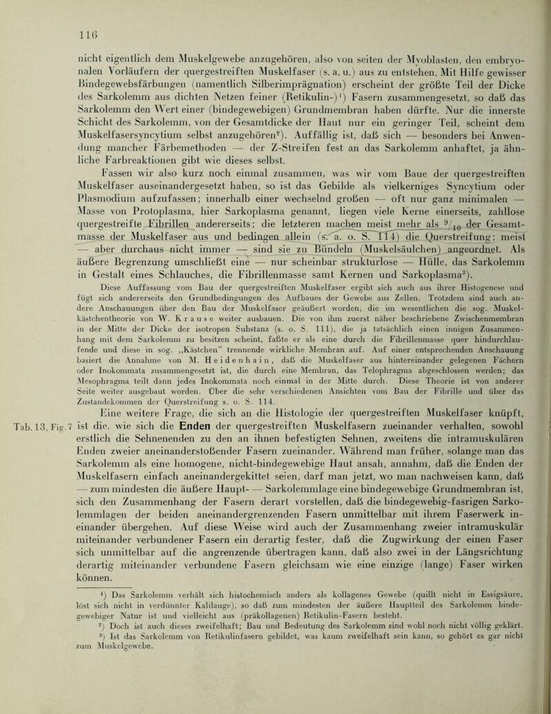 nicht eigentlich dem Muskelgewebe anzugehören, also von seiten der Myoblasten, den embryo- nalen Vorläufern der quergestreiften Muskelfaser (s. a. u.) aus zu entstehen. Mit Hilfe gewisser Bindegewebsfärbungen (namentlich Silberimprägnation) erscheint der größte Teil der Dicke des Sarkolemm aus dichten Netzen feiner (Retikulin-)1) Fasern zusammengesetzt, so daß das Sarkolemm den Wert einer (bindegewebigen) Grundmembran haben dürfte. Nur die innerste Schicht des Sarkolemm, von der Gesamtdicke der Haut nur ein geringer Teil, scheint dem Muskelfasersyncytium selbst anzugehören2). Auffällig ist, daß sich — besonders bei Anwen- dung mancher Färbemethoden — der Z-Streifen fest an das Sarkolemm anhaftet, ja ähn- liche Farbreaktionen gibt wie dieses selbst. Fassen wir also kurz noch einmal zusammen, was wir vom Baue der quergestreiften Muskelfaser auseinandergesetzt haben, so ist das Gebilde als vielkerniges Syncytium oder Plasmodium aufzufassen; innerhalb einer wechselnd großen — oft nur ganz minimalen — Masse von Protoplasma, hier Sarkoplasma genannt, liegen viele Kerne einerseits, zahllose quergestreifte Fibrillen andererseits; die letzteren machen meist mehr als 9/10 der Gesamt- masse der Muskelfaser aus und bedingen allein (s. a. o. S. 114) die Querstreifung; meist — aber durchaus nicht immer — sind sie zu Bündeln (Muskelsäulchen) angeordnet. Als äußere Begrenzung umschließt eine -—- nur scheinbar strukturlose — Hülle, das Sarkolemm in Gestalt eines Schlauches, die Fibrillenmasse samt Kernen und Sarkoplasma3). Diese Auffassung vom Bau der quergestreiften Muskelfaser ergibt sich auch aus ihrer Histogencse und fügt sich andererseits den Grundbedingungen des Aufbaues der Gewebe aus Zellen. Trotzdem sind auch an- dere Anschauungen über den Bau der Muskelfaser geäußert worden, die im wesentlichen die sog. Muskel- kästchentheorie von W. Krause weiter ausbauen. Die von ihm zuerst näher beschriebene Zwischenmembran in der Mitte der Dicke der isotropen Substanz (s. o. S. 111), die ja tatsächlich einen innigen Zusammen- hang mit dem Sarkolemm zu besitzen scheint, faßte er als eine durch die Fibrillenmasse quer hindurchlau- fende und diese in sog. „Kästchen“ trennende wirkliche Membran auf. Auf einer entsprechenden Anschauung basiert die Annahme von M. Heidenhain, daß die Muskelfaser aus hintereinander gelegenen Fächern oder Inokommata zusammengesetzt ist, die durch eine Membran, das Telophragma abgeschlossen werden; das Mesophragma teilt dann jedes Inokommata noch einmal in der Mitte durch. Diese Theorie ist von anderer Seite weiter ausgebaut worden. Über die sehr verschiedenen Ansichten vom Bau der Fibrille und über das Zustandekommen der Querstreifung s. o. S. 114. Eine weitere Frage, die sich an die Histologie der quergestreiften Muskelfaser knüpft, Tab. 13, Fig. 7 ist die. wie sich die Enden der quergestreiften Muskelfasern zueinander verhalten, sowohl erstlich die Sehnenenden zu den an ihnen befestigten Sehnen, zweitens die intramuskulären Enden zweier aneinanderstoßender Fasern zueinander. Während man früher, solange man das Sarkolemm als eine homogene, nicht-bindegewebige Haut ansah, annahm, daß die Enden der Muskelfasern einfach aneinandergekittet seien, darf man jetzt, wo man nachweisen kann, daß — zum mindesten die äußere Haupt Sarkolemmlage eine bindegewebige Grundmembran ist, sich den Zusammenhang der Fasern derart vorstellen, daß die bindegewebig-fasrigen Sarko- lemmlagen der beiden aneinandergrenzenden Fasern unmittelbar mit ihrem Faserwerk in- einander übergehen. Auf diese Weise wird auch der Zusammenhang zweier intramuskulär miteinander verbundener Fasern ein derartig fester, daß die Zugwirkung der einen Faser sich unmittelbar auf die angrenzende übertragen kann, daß also zwei in der Längsrichtung derartig miteinander verbundene Fasern gleichsam wie eine einzige (lange) Faser wirken können. *) Das Sarkolemm verhält sich histochemisch anders als kollagenes Gewebe (quillt nicht in Essigsäure, löst sich nicht in verdünnter Kalilauge), so daß zum mindesten der äußere Hauptteil des Sarkolemm binde- gewebiger Natur ist und vielleicht aus (präkollagenen) Retikulin-Fasern besteht. 2) Doch ist auch dieses zweifelhaft; Bau und Bedeutung des Sarkolemm sind wohl noch nicht völlig geklärt. *) Ist das Sarkolemm von Retikulinfasern gebildet, was kaum zweifelhaft sein kann, so gehört es gar nicht zum Muskelgewebe.