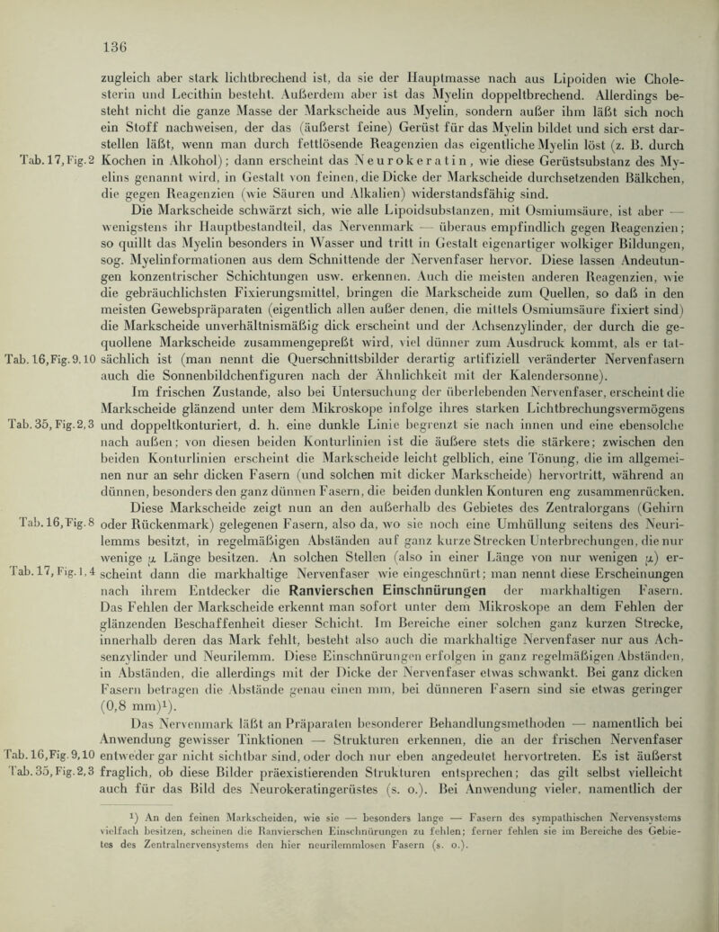 zugleich aber stark lichtbrechend ist, da sie der Hauptmasse nach aus Lipoiden wie Chole- sterin und Lecithin besteht. Außerdem aber ist das Myelin doppeltbrechend. Allerdings be- steht nicht die ganze Masse der Markscheide aus Myelin, sondern außer ihm läßt sich noch ein Stoff nachweisen, der das (äußerst feine) Gerüst für das Myelin bildet und sich erst dar- stellen läßt, wenn man durch fettlösende Reagenzien das eigentliche Myelin löst (z. B. durch Tab. 17,Fig.2 Kochen in Alkohol); dann erscheint das Neurokeratin, wie diese Gerüstsubstanz des My- elins genannt wird, in Gestalt von feinen, die Dicke der Markscheide durchsetzenden ßälkchen, die gegen Reagenzien (wie Säuren und Alkalien) widerstandsfähig sind. Die Markscheide schwärzt sich, wie alle Lipoidsubstanzen, mit Osmiumsäure, ist aber — wenigstens ihr Hauptbestandteil, das Nervenmark — überaus empfindlich gegen Reagenzien; so quillt das Myelin besonders in Wasser und tritt in Gestalt eigenartiger wolkiger Bildungen, sog. Myelinformationen aus dem Schnittende der Nervenfaser hervor. Diese lassen Andeutun- gen konzentrischer Schichtungen usw. erkennen. Auch die meisten anderen Reagenzien, wie die gebräuchlichsten Fi vierungsmittel, bringen die Markscheide zum Quellen, so daß in den meisten Gewebspräparaten (eigentlich allen außer denen, die mittels Osmiumsäure fixiert sindi die Markscheide unverhältnismäßig dick erscheint und der Achsenzylinder, der durch die ge- quollene Markscheide zusammengepreßt wird, viel dünner zum Ausdruck kommt, als er tat- Tab. 16,Fig. 9.10 sächlich ist (man nennt die Querschnittsbilder derartig artifiziell veränderter Nervenfasern auch die Sonnenbildchenfiguren nach der Ähnlichkeit mit der Kalendersonne). Im frischen Zustande, also bei Untersuchung der überlebenden Nervenfaser, erscheint die Markscheide glänzend unter dem Mikroskope infolge ihres starken Lichtbrechungsvermögens Tab. 35, Fig.2,3 und doppeltkonturiert, d. h. eine dunkle Linie begrenzt sie nach innen und eine ebensolche nach außen; von diesen beiden Konturlinien ist die äußere stets die stärkere; zwischen den beiden Konturlinien erscheint die Markscheide leicht gelblich, eine Tönung, die im allgemei- nen nur an sehr dicken Fasern (und solchen mit dicker Markscheide) hervortritt, während an dünnen, besonders den ganz dünnen Fasern, die beiden dunklen Konturen eng zusammenrücken. Diese Markscheide zeigt nun an den außerhalb des Gebietes des Zentralorgans (Gehirn Tab. 16,Fig. 8 oc[er Rückenmark) gelegenen Fasern, also da, wo sie noch eine Umhüllung seitens des Neuri- lemms besitzt, in regelmäßigen Abständen auf ganz kurze Strecken Unterbrechungen, die nur wenige a Länge besitzen. An solchen Stellen (also in einer Länge von nur wenigen p) er- lab. 17, Fig. 1,4 scheint dann die markhaltige Nervenfaser Avie eingeschnürt; man nennt diese Erscheinungen nach ihrem Entdecker die Ranvierschen Einschnürungen der markhaltigen Fasern. Das Fehlen der Markscheide erkennt man sofort unter dem Mikroskope an dem Fehlen der glänzenden Beschaffenheit dieser Schicht. Im Bereiche einer solchen ganz kurzen Strecke, innerhalb deren das Mark fehlt, besteht also auch die markhaltige Nervenfaser nur aus Ach- senzylinder und Neurilemm. Diese Einschnürungen erfolgen in ganz regelmäßigen Abständen, in Abständen, die allerdings mit der Dicke der Nervenfaser etwas schwankt. Bei ganz dicken Fasern betragen die Abstände genau einen mm, bei dünneren Fasern sind sie etwas geringer (0,8 mm)1). Das Nervenmark läßt an Präparaten besonderer Behandlungsmethoden — namentlich bei Anwendung gewisser Tinktionen — Strukturen erkennen, die an der frischen Nervenfaser fab. 16,Fig. 9,10 entweder gar nicht sichtbar sind, oder doch nur eben angedeulet liervorlreten. Es ist äußerst Tab.35,Fig.2,3 fraglich, ob diese Bilder pi’äexistierenden Strukturen entsprechen; das gilt selbst vielleicht auch für das Bild des Neurokeratingerüstes (s. o.). Bei Amvendung vieler, namentlich der *) An den feinen Markscheiden, wie sie — besonders lange — Fasern des sympathischen Nervensystems vielfach besitzen, scheinen die Ranvierschen Einschnürungen zu fehlen; ferner fehlen sie im Bereiche des Gebie- tes des Zentralnervensystems den hier neurilemmlosen Fasern (s. o.).