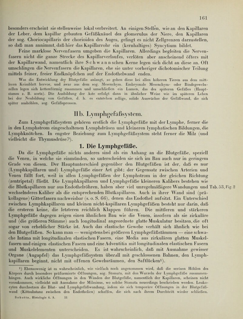 besonders erscheint sie stellenweise lokal verbreitert. An einigen Stellen, wie an den Kapillaren der Leber, dem kapillar gebauten Gefäßknäuel des glomerulus der Niere, den Kapillaren der sog. Choriocapillaris der chorioidea des Auges, gelingt es nicht Zellgrenzen darzustellen, so daß man annimmt, daß hier das Kapillarrohr ein (kernhaltiges) Syncytium bildet. Feine marklose Nervenfasern umgeben die Kapillaren. Allerdings begleiten die Nerven- fasern nicht die ganze Strecke des Kapillarverlaufes, verlöten aber anscheinend öfters mit der Kapillarwand, namentlich ihre Sch wann sehen Kerne legen sich dicht an diese an. Oft umschlingen die Nervenfasern die Kapillaren, ehe sie unter vorheriger dichotomischer Teilung mittels feiner, freier Endknöpfchen auf der Endothelwand enden. Was die Entwicklung der Blutgefäße anlangt, so gehen diese bei allen höheren Tieren aus dem mitt- leren Keimblatt hervor, und zwar aus dem sog. Mesenchym. Embryonale Mesenchym- oder Bindegewebs- zellen legen sich kettenförmig zusammen und umschließen ein Lumen, das des späteren Gefäßes (Haupt- stamm z. B. aorta). Die Ausbildung der Äste erfolgt dann in ähnlicher Weise wie im späteren Leben bei der Neubildung von Gefäßen, d. h. es entstehen zellige, solide Auswüchse der Gefäßwand, die sich später aushöhlen, sog. Gefäßsprossen. II b. Lymphgefäßsystem. Zum Lymphgefäßsystem gehören erstlich die Lymphgefäße mit der Lymphe, ferner die in den Lymphstrom eingeschaltenen Lymphdrüsen und kleineren lymphatischen Bildungen, die Lymphknötchen. In engster Beziehung zum Lymphgefäßsystem steht ferner die Milz (und vielleicht die Thymusdrüse?). 1. Die Lymphgefäße. Da die Lymphgefäße nichts anderes sind als ein Anhang an die Blutgefäße, speziell die Venen, in welche sie einmünden, so unterscheiden sie sich im Bau auch nur in geringem Grade von diesen. Der Hauptunterschied gegenüber den Blutgefäßen ist der, daß es nur (Lymphkapillaren und) Lymphgefäße einer Art gibt; der Gegensatz zwischen Arterien und Venen fällt fort, weil in allen Lymphgefäßen der Lymphstrom in der gleichen Bichtung (zentripetal) fließt. Die Lymphkapillaren und Lymphgefäße kleineren Kalibers bestehen wie die Blutkapillaren nur aus Endothelröhren, haben aber viel unregelmäßigere Wandungen und Tab. 53, Fig.2 wechselnderes Kaliber als die entsprechenden Blutkapillaren. Auch in ihrer Wand sind (prä- kollagene) Gitterfasern nachweisbar (s. o. S. 66), denen das Endothel aufsitzt. Ein Unterschied zwischen Lymphkapillaren und kleinen nicht-kapillaren Lymphgefäßen besteht nur darin, daß die ersteren keine, die letzteren reichlich Klappen führen. Die mittleren und stärkeren Lymphgefäße dagegen zeigen einen ähnlichen Bau wie die Venen, insofern als sie zirkuläre und (die größeren Stämme) auch longitudinal angeordnete glatte Muskulatur besitzen, die oft sogar von erheblicher Stärke ist. Auch das elastische Gewebe verhält sich ähnlich wie bei den Blutgefäßen. So kann man — wenigstens bei größeren Lymphgefäßstämmen — eine schwa- che Intima mit longitudinalen elastischen Fasern, eine Media aus zirkulären glatten Muskel- fasern und einigen elastischen Fasern und eine Adventitia mit longitudinalen elastischen Fasern und Muskelelementen unterscheiden. Es ist wahrscheinlich, daß mit Ausnahme gewisser Organe (Augapfel) das Lymphgefäßsystem überall mit geschlossenen Bahnen, den Lymph- kapillaren beginnt, nicht mit offenen Gewebsräumen, den Saftlücken1). 1) Ebensowenig ist es wahrscheinlich, wie vielfach noch angenommen wird, daß die serösen Höhlen des Körpers durch besondere präformierte Öffnungen, sog. Stomata, mit den Wurzeln der Lymphgefäße Zusammen- hängen. Auch wirkliche Öffnungen in den Wänden der Blutgefäße, namentlich der Kapillaren, scheinen nicht vorzukommen, vielleicht mit Ausnahme der Milzsinus, wo solche Stomata neuerdings beschrieben werden. Leuko- cyten durchsetzen die Blut- und Lymphgefäßwandung, indem sie sich temporäre Öffnungen in der Blutgefäß- wand (Kittsubstanz zwischen den Endothelien) schaffen, die sich nach ihrem Durchtritt wieder schließen. Sobotta , Histologie 4. A. 11