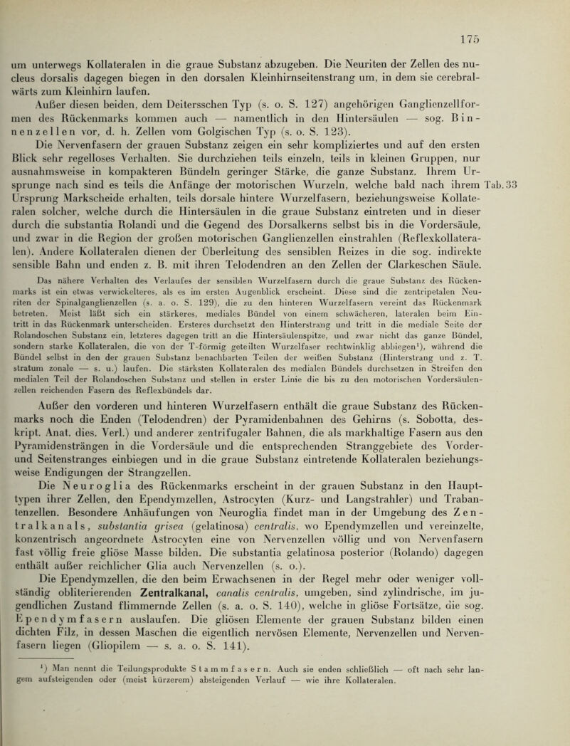 um unterwegs Kollateralen in die graue Substanz abzugeben. Die Neuriten der Zellen des nu- cleus dorsalis dagegen biegen in den dorsalen Kleinhirnseitenstrang um, in dem sie cerebral- wärts zum Kleinhirn laufen. Außer diesen beiden, dem Deitersschen Typ (s. o. S. 127) angehörigen Ganglienzellfor- men des Rückenmarks kommen auch — namentlich in den Hintersäulen — sog. Bin- nenzellen vor, d. h. Zellen vom Golgischen Typ (s. o. S. 123). Die Nervenfasern der grauen Substanz zeigen ein sehr kompliziertes und auf den ersten Blick sehr regelloses Verhalten. Sie durchziehen teils einzeln, teils in kleinen Gruppen, nur ausnahmsweise in kompakteren Bündeln geringer Stärke, die ganze Substanz. Ihrem Ur- sprünge nach sind es teils die Anfänge der motorischen Wurzeln, welche bald nach ihrem Tab. 33 Ursprung Markscheide erhalten, teils dorsale hintere Wurzelfasern, beziehungsweise Kollate- ralen solcher, welche durch die Hintersäulen in die graue Substanz eintreten und in dieser durch die substantia Rolandi und die Gegend des Dorsalkerns selbst bis in die Vordersäule, und zwar in die Region der großen motorischen Ganglienzellen einstrahlen (Reflexkollatera- len). Andere Kollateralen dienen der Überleitung des sensiblen Reizes in die sog. indirekte sensible Bahn und enden z. B. mit ihren Telodendren an den Zellen der Clarkeschen Säule. Das nähere Verhalten des Verlaufes der sensiblen Wurzelfasern durch die graue Substanz des Rücken- marks ist ein etwas verwickelteres, als es im ersten Augenblick erscheint. Diese sind die zentripetalen Neu- riten der Spinalganglienzellen (s. a. o. S. 129), die zu den hinteren Wurzelfasern vereint das Rückenmark betreten. Meist läßt sich ein stärkeres, mediales Bündel von einem schwächeren, lateralen beim Ein- tritt in das Rückenmark unterscheiden. Ersteres durchsetzt den Hinterstratig und tritt in die mediale Seite der Rolandoschen Substanz ein, letzteres dagegen tritt an die Hintersäulenspitze, und zwar nicht das ganze Bündel, sondern starke Kollateralen, die von der T-förmig geteilten Wurzelfaser rechtwinklig abbiegen1), während die Bündel selbst in den der grauen Substanz benachbarten Teilen der weißen Substanz (Hinterstrang und z. T. stratum zonale — s. u.) laufen. Die stärksten Kollateralen des medialen Bündels durchsetzen in Streifen den medialen Teil der Rolandoschen Substanz und stellen in erster Linie die bis zu den motorischen Vordersäulen- zellen reichenden Fasern des Reflexbündels dar. Außer den vorderen und hinteren Wurzelfasern enthält die graue Substanz des Rücken- marks noch die Enden (Telodendren) der Pyramidenbahnen des Gehirns (s. Sobotta, des- kript. Anat. dies. Verl.) und anderer zentrifugaler Bahnen, die als markhaltige Fasern aus den Pyramidensträngen in die Vordersäule und die entsprechenden Stranggebiete des Vorder- und Seitenstranges einbiegen und in die graue Substanz eintretende Kollateralen beziehungs- weise Endigungen der Strangzellen. Die Neuroglia des Rückenmarks erscheint in der grauen Substanz in den Haupt- typen ihrer Zellen, den Ependymzellen, Astrocyten (Kurz- und Langstrahler) und Traban- tenzellen. Besondere Anhäufungen von Neuroglia findet man in der Umgebung des Zen- tralkanals, substantia grisea (gelatinosa) centralis, wo Ependymzellen und vereinzelte, konzentrisch angeordnete Astrocyten eine von Nervenzellen völlig und von Nervenfasern fast völlig freie gliöse Masse bilden. Die substantia gelatinosa posterior (Rolando) dagegen enthält außer reichlicher Glia auch Nervenzellen (s. o.). Die Ependymzellen, die den beim Erwachsenen in der Regel mehr oder weniger voll- ständig obliterierenden Zentralkanal, canalis centralis, umgeben, sind zylindrische, im ju- gendlichen Zustand flimmernde Zellen (s. a. o. S. 140), welche in gliöse Fortsätze, die sog. Epcndymfasern auslaufen. Die gliösen Elemente der grauen Substanz bilden einen dichten Filz, in dessen Maschen die eigentlich nervösen Elemente, Nervenzellen und Nerven- fasern liegen (Gliopilem — s. a. o. S. 141). *) Man nennt die Teilungsprodukte Stammfasern. Auch sie enden schließlich — oft nach sehr lan- gem aufsteigenden oder (meist kürzerem) absteigenden Verlauf — wie ihre Kollateralen.