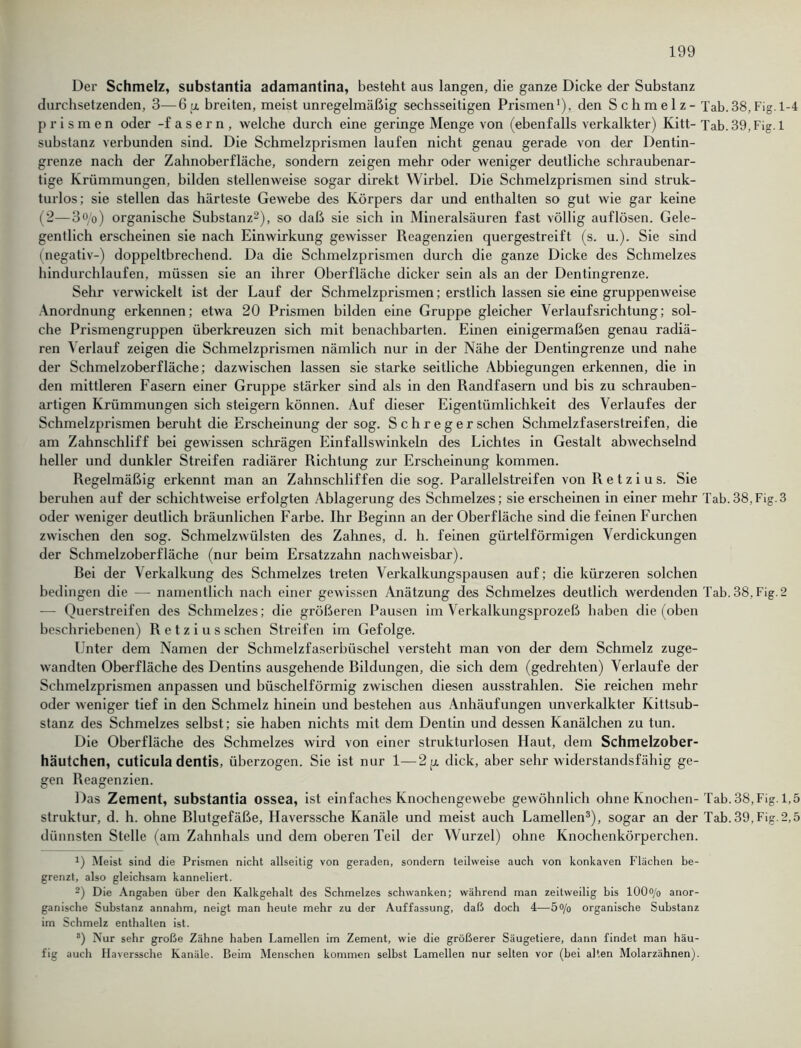 Der Schmelz, substantia adamantina, besteht aus langen, die ganze Dicke der Substanz durchsetzenden, 3—6 p, breiten, meist unregelmäßig sechsseitigen Prismen1), den Schmelz - Tab.38,Fi prismen oder -fasern, welche durch eine geringe Menge von (ebenfalls verkalkter) Kitt- Tab. 39, Fi Substanz verbunden sind. Die Schmelzprismen laufen nicht genau gerade von der Dentin- grenze nach der Zahnoberfläche, sondern zeigen mehr oder weniger deutliche schraubenar- tige Krümmungen, bilden stellenweise sogar direkt Wirbel. Die Schmelzprismen sind struk- turlos; sie stellen das härteste Gewebe des Körpers dar und enthalten so gut wie gar keine (2—3o/o) organische Substanz2), so daß sie sich in Mineralsäuren fast völlig auflösen. Gele- gentlich erscheinen sie nach Einwirkung gewisser Reagenzien quergestreift (s. u.). Sie sind (negativ-) doppeltbrechend. Da die Schmelzprismen durch die ganze Dicke des Schmelzes hindurchlaufen, müssen sie an ihrer Oberfläche dicker sein als an der Dentingrenze. Sehr verwickelt ist der Lauf der Schmelzprismen; erstlich lassen sie eine gruppenweise Anordnung erkennen; etwa 20 Prismen bilden eine Gruppe gleicher Verlaufsrichtung; sol- che Prismengruppen überkreuzen sich mit benachbarten. Einen einigermaßen genau radiä- ren Verlauf zeigen die Schmelzprismen nämlich nur in der Nähe der Dentingrenze und nahe der Schmelzoberfläche; dazwischen lassen sie starke seitliche Abbiegungen erkennen, die in den mittleren Fasern einer Gruppe stärker sind als in den Randfasern und bis zu schrauben- artigen Krümmungen sich steigern können. Auf dieser Eigentümlichkeit des Verlaufes der Schmelzprismen beruht die Erscheinung der sog. S c h r e g er sehen Schmelzfaserstreifen, die am Zahnschliff bei gewissen schrägen Einfallswinkeln des Lichtes in Gestalt abwechselnd heller und dunkler Streifen radiärer Richtung zur Erscheinung kommen. Regelmäßig erkennt man an Zahnschliffen die sog. Parallelstreifen von R e t z i u s. Sie beruhen auf der schichtweise erfolgten Ablagerung des Schmelzes; sie erscheinen in einer mehr Tab.38,Fig.3 oder weniger deutlich bräunlichen Farbe. Ihr Reginn an der Oberfläche sind die feinen Furchen zwischen den sog. Schmelzwülsten des Zahnes, d. h. feinen gürtelförmigen Verdickungen der Schmelzoberfläche (nur beim Ersatzzahn nachweisbar). Rei der Verkalkung des Schmelzes treten Verkalkungspausen auf; die kürzeren solchen bedingen die — namentlich nach einer gewissen Anätzung des Schmelzes deutlich werdenden Tab.38,Fig.2 — Querstreifen des Schmelzes; die größeren Pausen im Verkalkungsprozeß haben die (oben beschriebenen) R e t z i u s sehen Streifen im Gefolge. Unter dem Namen der Schmelzfaserbüschel versteht man von der dem Schmelz zuge- wandten Oberfläche des Dentins ausgehende Bildungen, die sich dem (gedrehten) Verlaufe der Schmelzprismen anpassen und büschelförmig zwischen diesen ausstrahlen. Sie reichen mehr oder weniger tief in den Schmelz hinein und bestehen aus Anhäufungen unverkalkter Kittsub- stanz des Schmelzes selbst; sie haben nichts mit dem Dentin und dessen Kanälchen zu tun. Die Oberfläche des Schmelzes wird von einer strukturlosen Haut, dem Schmelzober- häutchen, cuticula dentis, überzogen. Sie ist nur 1—2 p. dick, aber sehr widerstandsfähig ge- gen Reagenzien. Das Zement, substantia ossea, ist einfaches Knochengewebe gewöhnlich ohne Knochen- Tab.38,Fig.l,5 Struktur, d. h. ohne Blutgefäße, Haverssche Kanäle und meist auch Lamellen3), sogar an der Tab. 39,Fig.2,5 dünnsten Stelle (am Zahnhals und dem oberen Teil der Wurzel) ohne Knochenkörperchen. *) Meist sind die Prismen nicht allseitig von geraden, sondern teilweise auch von konkaven Flächen be- grenzt, also gleichsam kanneliert. 2) Die Angaben über den Kalkgehalt des Schmelzes schwanken; während man zeitweilig bis lOOo/o anor- ganische Substanz annabm, neigt man heute mehr zu der Auffassung, daß doch 4—5»/o organische Substanz im Schmelz enthalten ist. s) Nur sehr große Zähne haben Lamellen im Zement, wie die größerer Säugetiere, dann findet man häu- fig auch Ilaverssche Kanäle. Beim Menschen kommen selbst Lamellen nur selten vor (bei alten Molarzähnen). bD bu