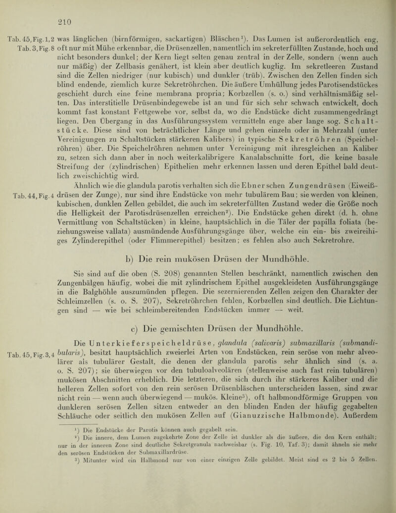Tab. 45,Fig. 1,2 was länglichen (bimförmigen, sackartigen) Bläschen1). Das Lumen ist außerordentlich eng, Tab. 3,Fig. 8 oft nur mit Mühe erkennbar, che Drüsenzellen, namentlich im sekreterfüllten Zustande, hoch und nicht besonders dunkel; der Kern hegt selten genau zentral in der Zelle, sondern (wenn auch nur mäßig) der Zellbasis genähert, ist klein aber deutlich kuglig. Im sekretleeren Zustand sind die Zellen niedriger (nur kubisch) und dunkler (trüb). Zwischen den Zellen finden sich blind endende, ziemlich kurze Sekretröhrchen. Die äußere Umhüllung jedes Parotisendsttickes geschieht durch eine feine membrana propria; Korbzellen (s. o.) sind verhältnismäßig sel- ten. Das interstitielle Drüsenbindegewebe ist an und für sich sehr schwach entwickelt, doch kommt fast konstant Fettgewebe vor, selbst da, wo die Endstücke dicht zusammengedrängt hegen. Den Übergang in das Ausführungssystem vermitteln enge aber lange sog. Schalt- stücke. Diese sind von beträchtlicher Länge und gehen einzeln oder in Mehrzahl (unter Vereinigungen zu Schaltstücken stärkeren Kalibers) in typische Sekretröhren (Speichel- röhren) über. Die Speichelröhren nehmen unter Vereinigung mit ihresgleichen an Kaliber zu, setzen sich dann aber in noch weiterkalibrigere Kanalabschnitte fort, die keine basale Streifung der (zylindrischen) Epithelien mehr erkennen lassen und deren Epithel bald deut- lich zweischichtig Avird. Ähnlich wie die glandula parotis verhalten sich die Ebner sehen Zungendrüsen (Eiweiß- Tab.44,Fig.4 drüsen der Zunge), nur sind ihre Endstücke von mehr tubulärem Bau; sie werden von kleinen. kubischen, dunklen Zellen gebildet, die auch im sekreterfüllten Zustand weder die Größe noch die Helligkeit der Parotisdrüsenzellen erreichen2). Die Endstücke gehen direkt (d. h. ohne Vermittlung von Schaltstücken) in kleine, hauptsächlich in die Täler der papilla foliata (be- ziehungsweise vallata) ausmündende Ausführungsgänge über, Avelche ein ein- bis zweireihi- ges Zylinderepithel (oder Flimmerepithel) besitzen; es fehlen also auch Sekretrohre. b) Die rein mukösen Drüsen der Mundhöhle. Sie sind auf die oben (S. 208) genannten Stellen beschränkt, namentlich zwischen den Zungenbälgen häufig, wobei die mit zylindrischem Epithel ausgekleideten Ausführungsgänge in die Balghöhle auszumünden pflegen. Die sezernierenden Zellen zeigen den Charakter der Schleimzellen (s. o. S. 207), Sekrelröhrchen fehlen, Korbzellen sind deutlich. Die Lichtun- gen sind — wie bei schleimbereitenden Endstücken immer — weit. c) Die gemischten Drüsen der Mundhöhle. Die Un t er ki ef er s p ei che 1 dr ü s e , glandula (salivaris) submaxillaris (submandi- Tab 45 Fig 3 4 bularis), besitzt hauptsächlich zweierlei Arten von Endstücken, rein seröse von mehr alveo- lärer als tubulärer Gestalt, die denen der glandula parotis sehr ähnlich sind (s. a. o. S. 207); sie überwiegen vor den tubuloalveolären (stellenweise auch fast rein tubulären) mukösen Abschnitten erheblich. Die letzteren, die sich durch ihr stärkeres Kaliber und die helleren Zellen sofort von den rein serösen Drüsenbläschen unterscheiden lassen, sind zwar nicht rein — wenn auch überwiegend — mukös. Kleine3), oft halbmondförmige Gruppen von dunkleren serösen Zellen sitzen entweder an den blinden Enden der häufig gegabelten Schläuche oder seitlich den mukösen Zellen auf (Gianuzzische Halbmonde). Außerdem *) Die Endstücke der Parotis können auch gegabelt sein. '0 Die innere, dem Lumen zugekehrte Zone der Zelle ist dunkler als die äußere, die den Kern enthält; nur in der inneren Zone sind deutliche Sekretgranula nachweisbar (s. Fig. 10, Taf. 3); damit ähneln sie mehr den serösen Endstücken der Submaxillardrüse. 3) Mitunter wird ein Halbmond nur von einer einzigen Zelle gebildet. Meist sind es 2 bis 5 Zellen.