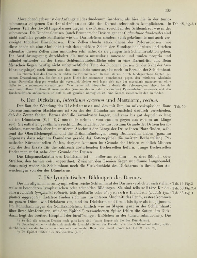 Abweichend gebaut ist der Anfangsteil des duodenum insofern, als hier die in der tunica submucosa gelegenen Duodenaldrüsen das Bild des Darmdurchschnittes komplizieren. In Tab. 48, Fig. 3,4 diesem Teil des Zwölffingerdarmes liegen also Drüsen sowohl in der Schleimhaut wie in der submucosa. Die Duodenaldrüsen (auch ßrunnersche Drüsen genannt) glandulae duodenales sind nicht einfache gerade Schläuche wie die Darmdrüsen, sondern stark gekrümmte und auch ver- zweigte tubuläre Einzeldrüsen. Ihre Zellen ähneln stark denen der Pylorusdriisen; wie diese haben sie eine Ähnlichkeit mit den mukösen Zellen der Mundspeicheldrüsen und stehen scheinbar diesen Zellen zum mindesten sehr nahe, da sie gelegentlich Schleimreaktion geben. Ihr Ausführungsgang durchbohrt die tunica muscularis mucosae und tunica propria und mündet entweder an der freien Schleimhautoberfläche oder in eine Darmdrüse aus. Beim Menschen liegen häufig nicht unbeträchtliche Teile der Duodenaldrüsen (in der Nähe der Aus- führungsgänge) nach innen von der muscularis mucosae, also noch im Bereich der Schleimhaut. Im oberen Teil des Duodenum bilden die Brunnerschen Drüsen starke, durch bindegewebige Septen ge- trennte Drüsenkomplexe, die fast die ganze Dicke der submucosa einnehmen; gegen den mittleren Abschnitt dieses Darmteiles dagegen werden sie wesentlich kleiner und legen sich nur der muscularis mucosae an, ohne tiefer in die submucosa vorzudringen. Wie namentlich Längsschnitte durch die Pylorusregion lehren, besteht eine unmittelbare Kontinuität zwischen den (zum mindesten nahe verwandten) Pylorusdrüsen einerseits und den Duodenaldrüsen andererseits, so daß es oft gänzlich unmöglich ist, eine Grenze zwischen beiden zu finden. 6. Der Dickdarm, intestinum crassum und Mastdarm, rectum. Der Bau der Wandung des Dickdarmes und des mit ihm im mikroskopischen Baue Tab.50 übereinstimmenden Mastdarmes ist von der des Dünndarmes zunächst dadurch verschieden, daß die Zotten fehlen. Ferner sind die Darmdrüsen länger, und zwar bis gut doppelt so lang als im Dünndarm (0,4—0,7 mm); sie nehmen vom caecum gegen das rectum an Länge zu1). Sie enthalten gewöhnlich reichlich Becherzellen, die fast bis zum Grunde der Drüsen herab- reichen, namentlich aber im mittleren Abschnitt der Länge der Drüse ihren Platz finden, wäh- rend das Oberflächenepithel und die Drüsenmündungen wenig Becherzellen haben (ganz im Gegensatz dazu zeigt im Dünndarm gerade das Zottenepithel die meisten Becherzellen). Pa- nethsche Körnchenzellen fehlen, dagegen kommen im Grunde der Drüsen reichlich Mitosen vor, die den Ersatz für die zahlreich absterbenden Becherzellen liefern. Junge Becherzellen findet man meist nahe dem Grunde der Drüsen. Die Längsmuskulatur des Dickdarms ist — außer am rectum — zu drei Bündeln oder Streifen, den taeniae coli, angeordnet. Zwischen den Taenien liegen nur dünne Längsbündel. Sonst zeigt weder die Schleimhaut noch die Muskelschicht des Dickdarms in ihrem Bau Ab- weichungen von der des Dünndarms. 7. Die lymphatischen Bildungen des Darmes. Die im allgemeinen an Lymphzellen reiche Schleimhaut des Darmes verdichtet sich stellen-Tab. 49, Fig. 3 weise zu besonderen lymphatischen oder adenoiden Bildungen. Sie sind teils solitäre Iv n ö t - Tab. 50,Fig.2,4 chen, noduli lympliatici solilarii, teils gehäufte oder Peyersche Haufen (noduli lym- Tab. 53. Fig. 1 phatici aggregati). Letztere finden sich nur im unteren Abschnitt des ileum, erstere kommen im ganzen Dünn- wie Dickdarm vor, sind im Dickdarm und ileum häufiger als im jejunum. Im Dünndarm liegen die Solitärknötchen, ähnlich wie im Magen, ganz in der Schleimhaut; über ihrer bimförmigen, mit dem Epithel2) verwachsenen Spitze fehlen die Zotten. Im Dick- darm liegt der breitere Hauptteil der bimförmigen Knötchen in der tunica submucosa3). Die *) So daß die caecalen Drüsen noch ganz kurz sind (kaum länger als die des Dünndarms). 2) Ursprünglich entwickeln sich auch die Lymphknötchen des Dickdarms in der Schleimhaut selbst; später ■durchbrechen sie die tunica muscularis mucosae in der Regel, aber nicht immer (cf. Fig. 2, Taf. 50). 3) Im Epithel fehlen hier Becherzellen (s. u.).