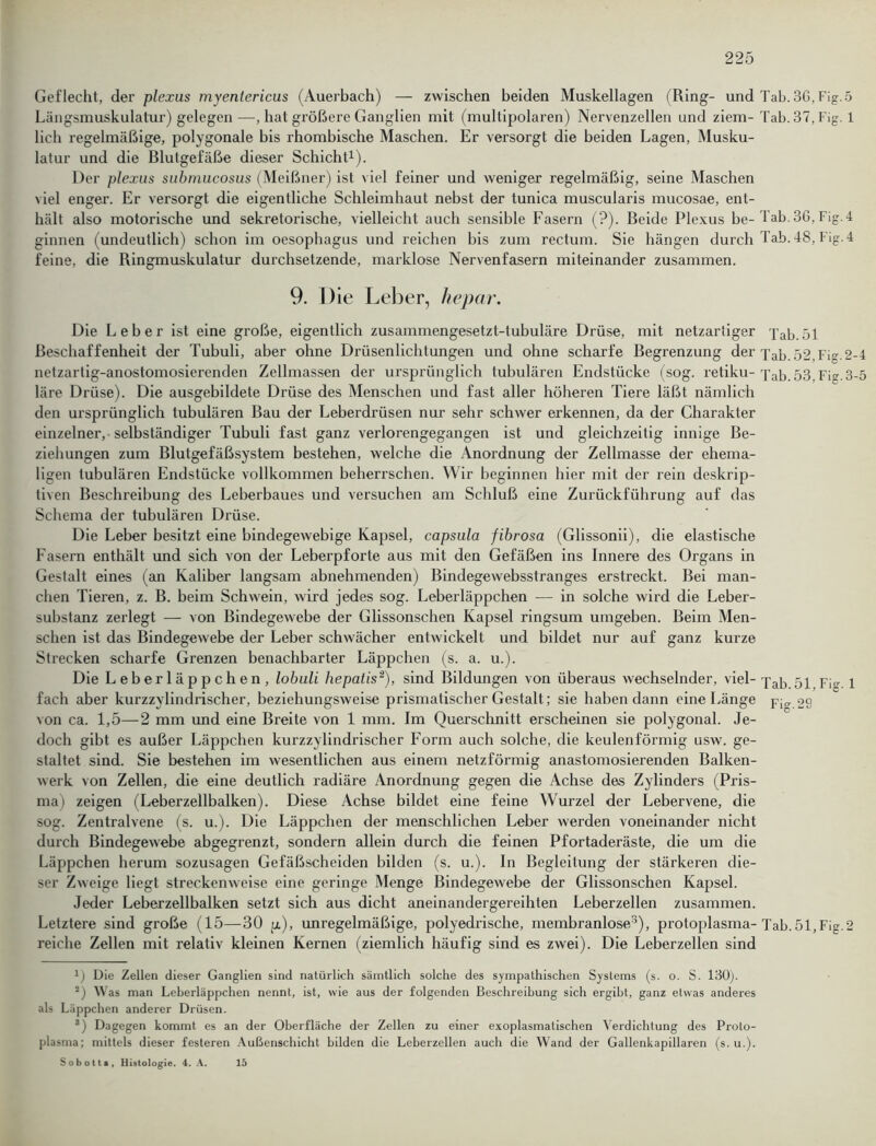 Geflecht, der plexus myenlericus (Auerbach) — zwischen beiden Muskellagen (Ring- und Tab. 36, Fig. 5 Längsmuskulatur) gelegen—, hat größere Ganglien mit (multipolaren) Nervenzellen und ziem-Tab. 37, Fig. 1 lieh regelmäßige, polygonale bis rhombische Maschen. Er versorgt die beiden Lagen, Musku- latur und die Blutgefäße dieser Schicht1). Der plexus submucosus (Meißner) ist viel feiner und weniger regelmäßig, seine Maschen viel enger. Er versorgt die eigentliche Schleimhaut nebst der tunica muscularis mucosae, ent- hält also motorische und sekretorische, vielleicht auch sensible Fasern (?). Beide Plexus be- Tab.36, Fig.4 ginnen (undeutlich) schon im oesophagus und reichen bis zum rectum. Sie hängen durch fab. 48, Fig. 4 feine, die Ringmuskulatur durchsetzende, marklose Nervenfasern miteinander zusammen. 9. Die Leber, hepar. Die Leber ist eine große, eigentlich zusammengesetzt-tubuläre Drüse, mit netzartiger Tab.51 Beschaffenheit der Tubuli, aber ohne Drüsenlichtungen und ohne scharfe Begrenzung der Xab. 52, Fig.2-4 netzartig-anostomosierenden Zellmassen der ursprünglich tubulären Endstücke (sog. retiku- Tab. 53, Fig.3-5 läre Drüse). Die ausgebildete Drüse des Menschen und fast aller höheren Tiere läßt nämlich den ursprünglich tubulären Bau der Leberdrüsen nur sehr schwer erkennen, da der Charakter einzelner,-selbständiger Tubuli fast ganz verlorengegangen ist und gleichzeitig innige Be- ziehungen zum Blutgefäßsystem bestehen, welche die Anordnung der Zellmasse der ehema- ligen tubulären Endstücke vollkommen beherrschen. Wir beginnen hier mit der rein deskrip- tiven Beschreibung des Leberbaues und versuchen am Schluß eine Zurückführung auf das Schema der tubulären Drüse. Die Leber besitzt eine bindegewebige Kapsel, capsula fibrosa (Glissonii), die elastische Fasern enthält und sich von der Leberpforte aus mit den Gefäßen ins Innere des Organs in Gestalt eines (an Kaliber langsam abnehmenden) Bindegewebsstranges erstreckt. Bei man- chen Tieren, z. B. beim Schwein, wird jedes sog. Leberläppchen — in solche wird die Leber- substanz zerlegt — von Bindegewebe der Glissonschen Kapsel ringsum umgeben. Beim Men- schen ist das Bindegewebe der Leber schwächer entwickelt und bildet nur auf ganz kurze Strecken scharfe Grenzen benachbarter Läppchen (s. a. u.). Die Leberläppchen, lobuli hepatis2), sind Bildungen von überaus wechselnder, viel- 'pap gp p;CT p fach aber kurzzylindrischer, beziehungsweise prismatischer Gestalt; sie haben dann eine Länge p^ 2s von ca. 1,5—2 mm und eine Breite von 1 mm. Im Querschnitt erscheinen sie polygonal. Je- doch gibt es außer Läppchen kurzzylindrischer Form auch solche, die keulenförmig usw. ge- staltet sind. Sie bestehen im wesentlichen aus einem netzförmig anastomosierenden Balken- werk von Zellen, die eine deutlich radiäre Anordnung gegen die Achse des Zylinders (Pris- ma \ zeigen (Leberzellbalken). Diese Achse bildet eine feine Wurzel der Lebervene, die sog. Zentralvene (s. u.). Die Läppchen der menschlichen Leber werden voneinander nicht durch Bindegewebe abgegrenzt, sondern allein durch die feinen Pfortaderäste, die um die Läppchen herum sozusagen Gefäßscheiden bilden (s. u.). In Begleitung der stärkeren die- ser Zweige liegt streckenweise eine geringe Menge Bindegewebe der Glissonschen Kapsel. Jeder Leberzellbalken setzt sich aus dicht aneinandergereihten Leberzellen zusammen. Letztere sind große (15—30 p.), unregelmäßige, polyedrische, membranlose3), protoplasma- Tab.51,Fig.2 reiche Zellen mit relativ kleinen Kernen (ziemlich häufig sind es zwei). Die Leberzellen sind 1) Die Zellen dieser Ganglien sind natürlich sämtlich solche des sympathischen Systems (s. o. S. 130). 2) W as man Leberläppchen nennt, ist, wie aus der folgenden Beschreibung sich ergibt, ganz etwas anderes als Läppchen anderer Drüsen. 3) Dagegen kommt es an der Oberfläche der Zellen zu einer exoplasmatischen Verdichtung des Proto- plasma; mittels dieser festeren Außenschicht bilden die Leberzellen auch die Wand der Gallenkapillaren (s. u.). Sobott«, Histologie. 4. A. 15