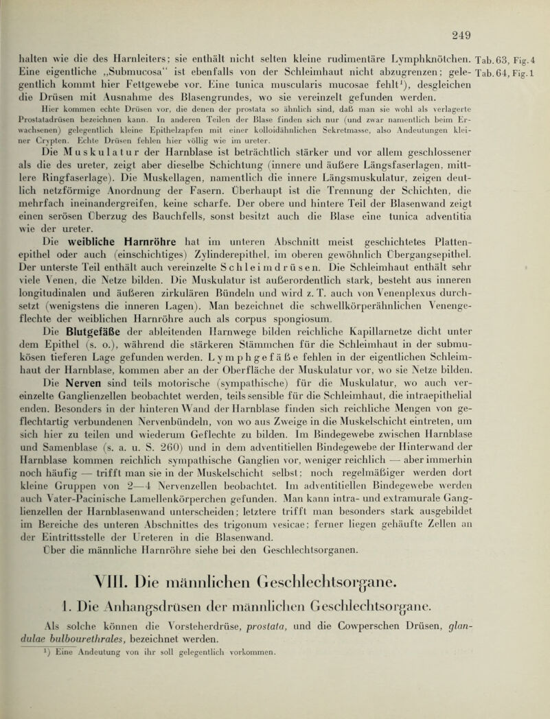 halten wie die des Harnleiters; sie enthält nicht selten kleine rudimentäre Lymphknötchen. Tab.63, Fig.4 Line eigentliche „Submucosa“ ist ebenfalls von der Schleimhaut nicht abzugrenzen; gele- Tab.64, Fig.l gentlich kommt hier Fettgewebe vor. Eine tunica muscularis mucosae fehlt1), desgleichen die Drüsen mit Ausnahme des Blasengrundes, wo sie vereinzelt gefunden werden. Hier kommen echte Drüsen vor, die denen der prostata so ähnlich sind, daß man sie wohl als verlagerte Proslatadrüsen bezeichnen kann. In anderen Teilen der Blase finden sich nur (und zwar namentlich beim Er- wachsenen) gelegentlich kleine Epithelzapfen mit einer kolloidähnlichen Sekretmasse, also Andeutungen klei- ner Crypten. Echte Drüsen fehlen hier völlig wie im ureter. Die Muskulatur der Harnblase ist beträchtlich stärker und vor allem geschlossener als die des ureter, zeigt aber dieselbe Schichtung (innere und äußere Längsfaserlagen, mitt- lere Ringfaserlage). Die Muskellagen, namentlich die innere Längsmuskulatur, zeigen deut- lich netzförmige Anordnung der Fasern. Überhaupt ist die Trennung der Schichten, die mehrfach ineinandergreifen, keine scharfe. Der obere und hintere Teil der Blasenwand zeigt einen serösen Überzug des Bauchfells, sonst besitzt auch die Blase eine tunica advenlitia wie der ureter. Die weibliche Harnröhre hat im unteren Abschnitt meist geschichtetes Platten- epithel oder auch (einschichtiges) Zylinderepithel, im oberen gewöhnlich Übergangsepithel. Der unterste Teil enthält auch vereinzelte Schleimdrüsen. Die Schleimhaut enthält sehr viele Venen, die Netze bilden. Die Muskulatur ist außerordentlich stark, besteht aus inneren longitudinalen und äußeren zirkulären Bündeln und wird z. T. auch von Venenplexus durch- setzt (wenigstens die inneren Lagen). Man bezeichnet die schwellkörperähnlichen Venenge- flechte der weiblichen Harnröhre auch als corpus spongiosum. Die Blutgefäße der ableitenden Harnwege bilden reichliche Kapillarnetze dicht unter dem Epithel (s. o.), während die stärkeren Stämmchen für die Schleimhaut in der submu- kösen tieferen Lage gef unden werden. Lymphgefäße fehlen in der eigentlichen Schleim- haut der Harnblase, kommen aber an der Oberfläche der Muskulatur vor, wo sie Netze bilden. Die Nerven sind teils motorische (sympathische) für die Muskulatur, wo auch ver- einzelte Ganglienzellen beobachtet werden, teils sensible für die Schleimhaut, die intraepithelial enden. Besonders in der hinteren Wand der Harnblase finden sich reichliche Mengen von ge- flechtartig verbundenen Nervenbündeln, von wo aus Zweige in die Muskelschicht eintreten, um sich hier zu teilen und wiederum Geflechte zu bilden. Im Bindegewebe zwischen Harnblase und Samenblase (s. a. u. S. 260) und in dem adventitiellen Bindegewebe der Hinterwand der Harnblase kommen reichlich sympathische Ganglien vor, weniger reichlich — aber immerhin noch häufig — trifft man sie in der Muskelschicht selbst; noch regelmäßiger werden dort kleine Gruppen von 2—4 Nervenzellen beobachtet. Im adventitiellen Bindegewebe werden auch \ ater-Pacinische Lamellenkörperchen gefunden. Man kann intra- und extramurale Gang- lienzellen der Harnblasenwand unterscheiden; letztere trifft man besonders stark ausgebildet im Bereiche des unteren Abschnittes des trigonum vesicae; ferner liegen gehäufte Zellen an der Eintrittsstelle der Ureteren in die Blasenwand. Über die männliche Harnröhre siehe bei den Geschlechtsorganen. VIII. Die männlichen Geschlechtsorgane. I. Die Anhangsdrüsen der männlichen Geschlechtsorgane. Als solche können die Vorsteherdrüse, prostata, und die Cowperschen Drüsen, glan- dulae bulbourethrales, bezeichnet werden. x) Eine Andeutung von ihr soll gelegentlich Vorkommen.