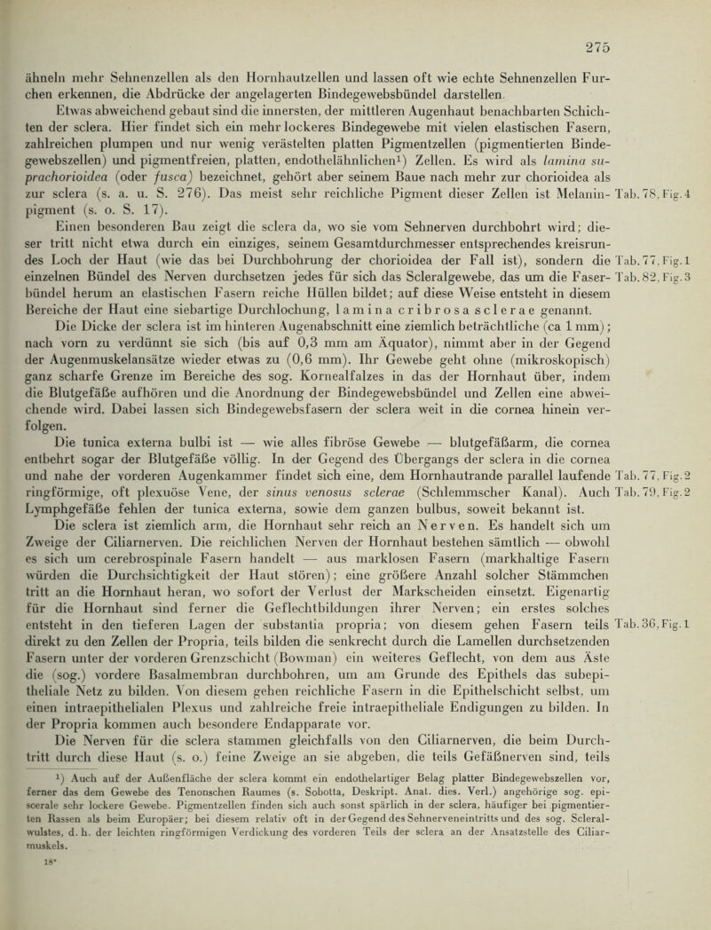 ähneln mehr Sehnenzellen als den Hornhautzellen und lassen oft wie echte Sehnenzellen Fur- chen erkennen, die Abdrücke der angelagerten Bindegewebsbündel darstellen. Etwas abweichend gebaut sind die innersten, der mittleren Augenhaut benachbarten Schich- ten der sclera. Hier findet sich ein mehr lockeres Bindegewebe mit vielen elastischen Fasern, zahlreichen plumpen und nur wenig verästelten platten Pigmentzellen (pigmentierten Binde- gewebszellen) und pigmentfreien, platten, endothelähnlichen1) Zellen. Es wird als lamina su- prachorioidea (oder fusca) bezeichnet, gehört aber seinem Baue nach mehr zur chorioidea als zur sclera (s. a. u. S. 276). Das meist sehr reichliche Pigment dieser Zellen ist Melanin-Tab. 78,Fig.4 pigment (s. o. S. 17). Einen besonderen Bau zeigt die sclera da, wo sie vom Sehnerven durchbohrt wird; die- ser tritt nicht etwa durch ein einziges, seinem Gesamtdurchmesser entsprechendes kreisrun- des Loch der Haut (wie das bei Durchbohrung der chorioidea der Fall ist), sondern die Tab. 77. Fi ' einzelnen Bündel des Nerven durchsetzen jedes für sich das Scleralgewebe, das um die Faser- Tab. 82, Fi bündel herum an elastischen Fasern reiche Hüllen bildet; auf diese Weise entsteht in diesem Bereiche der Haut eine siebartige Durchlochung, lamina cribrosa sclerae genannt. Die Dicke der sclera ist im hinteren Augenabschnitt eine ziemlich beträchtliche (ca 1 mm); nach vorn zu verdünnt sie sich (bis auf 0,3 mm am Äquator), nimmt aber in der Gegend der Augenmuskelansätze wieder etwas zu (0,6 mm). Ihr Gewebe geht ohne (mikroskopisch) ganz scharfe Grenze im Bereiche des sog. Kornealfalzes in das der Hornhaut über, indem die Blutgefäße aufhören und die Anordnung der Bindegewebsbündel und Zellen eine abwei- chende wird. Dabei lassen sich Bindegewebsfasern der sclera weit in die cornea hinein ver- folgen. Die tunica externa bulbi ist — wie alles fibröse Gewebe — blutgefäßarm, die cornea entbehrt sogar der Blutgefäße völlig. In der Gegend des Übergangs der sclera in die cornea und nahe der vorderen Augenkammer findet sich eine, dem Hornhautrande parallel laufende Tab. 77. Fi ringförmige, oft plexuöse Vene, der sinus venosus sclerae (Schlemmscher Kanal). Auch Tab. 79. Fi Lymphgefäße fehlen der tunica externa, sowie dem ganzen bulbus, soweit bekannt ist. Die sclera ist ziemlich arm, die Hornhaut sehr reich an Nerven. Es handelt sich um Zweige der Ciliarnerven. Die reichlichen Nerven der Hornhaut bestehen sämtlich — obwohl es sich um cerebrospinale Fasern handelt — aus marklosen Fasern (markhaltige Fasern würden die Durchsichtigkeit der Haut stören); eine größere Anzahl solcher Stämmchen tritt an die Hornhaut heran, wo sofort der Verlust der Markscheiden einsetzt. Eigenartig für die Hornhaut sind ferner die Gcflechtbildungen ihrer Nerven; ein erstes solches entsteht in den tieferen Lagen der substantia propria; von diesem gehen Fasern teils Tab. 36, Fig. 1 direkt zu den Zellen der Propria, teils bilden die senkrecht durch die Lamellen durchsetzenden Fasern unter der vorderen Grenzschicht (Bowman) ein weiteres Geflecht, von dem aus Äste die (sog.) vordere Basalmembran durchbohren, um am Grunde des Epithels das subepi- theliale Netz zu bilden. Von diesem gehen reichliche Fasern in die Epithelschicht selbst, um einen intraepithelialen Plexus und zahlreiche freie intraepitheliale Endigungen zu bilden. In der Propria kommen auch besondere Endapparate vor. Die Nerven für die sclera stammen gleichfalls von den Ciliarnerven, die beim Durch- tritt durch diese Haut (s. o.) feine Zweige an sie abgeben, die teils Gefäßnerven sind, teils *) Auch auf der Außenfläche der sclera kommt ein endothelartiger Belag platter Bindegewebszellen vor, ferner das dem Gewebe des Tenonschen Raumes (s. Sobotta, Deskript. Anat. dies. Verl.) angehörige sog. epi- scerale sehr lockere Gewebe. Pigmentzellen finden sich auch sonst spärlich in der sclera, häufiger bei pigmentier- ten Rassen als beim Europäer; bei diesem relativ oft in der Gegend des Sehnerveneintritts und des sog. Scleral- wulstes, d. h. der leichten ringförmigen Verdickung des vorderen Teils der sclera an der Ansatzstelle des Ciliar- muskels. 18* bo bo bo bo