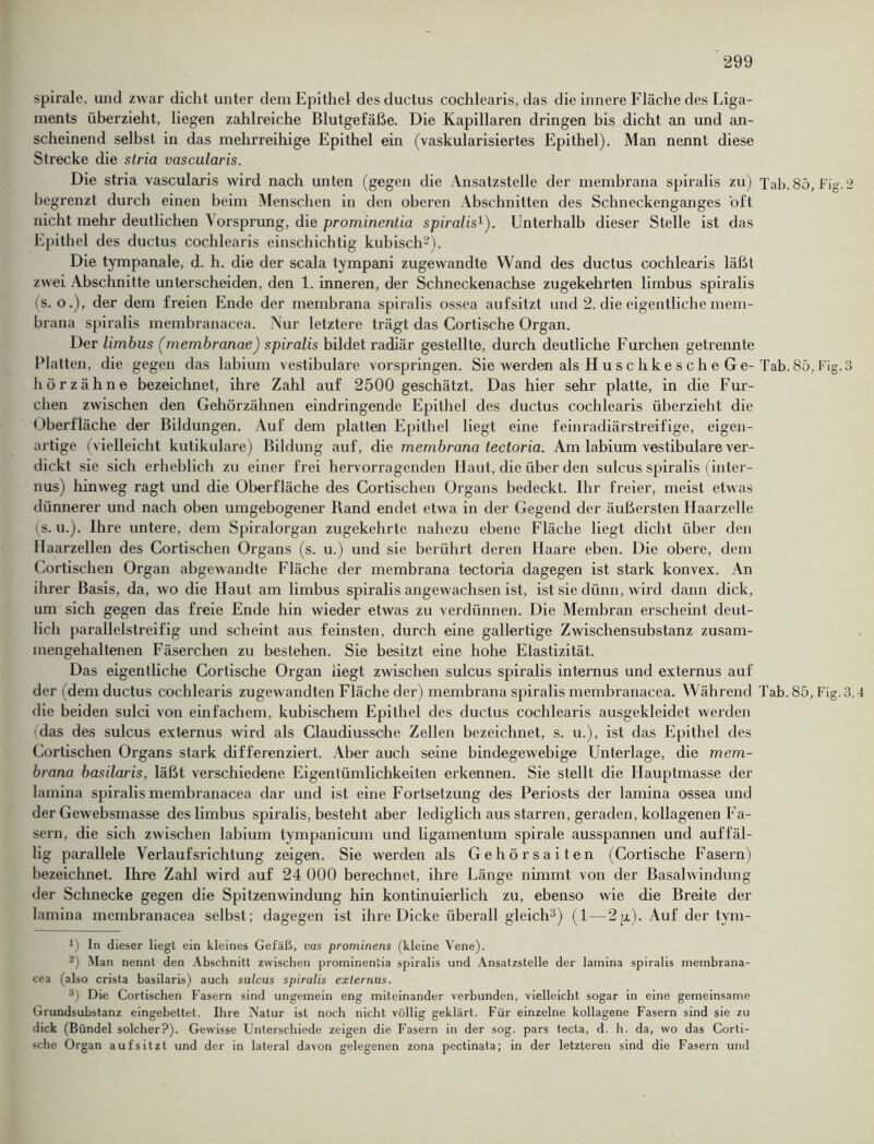 spirale, und zwar dicht unter dem Epithel desductus cochlearis, das die innere Fläche des Liga- ments überzieht, liegen zahlreiche Blutgefäße. Die Kapillaren dringen bis dicht an und an- scheinend selbst in das mehrreihige Epithel ein (vaskularisiertes Epithel). Man nennt diese Strecke die stria vascularis. Die stria vascularis wird nach unten (gegen die Ansatzstelle der membrana spiralis zu) Tab. 85, Fig.2 begrenzt durch einen beim Menschen in den oberen Abschnitten des Schneckenganges oft nicht mehr deutlichen Vorsprung, die prominentia spiralis1). Unterhalb dieser Stelle ist das Epithel des ductus cochlearis einschichtig kubisch2). Die tympanale, d. h. die der scala tympani zugewandte Wand des ductus cochlearis läßt zwei Abschnitte unterscheiden, den 1. inneren, der Schneckenachse zugekehrten limbus spiralis (s. o.), der dem freien Ende der membrana spiralis ossea aufsitzt und 2. die eigentliche mem- brana spiralis membranacea. Nur letztere trägt das Cortische Organ. Der limbus (membranae) spiralis bildet radiär gestellte, durch deutliche Furchen getrennte Platten, die gegen das labium vestibuläre vorspringen. Sie werden als H u s c h k e s c h e G e- Tab. 85, Fig.3 hör zähne bezeichnet, ihre Zahl auf 2500 geschätzt. Das hier sehr platte, in die Fur- chen zwischen den Gehörzähnen eindringende Epithel des ductus cochlearis überzieht die Oberfläche der Bildungen. Auf dem platten Epithel liegt eine feinradiärstreifige, eigen- artige (vielleicht kutikulare) Bildung auf, die membrana lectoria. Am labium vestibuläre ver- dickt sic sich erheblich zu einer frei hervorragenden Haut, die über den sulcus spiralis (inter- nus) hinweg ragt und die Oberfläche des Cortischen Organs bedeckt. Ihr freier, meist etwas dünnerer und nach oben umgebogener Rand endet etwa in der Gegend der äußersten Haarzelle (s. u.). Ihre untere, dem Spiralorgan zugekehrte nahezu ebene Fläche liegt dicht über den Ilaarzellen des Cortischen Organs (s. u.) und sie berührt deren Haare eben. Die obere, dem Cortischen Organ abgewandte Fläche der membrana tectoria dagegen ist stark konvex. An ihrer Basis, da, wo die Haut am limbus spiralis angewachsen ist, ist sie dünn, wird dann dick, um sich gegen das freie Ende hin wieder etwas zu verdünnen. Die Membran erscheint deut- lich parallelstreifig und scheint aus feinsten, durch eine gallertige Zwischensubstanz zusam- mengehaltenen Fäserchen zu bestehen. Sie besitzt eine hohe Elastizität. Das eigentliche Cortische Organ liegt zwischen sulcus spiralis internus und externus auf der (dem ductus cochlearis zugewandten Fläche der) membrana spiralis membranacea. Während Tab.85, Fig.3,4 die beiden sulci von einfachem, kubischem Epithel des ductus cochlearis ausgekleidet werden das des sulcus externus wird als Claudiussche Zellen bezeichnet, s. u.), ist das Epithel des Cortischen Organs stark differenziert. Aber auch seine bindegewebige Unterlage, die mem- brana basilaris, läßt verschiedene Eigentümlichkeiten erkennen. Sie stellt die Hauptmasse der lamina spiralis membranacea dar und ist eine Fortsetzung des Periosts der lamina ossea und der Gewebsmasse des limbus spiralis, besteht aber lediglich aus starren, geraden, kollagenen Fa- sern, die sich zwischen labium tympanicum und ligamentum spirale ausspannen und auffäl- lig parallele Verlaufsrichtung zeigen. Sie werden als G e h ö r s a i t e n (Cortische Fasern) bezeichnet. Ihre Zahl wird auf 24 000 berechnet, ihre Länge nimmt von der Basalwindung der Schnecke gegen die Spitzenwindung hin kontinuierlich zu, ebenso wie die Breite der lamina membranacea selbst; dagegen ist ihre Dicke überall gleich3) (1—2p.). Auf der tym- *) In dieser liegt ein kleines Gefäß, vas prominens (kleine Vene). 2) .Man nennt den Abschnitt zwischen prominentia spiralis und Ansatzstelle der lamina spiralis membrana- cea (also crista basilaris) auch sulcus spiralis externus. 3) Die Cortischen Fasern sind ungemein eng miteinander verbunden, vielleicht sogar in eine gemeinsame Grundsubstanz eingebettet. Ihre Natur ist noch nicht völlig geklärt. Für einzelne kollagene Fasern sind sie zu dick (Bündel solcher?). Gewisse Unterschiede zeigen die Fasern in der sog. pars tecta, d. h. da, wo das Corti- sche Organ aufsitzt und der in lateral davon gelegenen zona pectinata; in der letzteren sind die Fasern und