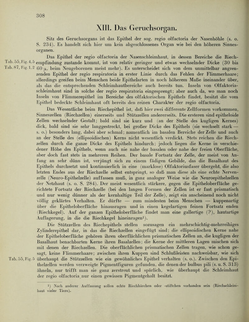 XIII. Das Geruchsorgan. Sitz des Geruchsorgans ist das Epithel der sog. regio olfactoria der Nasenhöhle (s. o. S. 234). Es handelt sich hier um kein abgeschlossenes Organ wie bei den höheren Sinnes- organen. Das Epithel der regio olfactoria der Nasenschleimhaut, in dessen Bereiche die Riech- Tab. 55, Fig.4 empfindung zustande kommt, ist von relativ geringer und etwas wechselnder Dicke (30 bis Tab. 87, Fig.1,2 60 u, beim Neugeborenen meist mehr). Es unterscheidet sich von dem unmittelbar angren- zenden Epithel der regio respiratoria in erster Linie durch das Fehlen der Flimmerhaare; allerdings greifen beim Menschen beide Epithelarten in noch höherem Maße ineinander über, als das die entsprechenden Schleimhautbereiche auch bereits tun. Inseln von Olfaktoria- schleimhaut sind in solche der regio respiratoria eingesprengt; aber auch da, wo man noch Inseln von Flimmerepitbel im Bereiche des olfaktorischen Epithels findet, besitzt die vom Epithel bedeckte Schleimhaut oft bereits den reinen Charakter der regio olfactoria. Das Wesentliche beim Riechepithel ist, daß hier zwei differente Zellformen Vorkommen, Sinneszellen (Riechzellen) einerseits und Stützzellen andererseits. Die ersteren sind epitheloide Zellen wechselnder Gestalt; bald sind sie kurz und (an der Stelle des kugligen Kernes) dick, bald sind sie sehr langgestreckt, bei großer Dicke des Epithels (sie wechselt stark — s. o.) besonders lang, dabei aber schmal; namentlich im basalen Bereiche der Zelle und auch an der Stelle des (ellipsoidischen) Kerns nicht wesentlich verdickt. Stets reichen die Riech- zellen durch die ganze Dicke des Epithels hindurch; jedoch liegen die Kerne in verschie- dener Höhe des Epithels, wenn auch nie nahe der basalen oder nahe der freien Oberfläche, aber doch fast stets in mehreren Reihen. Der basale Fortsatz der Zelle, der meist von An- fang an sehr dünn ist, verjüngt sich zu einem fädigen Gebilde, das die Basalhaut des Epithels durchsetzt und kontinuierlich in eine (marklose) Olfaktoriusfaser übergeht, die also letzten Endes aus der Riechzelle selbst entspringt, so daß man diese als eine echte Nerven- zelle (Neuro-Epithelzelle) auffassen muß, in ganz analoger Weise wie die Neuroepithelzellen der Netzhaut (s. o. S. 284). Der meist wesentlich stärkere, gegen die Epitheloberfläche ge- richtete Fortsatz der Riechzelle (bei den langen Formen der Zellen ist er fast prismatisch und nur wenig dünner als der kernhaltige Teil der Zelle), zeigt ein anscheinend noch nicht völlig geklärtes Verhalten. Er dürfte — zum mindesten beim Menschen — kuppenartig über die Epitheloberfläche hinausragen und in einen kegelartigen feinen Fortsatz enden (Riechkegel). Auf der ganzen Epitheloberfläche findet man eine gallertige (?), hautartige Auflagerung, in die die Riechkegel hineinragen1). Die Stützzellen des Riechepithels stellen sozusagen ein mehrschichtig-mehrreihiges Zylinderepithel dar, in das die Riechzellen eingefügt sind; die ellipsoidischen Kerne nahe der Epitheloberfläche gehören ihren oberflächlichen prismatischen Zellen an, die kugligen der Basalhaut benachbarten Kerne ihren Basalzellen; die Kerne der mittleren Lagen mischen sich mit denen der Riechzellen. Die oberflächlichen prismatischen Zellen tragen, wie schon ge- sagt, keine Flimmerhaare; zwischen ihren Kuppen sind Schlußleisten nachweisbar, wie sich Tab. 55, Fig.5 überhaupt die Stützzellen wie ein gewöhnliches Epithel verhalten (s. o.). Zwischen den Epi- thelzellen werden verzweigte Pigmentfiguren gefunden, die denen der bulbus pili (s. u. S. 313) ähneln, nur trifft man sie ganz zerstreut und spärlich, wie überhaupt die Schleimhaut der regio olfactoria nur einen gewissen Pigmentgehalt besitzt. x) Nach anderer Auffassung sollen echte Riechhärchen oder -stiftchen vorhanden sein (Riechschleim- haut vieler Tiere).