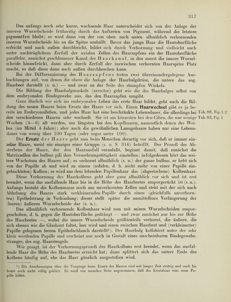 Das anfangs noch sehr kurze, wachsende Haar unterscheidet sich von der Anlage der inneren Wurzelscheide frühzeitig durch das Auftreten von Pigment, während die letztere pigmentfrei bleibt; es wird dann von der von oben nach unten allmählich verhornenden inneren Wurzelscheide bis an die Spitze umhüllt. Bevor das junge Haar die Hautoberfläche erreicht und nach außen durchbricht, bildet sich durch Verhornung und vielleicht auch unter nachträglichem Zerfall der axialen Zellen des Haarzapfens ein der Hautoberfläche paralleler, zunächst geschlossener Kanal, der Haarkanal, in den zuerst die innere Wurzel- scheide hinaufrückt, dann aber durch Zerfall der inzwischen verhornten Haarspitze Platz macht, so daß diese dann nach außen durchbrechen kann. Bei der Differenzierung des Haarzapfens treten zwei übereinandergelegene Aus- buchtungen auf, von denen die obere die Anlage der Haarbalgdrüse, die untere das sog. Haarbeet darstellt (s. u.) — und zwar an der Seite des stumpfen Winkels. Die Bildung des Haarbalgmuskels (arrector) geht wie die des Haarbalges selbst von dem embryonalen Bindegewebe aus, das den Haarzapfen umgibt. Ganz ähnlich wie sich im embryonalen Leben das erste Haar bildet, geht auch die Bil- dung des neuen Haares beim Ersatz der Haare vor sich. Einen Haarwechsel gibt es ja be- reits im Embryonalleben, und jedes Haar hat eine beschränkte Lebensdauer, die allerdings bei Tab. 89, Fig. 1, den verschiedenen Haaren sehr wechselt. Sie ist am kürzesten bei den Cilien, die nur wenige Tab. 83, Fig. 4 Wochen (4—6) alt werden, am längsten bei den Kopfhaaren, namentlich denen des Wei- bes (im Mittel 4 Jahre); aber auch die gewöhnlichen Lanugohaare haben nur eine Lebens- dauer von wenig über 100 Tagen (oder sogar unter 100). Der Ersatz der Haare geht nun beim Menschen derartig vor sich, daß er immer ein- zelne Haare, meist ein einziges einer Gruppe (s. o. S. 316) betrifft. Der Prozeß des Ab- sterbens der Haare, der den Haarausfall veranlaßt, beginnt damit, daß zunächst die -Matrixzellen des bulbus pili ihre Vermehrungstätigkeit einstellen; infolgedessen hört das wei- tere Wachstum des Haares auf; es verhornt allmählich (s. u.) der ganze bulbus, er hebt sich von der Papille ab und wird zu einem (soliden, d. h. nicht mehr von einer Papille ein- gebuchteten) Kolben; es wird aus dem lebenden Papillenhaar das (abgestorbene) Kolbenhaar. Diese Verhornung des Haarkolbens geht aber ganz allmählich vor sich und ist erst beendet, wenn das ausfallende Haar bis in die Höhe des Haarbeetes emporgerückt ist (s. u.). Anfangs besteht die Kolbenmasse noch aus unverhornten Zellen und steht mit der sich nach Abhebung des Haares stark verkleinernden Papille durch einen (gleichfalls unverhorn- ten) Epithelstrang in Verbindung; dieser stellt später die unmittelbare Verlängerung der (leeren) äußeren Wurzelscheide dar (s. u.). Das allmählich verhornende Kolbenhaar wird nun mit seinen Wurzelscheiden empor- geschoben, d. h. gegen die Hautoberfläche gedrängt — und zwar zunächst nur bis zur Höhe des Haarbeetes —, wobei die innere Wurzelscheide größtenteils verhornt, die äußere, die sich ebenso wrie die Glashaut faltet, leer wird und einen zwischen Haarbeet und (verkleinerter) Papille gelegenen leeren Epithelschlauch darstellt1). Der Haarbalg kollabiert unter der sehr klein werdenden Papille und erscheint nur noch in Gestalt eines unscheinbaren Bindegewebs- stranges, des sog. Haarstengels. Wie gesagt, ist der Verhornungsprozeß des Haarkolbens erst beendet, wenn das ausfal- lende Haar die Höhe des Haarbeetes erreicht hat; dann splittert sich das untere Ende des Kolbens häufig auf, ehe das Haar gänzlich ausgestoßen wird. i) Die Anschauungen über die Vorgänge beim Ersatz des Haares sind seit langer Zeit strittig und auch bis heute noch nicht völlig geklärt. So wird von mancher Seite angenommen, daß das Ersatzhaar eine neue Pa- pille bildet.