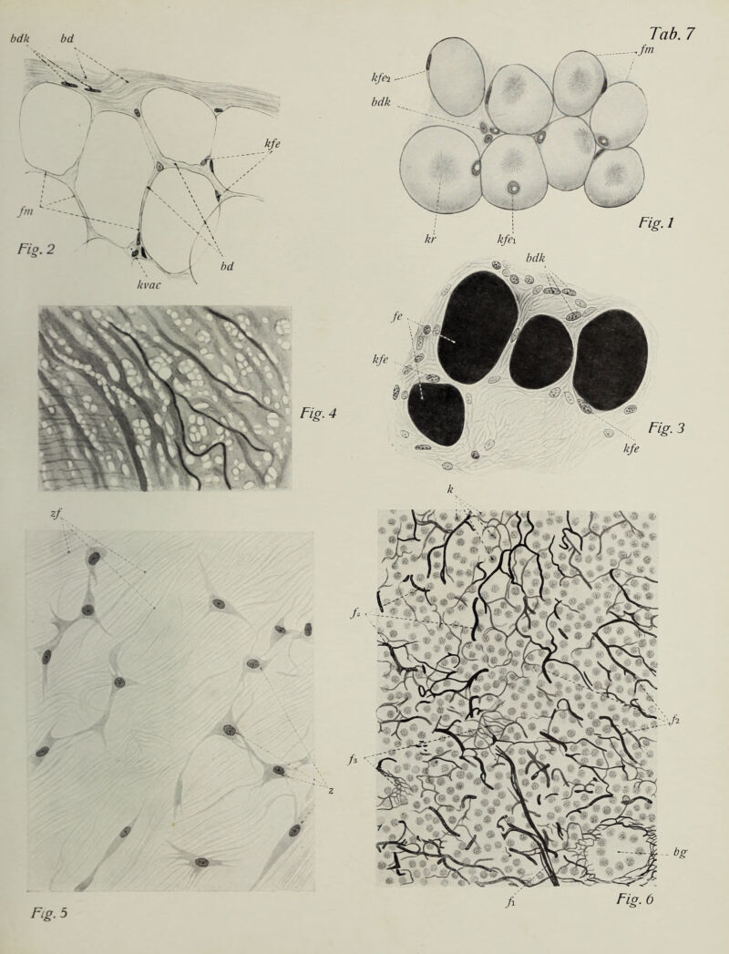 bdk bd kfei bdk 7 bdk Fis. 6 Fig.4 Fig.3 kfe